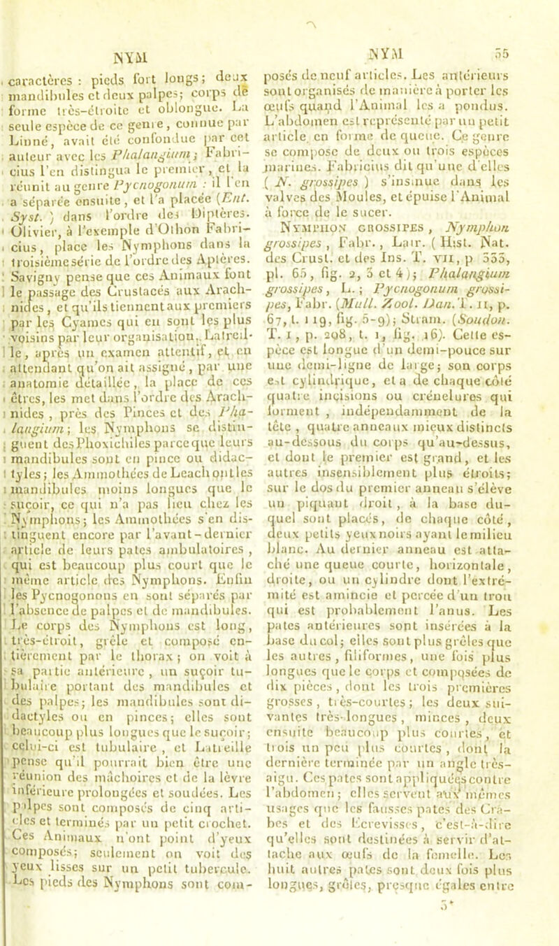 -A NY il . caractères : pieds fort longs ; deux mandibules et deux palpes; corps de forme très-étroite et oblongue. La seule espèce de ce genre, connue par Linné, avait été confondue par cet auteur avec les P/ialangiurn; l'abri- cius l’en distingua le premier, et la réunit au genre Pycnogonuin : il l'en a séparée ensuite , et l’a placée (Put. Syst. ) dans l’ordre des Diptères. 1 Olivier, à l’exemple dOlhon Fabri— i cius, place les Nymphons dans la troisième série de l’urdrcdes Aptères. Savignv pense que ces Animaux font 1 le passage des Crustacés aux Arach- nides, et qu'ils tiennent aux premiers par lc^ Cyamcs qui eu sont les plus voisins par leur organisation.. Latreil- le, apres un examen attentif, et en attendant qu’on ail assigné , par une anatomie détaillée, la place de ces ■ êtres, les met dans l’ordre des Arach- i nides , près des Pinces et des Pha- laugium; les Nymphons se distin- guent desPhoxichiles pareeque leurs ; mandibules sout eu pince ou didac- ! tyles; les Ammothécs de Leach ontles : mandibules moins longues que le suçoir, ce qui u’a pas lieu chez les Nymphons; les Ammothées s'en dis- : tinguent encore par l’avant - dernier article de leurs pâtes ambulatoires , qui est beaucoup plus court que le même article des Nymphons. Enfin les Pycnogonons en sont séparés par l’absence de palpes et de mandibules. Le corps des Nymphons est long, très-étroit, gicle et composé en- tièrement par le thorax; on voit à fa paitie antérieure, un suçoir tu- bulaire portant des mandibules et des palpes; les mandibules sont di- daetylcs ou en pinces; elles sont beaucoup plus longues que le suçoir; celui-ci est tubulaire , et Latieille pense qu’il pourrait bien être une réunion des mâchoires cl de la lèvre inférieure prolongées et soudées. Les palpes sont composés de cinq arti- cles et terminés par un petit crochet. Ces Animaux ti ont point d’yeux composés; seulement on voit des yeux lisses sur un petit tubercule. Les pieds des Nymphons sont com- posés de neuf articles. Les antérieurs sont organisés rie manière à porter les œufs quand l’Animal les a pondus. L’abdomen est représenté par un petit article en forme de queue. Ce genre sc compose de deux ou trois espèces juarines. Fabiieius dit qu’une d éliés ( N. grossipes ) s’insinue dans les valves des Moules, et épuise l’Animal à force de le sucer. Nvmi'iion cnossiPES, Nymphon grossipes, Fabr., Lair. (H:st. Nat. des Crusl. et des Ins. ï. vix, p 555, pl. 65, fig. 2, 3 et 4); Phalangium grossipes, L. ; Pycnogonum grossi- pes, Fabr. {Mail. Zool. JJ an. ’i. Jt, p. 67, l. 119, fig. 0-9); Strarn. (Sou don. ï. 1, p. 208, t. 1, fig. j6). Cette es- pèce esl longue d’un demi-pouce sur uuc demi-ligne de large; son corps e.il cylindrique, et a de chaque côté quatre incisions ou créuelures qui iorment , indépendamment de la tête , quatre anneaux mieux distincts au-dessous du corps qu’au-dessus, et dont le premier est grand, et les autres insensiblement plus étroits; sur le dos du premier anneau s’élève un piquant droit , à la base du- quel sont placés, de chaque côté, deux petits yeux noirs ayant le milieu blanc. Au dernier anneau est atta- ché une queue courte, horizontale, droite, ou un cylindre dont l’extré- mité est amincie et percée d'un trou qui est probablement l’anus. Les pâtes antérieures sont insérées à la hase du col; elles sont plus grêles que les autres , filiformes , une fois plus longues que le corps et compqsées de dix pièces , dorii les trois premières grosses, très-courtes; les deux sui- vantes très-longues , minces, deux ensuite beaucoup plus courtes, et trois un peu plus courtes , dont la dernière terminée par un angle très- aigu. Ces,pâtes sont nppliquéescontre l’abdomen; clics servent aux mêmes usages que les fausses pâtes des Cra- bes et des Ecrevisses, c’est-à-dire qu’elles sont destinées à servir (l’at- tache aux œufs de la femelle. Lcr. huit autres pâtes sont deux fois plus longues, grêles, presque égales entre