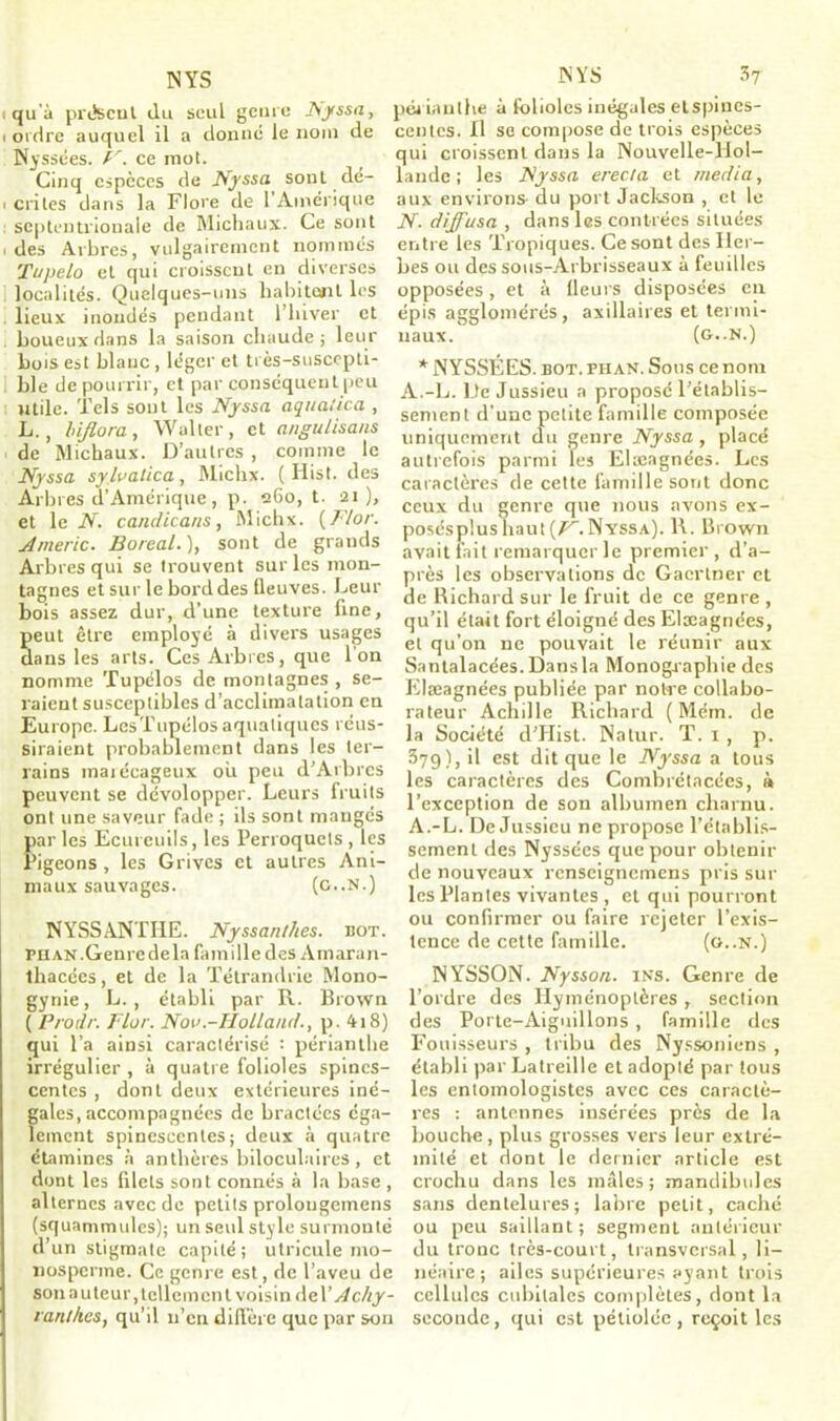 NYS i qu'à présent ilu seul genre Nyssa, ( ordre auquel il a donné le nom de Nyssées. V. ce mot. Cinq espèces de Nyssa sont de- i cri tes dans la Flore de 1 Amérique septentrionale de Michaux. Ce sont i des Arbres, vulgairement nommés Tupelo et qui croissent en diverses localités. Quelques-uns habitent les lieux inondés pendant l’hiver et boueux dans la saison chaude; leur bois est blanc, léger et très-suscepti- I hle de pourrir, et par conséquent peu utile. Tels sont les Nyssa aqualica , L., bifiora, Walter, et angulisans de Michaux. D’autres , comme le Nyssa sylvalica, Michx. ( Iiist. des Arbres d’Amérique, p. 260, t. 21), et le N. candicans, Michx. ( Flor. Americ. Boréal.), sont de grands Arbres qui se trouvent sur les mon- tagnes et sur le bord des fleuves. Leur bois assez dur, d’une texture fine, peut être employé à divers usages dans les arts. Ces Arbres, que l’on nomme Tupélos de montagnes , se- raient susceptibles d’acclimatation en Europe. LesTupélos aquatiques réus- siraient probablement dans les ter- rains maiécageux où peu d’Arbrcs peuvent se dévolopper. Leurs lruils ont une saveur fade ; ils sont mangés parles Ecureuils, les Perroquets , les Pigeons , les Grives et autres Ani- maux sauvages. (g..N.) NYSSANTHE. Nyssanthes. bot. riiAN.Genre delà famille des Amaran- thacées, et de la Tétrandrie Mono- gynie, L. , établi par R. Brown ( Prodr. Flor. Nov.-Holland., p. 418) qui l’a ainsi caractérisé : périanthe irrégulier, à quatre folioles spincs- centcs , dont deux extérieures iné- gales, accompagnées de bractées éga- lement spinesccntes; deux à quatre étamines à anthères biloculaires, et dont les filets sont connés à la base , alternes avec de petits prolougemens (squammules); un seul style surmonté d’un stigmate capilé; utricule mo- nosperme. Ce genre est, de l’aveu de son auteur, tellement voisin del’ A chy- vanlhes, qu’il 11’en diffère que par son IN YS 37 périanthe à folioles inégales etspiues- centcs. Il se compose de trois espèces qui croissent dans la Nouvelle-Hol- lande ; les Nyssa erec/a et media, aux environs du port Jackson , et le JY. diffusa , dans les contrées situées entre les Tropiques. Ce sont des Her- bes ou des sous-Arbrisseaux à feuilles opposées, et à fleurs disposées en épis agglomérés, axillaires et termi- naux. (g..N.) * NYSSÉES. bot. phan. Sous ce nom A.-L. De Jussieu a proposé l’établis- sement d'une petite famille composée uniquement du genre Nyssa , placé autrefois parmi les Elæagnées. Les caractères de cette famille sont donc ceux du genre que nous avons ex- posésplus haut [F~. Nyssa). R. Brown avait fait remarquer le premier, d’a- près les observations de Gacrtner et de Richard sur le fruit de ce genre , qu’il était fort éloigné des Elæagnées, et qu’on ne pouvait le réunir aux Santalacées. Dans la Monographie des Elæagnées publiée par notre collabo- rateur Achille Richard ( Mém. de la Société d’IIist. Natur. T. 1, p. 379), il est dit que le Nyssa a tous les caractères des Combrétacécs, à l’exception de son albumen charnu. A.-L. De Jussieu ne propose l’établis- sement des Nyssées que pour obtenir de nouveaux renseignemens pris sur les Plantes vivantes , et qui pourront ou confirmer ou faire rejeter l’exis- tence de cette famille. (g..N.) NYSSON. Nysson. ins. Genre de l’ordre des Hyménoptères, section des Porte-Aiguillons , famille des Fouisseurs , tribu des Nyssoniens , établi par Latreille et adopté par tous les entomologistes avec ces caractè- res : antennes insérées près de la bouche, plus grosses vers leur extré- mité et dont le dernier article est crochu dans les mâles; mandibules sans dentelures; labre petit, caché ou peu saillant; segment antérieur du tronc très-court, transversal, li- néaire; ailes supérieures ayant trois cellules cubitales complètes, dont la seconde, qui est péliolée , reçoit les