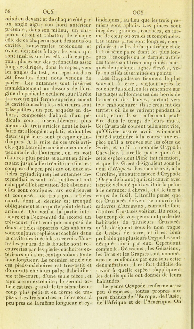 Î58 OCY mine en devant et de chaque côté par un, angle aigu ; son bord antérieur présente, dans son milieu, un cha- peron étroit et rabattu; de chaque coté de ce chaperon sont des sinus ou cavités transversales profondes et ovales destinées à loger les yeux qui sont insérés sur les côtés du chape- ron , placés sur des pédoncules assez longs et dirigés, dans le repos , vers les angles du test, en reposant dans les fossettes dont nous venons de parler. Les antennes sont insérées immédiatement au-dessous de l’ori- gine du pédicide oculaire , sur l’arête transverse qui ferme supérieurement la cavité buccale ; les extérieures sont très-petites, un peu arquées en de- hors, composées d’abord d'un pé- dicule court, insensiblement plus menu , de trois articles dont le basi- laire est allongé et aplati, et dont les deux supérieurs sont presque cylin- driques. A la suite de ces trois arti- cles que Latreille considère comme le pédoncule de l’antenne, on en voit d’autres plus petits et allant en dimi- nuant jusqu’à l’extrémité ; ce filet est composé d’à peu près dix ou onze ar- ticles cylindriques; les antennes in- termédiaires sont très-petites et ont échappé à l’observation de Fabricius ; elles sont contiguës aux extérieures et composées de trois gros articles courts dont le dernier est tronqué obliquement et ne porte point de filet articulé. On voit à la partie inté- rieure et à l’extrémité du second un très-court filet conique composé de deux articles apparens. Ces antennes sont toujours repliées et cachées dans la cavité destinée à les recevoir. Tou- tes les parties de la bouche sont re- couvertes par les pieds-mâchoires ex- térieurs qui sont contigus dans toute leur longueur. Le premier article de ces pieds-mâchoires est très-petit et donne attache à un palpe flabellifor- me très-court, d’une seule pièce , et aigu à son extrémité ; le second ar- ticle est très-grand ; le troisième beau- coup plus petit et en forme de tra- pèze. Les trois autres articles sont à peu près de la même longueur et cy- OCY lindriques , au lieu que les trois pre- miers sont aplatis. Les pinces sont inégales , grandes , courbées, en for- me de cœur ou ovales et comprimées. Les autres pâtes sont longues, com- primées ; celles de la quatrième et de la troisième paire étant les plus lon- gues. Les ongles ou le dernier article des tarses sont très-comprimés , mar- qués de quelques lignes élevées , ve- lus ou ciliés et terminés en pointe. Les Qcypodes se tiennent le plus souvent à terre , surtout après le coucherdusoleii; on les rencontre sur les plages sablonneuses des bords de la mer ou des fleuves, surtout vers leur embouchure ; ils se creusent des terriers où ils se retirent pendant la nuit, et où ils se renferment peut- être dans le temps de leurs mues. Ces Crustacés courent tellement vite, qu’Olivier assure avoir vainement tenté d’atteindre à la course une es- pèce qu’il a trouvée sur les côtes de Syrie, et qu’il a nommée Ocypode Chevalier. Latreille pense que c’est celle espèce dont Pline fait mention , et que les Grecs désignaient sous le nom d'Hippeus. Bosc a observé, à la Caroline, une autre espèce d Ocypode ( Ocypode blanc) qu’ü dit courir avec tant de vélocité qu’il avait de la peine à le devancer à cheval, et à le tuer à coups de fusil. Latreille pense que ces Crustacés doivent se nourrir de cadavres d’Animaux, comme le font d’autres Crustacés voisins. Du reste , beaucoup de voyageurs ont parlé des habitudes de plusieurs Crustacés u’ils désignent sous le nom vague e Crabes de terre, et il est bien probable que plusieurs Ocypodes sont désignés ainsi par eux. Cependant comme lcsGécascins , les Gélasieus, les ücas et les Grapscs sont nommés ainsi et confondus par eux sous cette dénomftiation , il est fort difficile de savoir à quelle espèce s’appliquent les détails qu’ils ont donnés de leurs habitudes. Le genre Ocypode renferme assez peu d’espèces, toutes propres aux pays chauds de l’Europe , de l’xYsie , de l’Afrique et de l’Amérique. On