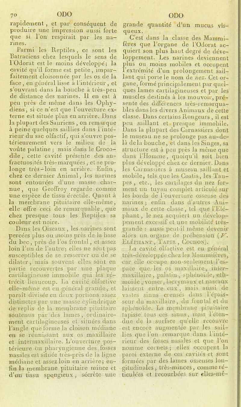 rapidement , et par conséquent de produire une impression aussi forte que si l’on respirait par les na- rines. Parmi les Reptiles, ce sont les Batraciens chez lesquels le sens de l’Odorat est le moins développé; la cavité qu’il forme est petite, impar- faitement cloisonnée par les os de la face, en général lisse à l’intérieur, et s’ouvrant dans la Louche à très-peu de distance des narines. Il en est à peu près de même dans les Ophy- diens, si ce n’est que l’ouverture ex- terne est située plus en arrière. Dans la plupart des Sauriens , on remarque à peine quelques saillies dans l’inté- rieur du sac olfactif, qui s’ouvre pos- térieurement vers le milieu de la voûte palatine ; mais dans le Croco- dile , cette cavité présente des an- fractuosités très-marquées, et se pro- longe très-loin en arrière. Enfin, chez ce dernier Animal, les narines sont entourées d’une masse char- nue , que Geoffroy regarde comme une espèce de tissu érectile. Quant à la membrane pituitaire elle-même, elle offre ceci de remarquable, que chez presque tous les Reptiles sa couleur est noire. Dans les Oiseaux, les narines sont percées plus ou moins près de la base du bec, près de l’os frontal, et assez loin l’un de l’autre; elles ne sont pas susceptibles de se resserrer ou de se dilater, mais souvent elles sont en partie recouvertes par une plaque cartilagineuse immobile qui les ré- trécit beaucoup. La cavité olfactive elle-même est en général grande, et paraît divisée en deux portions assez distinctes par une masse cylindrique de replis de la membrane pituitaire soutenus par des lames , ordinaire- ment cartilagineuses et situées dans l’angle que forme la cloison médiane en sc réunissant aux os maxillaire et intermaxillaire. L’ouverture pos- térieure ou pharyngienne des fosses nasales est située très-près tic la ligne médiane et assez loin en arrière; en- fin la membrane pituitaire mince et d’un tissu spqngicux, sécrète une grande quantité d’un mucus vis- queux. C’est dans la classe des Mammi- fères que l’organe de l’Odorat ac- quiert sou plus haut degré de déve- loppement. Les narines deviennent plus ou moins mobiles et occupent l’extrémité d’un prolongement sail- lant qui porte le nom de nez. Cet or- gane, formé principalement par quel- ques lames cartilagineuses et par les muscles destinés à les mouvoir, pré- sente des différences très-remarqua- bles dans les divers Animaux de cette classe. Dans certains Rongeurs , il est peu saillant et presque immobile. Dans la plupart des Carnassiers dont le museau ne se prolonge pas au-de- là delà bouche, et dans les Singes, sa structure est à peu près la même que dans l’Homme, quoiqu’il soit bien plus développé chez ce dernier. Dans les Carnassiers à museau saillant et mobile, tels que les Coatis, les Tau- pes , etc., les cartilages du nez for- ment un tuyau complet articulé sur les bords de l’ouverture osseuse des narines ; enfin dans d’antres Ani- maux de celte classe, tel que l’Elé- phant, le nez acquierL un dévelop- pement excessif et une mobilité très- grande : aussi peut-il même devenir alors un organe de préhension ( V. Eléphant , Tapir , Cochon). La cavité olfactive est eu général très-développée. chez les Mammifères, car elle occupe non-seulement, l’es- pace que les os maxillaire, inter- maxillaire, palatin, sphénoïde, elh- moïde ,; vomer, lacrymaux et naseaux laissent entre eux , mais aussi de vastes sinus creusés dans l’épais- seur du maxillaire, du frontal et du sphénoïde. La membrane pituitaire tapisse tous ces sinus, mais l’éten- due de la surface qu’elle recouvre est encore augmentée par les sail- lies que l’on remarque dans lin Lé- rieur des fosses nasales et que l’on nomme cornets ; elles occupent la paroi externe de ces cavités et sont formées par des lames osseuses lon- gitudinales, très-minces, comme ré- ticulées et recourbées sur ellcs-inê-