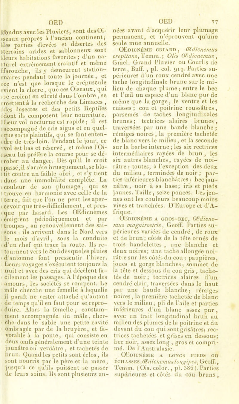 fondus avec les Pluviers, sont des Oi- seaux propres à l’ancien continent; lies parties élevées et désertes des (terrains arides et sablonneux soDt Heurs habitations favorites; d un na- l turel extrêmement craintif et meme Ifarouche, ils y demeurent station- maires pendant toute la journée , et rce n’est que lorsque le crépuscule vvient la clorre, que ces Oiseaux, qui • se croient en sûreté dans l’ombre , se i mettent à la recherche des Limaces , des Insectes et des petits Reptiles dont ils composent leur nourriture. 1 Leur vol nocturne est rapide ; il est accompagné de cris aigus et en quel- que soi te plaintifs, qui se font enten- dre de très-loin. Pendant le jour, ce ivol est bas et réservé, et même 1 Oi- ;seau lui préfère la course pour se dé- i rober au danger. Dès qu’il le croit ; passé, il s’arrête brusquement, se bîo- ttit contre un faible abri, et s’y tient i dans une immobilité complète. La mouleur de son plumage, qui se t trouve en harmonie avec celle de la I terre, fait que l’on ne peut les aper- i cevoir que très-difficilement, et pres- i que par hasard. Les OEdicuèmes i émigrent périodiquement et par Itroupes, au renouvellement des sai- sons : ils arrivent dans le Nord vers le mois d’avril, sous la conduite i d’un chef qui trace la route. Ils re- tournent vers le Suddèsqucles pluies i d’automne font pressentir l'hiver. Leurs voyages s’exécutent toujours la nuit et avec des cris qui décèlent fa- ' ciletnent les passages. A l’époque des amours, les sociétés se rompent. Le male cherche une femelle à laquelle il paraît ne rester attaché qu’autant de temps qu’il en faut pour se repro- i duire. Alors la femelle , constam- ment accompagnée du mâle, cher- ■ che dans le sable une petite cavité ombragée par de la bruyère, et fa- vorable à la ponte, qui consiste en deux œufs généralement d’une teinte jaunâtre ou verdâtre, et tachetés de brun. Quand les petits sont éclos , ils sont nourris par le père et la mère, jusqu’à ce qu’ils puissent se passer de leurs soins. Ils sont plusieurs au- nées avant d’acquérir leur plumage permanent, et n’éprouvent qu’une seule mue annuelle. OEdicnème criard , (Edicnemus crépit ans, Temm. ; O Lis OEdicnemus , Gmel. Grand Pluvier ou Courlis de terre, BulF. , pl. col. 919. Parties su- périeures d’un roux cendré avec une tache longitudinale brune sur le mi- lieu de chaque plume; entre le bec et l’œil un espace d’un blanc pur de même que la gorge, le ventre et les cuisses ; cou et poitrine roussâtres, parsemés de taches longitudinales brunes ; tectrices alaires brunes, traversées par une bande blanche ; rémiges noires , la première tachetée de blanc vers le milieu, et la seconde sur la barbe interne ; les six rectrices intermédiaires rayées de brun , les six autres blanches, rayées de noi- râtre ; toutes, à l’exception des deux du milieu, terminées de noir; par- ties inférieures blanchâtres ; bec jau- nâtre , noir à sa base; iris et pieds jaunes. Taille, seize pouces. Les jeu- nes ont les couleurs beaucoup moins vives et tranchées. D'Europe et d’A- frique. OEdicnème a gros-bec, OEdicne- mus magnirostris, Geoff. Parties su- périeures variées de cendré , de roux et de brun ; côtés de la tête ornés de trois bandelettes , une blanche et deux noires; Une tache allongée noi- râtre sur les côtés du cou ; paupières, joues et gorge blanches ; sommet de la tête et dessous du cou gris , tache- tés de noir; tectrices alaires d’un cendré clair, traversées dans le haut par une bande blanche; rémiges noires, la première tachetée de blanc vers le milieu ; pli de l’aile et parties inférieures d’un blanc assez pur, avec un trait longitudinal brun au milieu des plumes de la poitrine et du devant du cou qui sont grisâtres; rec- trices tachetées et grises en dessous; bec noir, assez long , gros et compri- mé. De l’Australasie. OEdicnème a longs pieds ou eciiasses ,(Edicnemus lungipes, Geoff., Temm. (Ois. color., pl. 386). Parties supérieures et côtés du cou bruns.