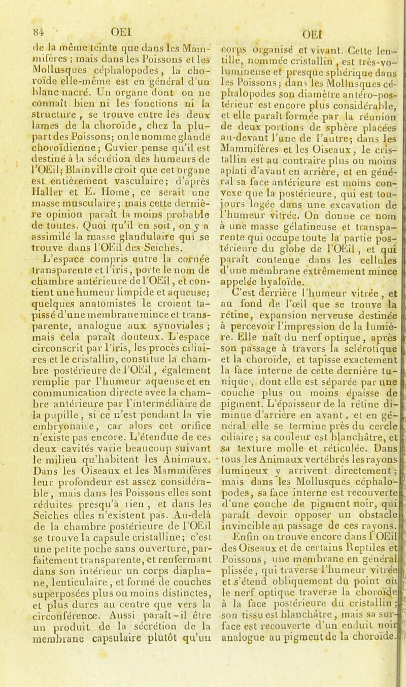 île la même loin le que clans les Mam- mifères ; mais dans les Poissons cl les Mollusques céphalopodes, la cho- roïde elle-même est en général d’un hlanc nacre. Un organe dont on ne connaît bien ni les fonctions ni la structure , se trouve entre les deux lames de la choroïde, chez la plu- part des Poissons; on le nomme glande choroïdienne; Cuvier pense qu’il est destiné à la sécrétion des humeurs de l’OEil; Blainville croit que cet organe est entièrement vasculaire; d’après Haller et E. Home, ce serait une masse musculaire ; mais cette derniè- re opinion paraît la moins probable de toutes. Quoi qu’il en soit, on y a assimilé la masse glandulaire qui se trouve dans l’OEil des Seiches. L’espace compris entre la cornée transparente et l’iris, porte le nom de chambre antérieure de l 'OEil, et con- tient une humeur limpide et aqueuse; quelques anatomistes le croient ta- pissé d’uue membrane mince et trans- parente, analogue aux synoviales ; mais cela paraît douteux. L’espace circonscrit par l’iris, les procès ciliai- res et le cristallin, constitue la cham- bre postérieure de l’OEil, également remplie par l’humeur aqueuse et en communication directe avec la cham- bre antérieure par l’intermédiaire de la pupille , si ce n’est pendant la vie embryonaiie, car alors cet orifice n’existe pas encore. L’étendue de ces deux cavités varie beaucoup suivant le milieu qu’habitent les Animaux. Dans les Oiseaux et les Mammifères leur profondeur est assez considéra- ble , mais dans les Poissons elles sont réduites presqu’à rien , et dans les Seiches elles n’existent pas. Au-delà de la chambre postérieure de l'OEil se trouve la capsule cristalline ; c’est une petite poche sans ouverture, par- faitement transparente, et renfermant dans son intérieur un corps diapha- ne, lenticulaire , et formé de couches superposées plus ou moins distinctes, et plus dures au centre que vers la circonférence. Aussi paraît-il être un produit de la sécrétion de la membrane capsulaire plutôt qu’un OEt corps organisé et vivant. Celle len- tille, nommée cristallin , est très-vo- lumineuse et presque sphérique dans les Poissons; dans les Mollusques cé- phalopodes son diamètre antéro-pos- térieur est encore plus considérable, et elle paraît formée par la réunion de deux portions de sphère placées au-devant l’une de l’autre; dans les Mammifères et les Oiseaux, le cris- tallin est au contraire plus ou moins apiati d’avant en arrière, et en géné- ral sa face antérieure est moins con- vexe que la postérieure, qui est tou- jours logée dans une excavation de l’humeur vitrée. Ou donne ce nom à une masse gélatineuse et transpa- rente qui occupe toute la partie pos- térieure du globe de l’OEil , et qui paraît contenue dans les cellules d’une membrane extrêmement mince appelée hyaloïde. C’est derrière l’humeur vitrée, et au fond de l’œil que se trouve la rétine, expansion nerveuse destinée à percevoir l’impression de la lumiè- re. Elle naît du nerf optique, après son passage à travers la sclérotique et la choroïde, et tapisse exactement la face interne de cette dernière tu- nique , dont elle est séparée par une couche plus ou moins épaisse de pigment. L’épaisseur de la rétine di- minue d’arrière en avant, et en gé- néral elle se termine près du cercle ciliaire ; sa couleur est blanchâtre, et sa texture molle et réticulée. Dans - tous les Animaux vertébrés les rayons lumineux y arrivent directement; mais dans les Mollusques céphalo- podes, sa face interne est recouverte d’une couche de pigment noir, qui paraît devoir opposer un obstacle invincible au passage de ces rayons. Enfin ou trouve encore dans l'OEil des Oiseaux et de certains Reptiles et Poissons, une membrane en général plissée, qui traverse l’humeur vitrée et s’étend obliquement du point où le nerf optique traverse la choroïde à la face postérieure du cristallin ; son tissu est blanchâtre, mais sa sur- face est recouverte d’un enduit noir analogue au pigment de la choroïde.u