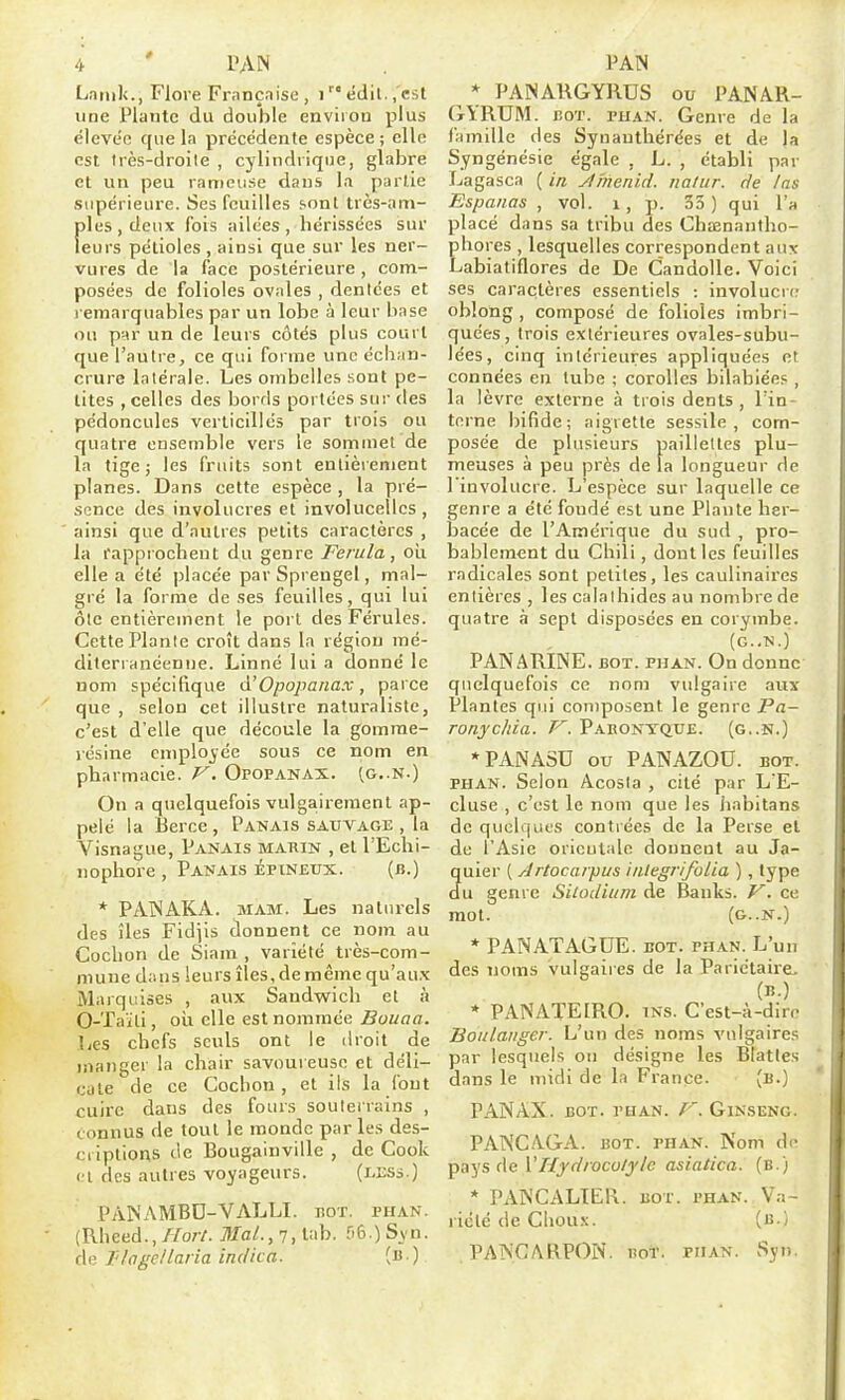 Laiiik., Flore Frnnçaise, iédil.,'cst une Plante du double environ plus éleve'e que la précédente espèce ; elle est très-droite , cylindrique, glabre et un peu rameuse dans la partie supérieure. Ses feuilles sont très-am- files , deux fois ailées , hérissées sur eurs pétioles , ainsi que sur les ner- vures de la face postérieure , com- posées de folioles ovales , dentées et remarquables par un lobe à leur base ou par un de leurs côtés plus court que l'autre, ce qui forme une échan- crure latérale. Les ombelles sont pe- tites , celles des borris portées sur des pédoncules verticillcs par trois ou quatre ensemble vers le sommet de la tige; les fruits sont entièrement planes. Dans cette espèce , la pré- sence des involucres et involucellcs , ainsi que d'autres petits cai'actères , la rapprochent du genre Ferula, oli elle a été placée par Spreugel, mal- gré la forme de ses feuilles, qui lui ôte entièrement le poi l des Férules. Cette Plante croît dans la région mé- diterranéenne. Linné lui a donné le nom spécifique à'Opopanax, parce que , selon cet illustre naturaliste, c'est d'elle que découle la gomme- résine employée sous ce nom en pharmacie, y. Opopanax. (g,.n.) On a quelquefois vulgairement ap- pelé la Berce, Panais sauvage , la Visnague, Panais marin , et l'Eclii- nophore , Panais épineux. (b.) * PAINAKA. MAM. Les naturels des îles Fidjis donnent ce nom au Cochon de Siam , variété très-com- mune dans leurs îles, de même qu'au.x Marquises , aux Sandwich et à 0-Taïli, où elle est nommée Bouaa. ]/es chefs seuls ont le droit de manger la chair savoureuse et déli- ciile de ce Cochon , et ils la fout cuire dans des fours souterrains , connus de tout le monde parles des- criptions de Bougainville , de Cook < l des autres voyageurs. (less.) PANAMBD-VALLI. nor. phan. (Rheed., //o/-/. MaL,n, U'b. T'ô.) Svn. de TIagellaria indien. [a ) * PANARGYRUS ou PANAR- GYRUM. BOT. phan. Genre de la famille des Synauthérées et de la Syngénésie égale , L. , établi par Lagasca ( in yf/rienid. natur. de las Espanas , vol. i , p. 33) qui l'a placé dans sa tribu des Chœnantho- phores , lesquelles correspondent aux Labiatiflores de De Candolle. Voici ses caractères essentiels : involucr(! oblong , composé de folioles imbri- quées, trois extérieures ovales-subu- lées, cinq intérieures appliquées et connées eu tube ; corolles bilabiées , la lèvre externe à trois dents , l'in- terne bifide; aigrette sessile , com- posée de plusieurs paillettes plu- meuses à peu près de la longueur de l'involucre. L'espèce sur laquelle ce genre a été fondé est une Plante her- bacée de l'Amérique du sud , pro- bablement du Chili, dont les feuilles radicales sont petites, les caulinaires entières , les calalhides au nombre de quatre à sept disposées en corymbe. (G..N.) PANARINE. BOT. PHAN. On donne quelquefois ce nom vulgaire aux Plantes qui composent le genre Pa- ronjchia. V. Pabonyque. {g..n.) ■^PANASD ou PANAZOU. bot. PHAN. Selon Acosia , cité par L'E- cluse , c'est le nom que les jiabitans de quelques contrées de la Perse et de l'Asie oriculalc donnent au Ja- quier ( Artocarpus iiilegrifolia ), type au genre Silodium de Baulcs. V. ce mot. (G..N.) * PANATAGUE. bot. phan. L'un des noms vulgaires de la Pariétaire, (B.) * PANATEIRO. iNs. C'est-à-dire Boulanger. L'un des noms vulgaires par lesquels ou désigne les Blattes dans le midi de la France. (b.) PANAX. bot. phan. Ginseng. PANCAGA. bot. phan. Nom d<- pays de VHydiocolylc asiatica. (b.) * PAINCALIER. bot. phan. Va- riété de Choux. (b.) PAÎNCARPON. Bot. PiiAN. Syi).