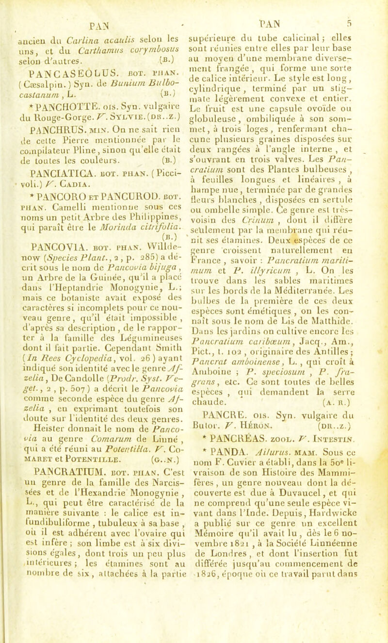 aucieu du Caiiina acaulis selon les uns, et du Carthanius corymbosus selon d'autres. \^-) PANCASEOLiUS. jîot. i'iian. { Cœsalpin. ) Syu. de Buiiium Btilbo- castantim , L. \^-) *PANCHOTTK. ois. Syn. vulgaire du Rouge-Gorge./^.Sylvie.(DK..Z.) P.ANCHRUS. MIN. On ne sait rien de celte Pierre mentionnée par le compilateur Pline , sinon qu'elle était de toutes les couleurs. (b.) PANCIATIGA. UOT. piian. ( Picci- voli.) f^. Cadia. • PANCORO ET PANCUROD. bot. PHAN. Camelli mentionne sous ces noms un petit Arbre des Philippines, qui paraît être le Moriiida citiifulia. (J).) PANCOVIA. BOT. i>UAN. VViUde- Tiow [Species Plant., 2 , p. 285) a dé- crit sous le nom de Pancovia bijuga , un Arbre de la Guinée, qu'il a placé dans l'Heptandrie Monogynie, L.; mais ce botaniste avait exposé des caractères si incomplets pour ce nou- veau genre, qu'il était impossible, d'après sa description , de le rappor- ter à la famille des Légumineuses dont il l'ait partie. Cependant Smitli {In Rces Cyclopedia, vol. 26) ayant indiqué son identité avec le genre ^Z/- zelia, DeCandoUc [Prodr. Sjst. Ve- get., 2 , p. 507) a décrit le Pancouici comme seconde espèce du genre ylj- zelia , en exprimant toutefois son doute sur l'identité des deux genres. Heister donnait le nom de Pa/ico- via au genre Comarum de Linné , qui a été réuni au PotentiHa. V. Co- MARKT et POTENTILLE. (G..N.) PAiNCRATIUM. bot. puas. C'est un genre de la famille des Narcis- sées et de l'Hexandrie Monogynie , L., qui peut être caractérisé de la manière suivante : le calice est in- lundibuliforme , tubuleux à sa base , cil il est adhérent avec l'ovaire qui est infère ; son limbe est à six divi- sions égales, dont trois un peu plus uiléricures; les étamines sont au nondue de six, attachées à la partie PAN 5 supérieure du tube calicinal ; elles sont réunies entre elles par leur base au moyen d'une membrane diverse- ment frangée , qui forme une sorte de calice intérieur. Le style est long , cylindrique , terminé par un stig- mate légèrement convexe et entier. Le fruit est une capsule ovoïde ou globuleuse, ombiliquée à son som- met, à trois loges, renfermant cha- cune plusieurs graines disposées sur deux rangées à l'angle interne , et s'ouvrant en trois valves. Les Paii- cratiitm sont des Plantes bulbeuses , à feuilles longues et linéaires , à hampe nue , terminée par de grandes fleurs blanches , disposées en sertulc ou ombelle simple. Ce genre est tics- voisin des Criinim , dont il difl'ère seulement par la membrane qui réu- nit ses étamines. Deux espèces de ce genre croissent naturellement eu France , savoir : Pancralium mariti- murn et P. illyncum , L. On les trouve dans les sables maritimes sur les bords de la Méditerranée. Les bidbes de la première de ces deux espèces sont éméliques , ou les con- naît sous le nom de Lis de Matthide. Dans les jardins on cultive encore les Pancralium caiibœum, Jacq., Am., Pict., t. 103 , originaire des Antilles ; Pancrât amboinense, L., qui croît à Amboiue ; P. speciosum , P. J'ra- grans, eic. Ce sont toutes de belles espèces , qui demandent la serre chaude. (a. n.) PANCRE. ois. Syn. vulgaire du Butor. V. HÉRON. (DR..Z.) * PANCRÉAS. zooL. r-. Intestln. * PANDA. Ailurus. mam. Sous ce nom F. Cuvicr a établi, dans la 5o* li- vraison de son Histoire des Mammi- fères , un genre nouveau dont la dé- couverte est due à Duvaucel, et qui ne comprend qu'une seule espèce vi- vant dans l'Inde. Depuis, Hardwicke a publié sur ce genre un excellent Mémoire qu'il avait lu , dès le 6 no- vembre 1821 , à la Société Linnéenne de Londres, et dont l'insertion fut différée jusqu'au commencement de i8jti, époque ou ce travail parut dans