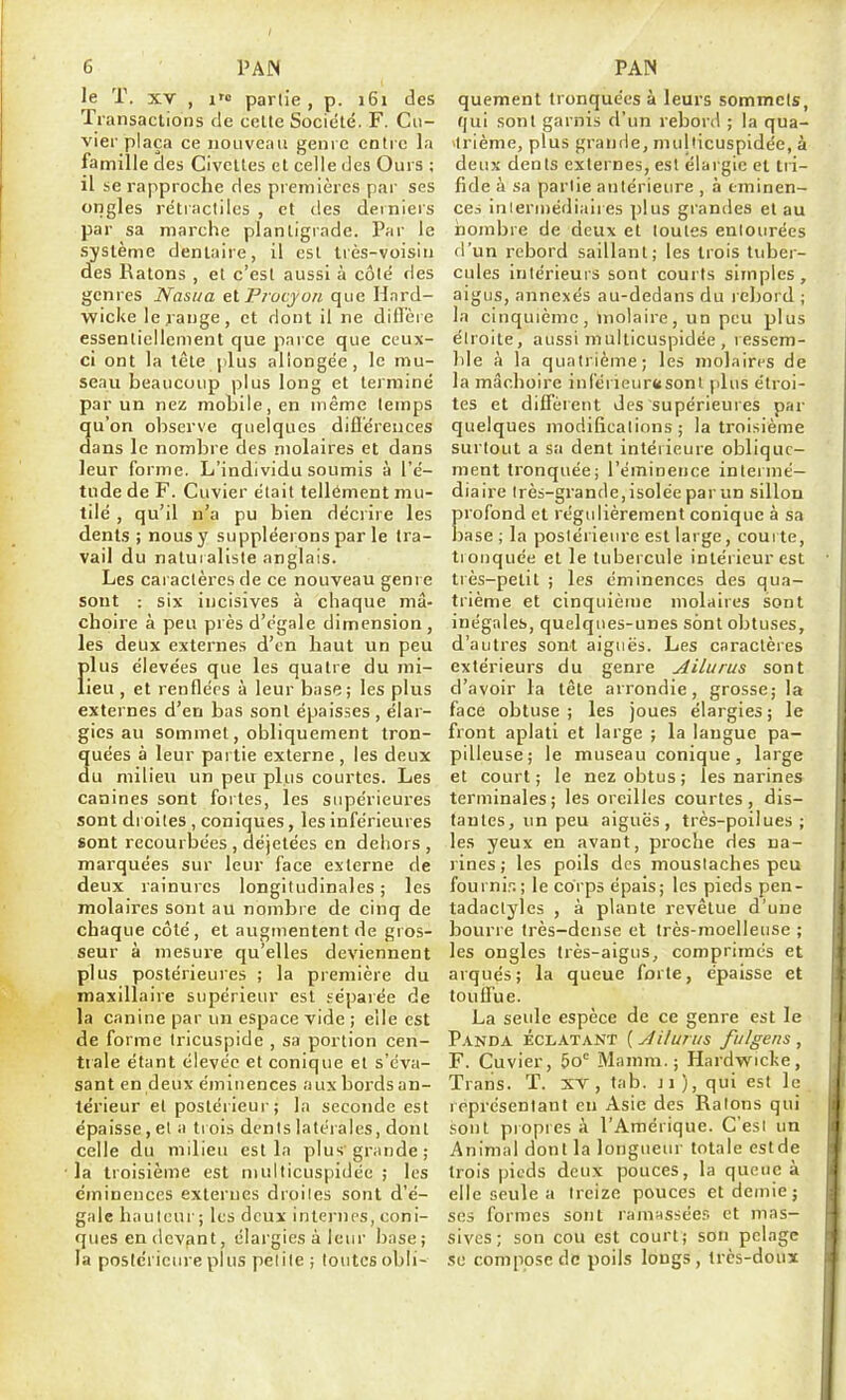 le T. XV , 1 partie, p. 161 des Transactions de celle Société. F. Cii- vier plaça ce nouveau genre entre la famille des Civettes et celle des Ours ; il se rapproche des premières par ses ongles rétractiles , et des derniers par sa marche plantigrade. Par le système dentaire, il esl très-voisin des Ratons , et c'est aussi à côlé des genres Nasua et F/acjon que Hard- wiclce lejange, et dont il ne difl'ère essenliclienient que parce que ceux- ci ont la tête plus allongée, le mu- seau beaucoup plus long et terminé par un nez mobile, en même temps u'on observe quelques diflereuces ans le nombre des molaires et dans leur forme. L'individu soumis à l'é- tude de F. Cuvier était tellément mu- tilé , qu'il n'a pu bien décrire les dents ; nous y suppléerons par le tra- vail du natuialiste anglais. Les caractères de ce nouveau genre sont : six incisives à chaque mâ- choire à peu près d'égale dimension, les deux externes d'en haut un peu filus élevées que les quatre du mi- ieu , et renflées à leur base; les plus externes d'en bas sont épaisses, élar- gies au sommet, obliquement tron- quées à leur partie externe, les deux du milieu un peir plus courtes. Les canines sont fortes, les supérieures sont droites , coniques, les inférieures sont recourbées , déjetées en dehors , marquées sur leur face externe de deux rainures longitudinales ; les molaires sont au nombre de cinq de chaque côté, et augtnentent de gros- seur à mesure qu'elles deviennent plus postérieures ; la première du maxillaire supérieur est .'éparée de la canine par un espace vide ; elle est de forme Iricuspide , sa portion cen- ttale étant élevée et conique et s'éva- sant en deux émiiiences auxbordsan- térieur el postérieur; la seconde est épaisse , el a trois dénis latéiales, dont celle du milieu est la plus'grande; la troisième est multicuspidée ; les éminences externes droites sont d'é- gale hauteur ; les deux internes, coni- ques en (levant, élargies à leur base; la postérieure plus petite; toutes obli- quement tronquées à leurs sommets, qui sont garnis d'un rebord ; la qua- >lrième, plus gratide, multicuspidée, à deux dents externes, esl élargie el tri- fide à sa partie antérieure , à tminen- ces intermédiaires plus grandes et au nombre de deux et toutes entourées d'un rebord saillant; les trois tuber- cules intérieurs sont courts simples, aigus, annexés au-dedans du rebord ; la cinquième, molaire, un peu plus étroite, aussi multicuspidée , lessem- hle à la quatrième; les molaires de la mâchoire inl'érieurttsont plus étroi- tes et diffèrent des supérieures par quelques modifications; la troisième surtout a sa dent intérieure oblique- ment tronquée; l'éminence inleiiné— diaire très-grande, isolée par un sillon profond et régulièrement conique à sa Ijase ; la postérieure est large, courte, tionquée et le tubercule intérieur est très-petit ; les éminences des qua- trième et cinquième molaires sont inégales, quelques-unes sont obtuses, d'autres sont aiguës. Les caractères extérieurs du genre Ailurus sont d'avoir la tête arrondie, grosse; la face obtuse; les joues élargies; le front aplati et large ; la langue pa- pilleuse; le museau conique, large et court; le nez obtus; les narines terminales; les oreilles courtes, dis- tantes, un peu aiguës, très-poilues; les yeux en avant, proche des na- rines ; les poils des moustaches peu fourni,'-.; le corps épais; les pieds pen- tadactyles , à plante revêtue d'une bourre Irès-dense et très-moelleuse ; les ongles très-aigus, comprimes et arqués; la queue forte, épaisse et touffue. La seide espèce de ce genre est le Panda écl.4.tant [jî il unis ////gens, F. Cuvier, 60^ Mamm. ; Hardwicl<e, Traiis. T. xv, tab. j 1 ), qui est le leprésentant en Asie des Ratons qui sont propres à l'Amérique. C'est un Animal dont la longueur totale eslde trois pieds deux pouces, la queue à elle seule a treize pouces et demie; ses formes sont ramussée.'; et mas- sives; son cou est court; son pelage .se compose de poils longs, très-doux 3