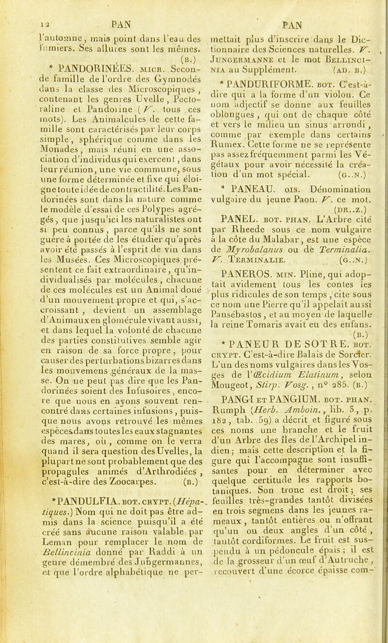 l'automne, mais point dans l'eau des i'i.iniers. Ses allures sont les mêmes. (H.) * PANDORINEES. mich. Secon- de famille de l'ordre des Gymnodés dan.i la classe des Microscopiques , contenant les genres Uvelle , Pecto- raline et Pandoiine (tous ces mots). Les Animalcules de cette fa- mille sont caractérisés par leur corps simple , sphérique comme dans les Monades, mais réuni eu une asso- ciation d'individus qui exercent ,dans leur réunion, une vie commune, sous une forme déterminée et fixe qui éloi- gne toute idée deconlractilité.LesPan- dorinées sont dans la nature comme le modèle d'essai de ces Polypes agré- gés , que jusqu'ici les naturalistes ont si peu connus , parce qu'ils ne sont guère à portée de les étudier qu'après avoir été passés à l'esprit de vin dans les Musées. Ces Microscopiques pré- sentent ce fait extraordinaire, qu'in- dividualisés par molécules, chacune de ces molécules est un Animal doué d'un mouvement propre et qui, s'ac- croissant , devient un assemblage d'Animauxen gloniérule vivant aussi, et dans lequel la volonté de chacune des parties constitutives semble agir en raison de sa force propre, pour causer des perturbations bizarres dans les mouvemens généraux de la mas- se. On ne peut pas dire que les Pan- dorinées soient des Infusoires , enco- re que nous en ayons souvent ren- contré daiîs certaines infusions , puis- que nous avons retrouvé les mêmes espèceadans toutes les eaux stagnantes des mares, oîi, comme on le verra quand il sera question desUvelles, la plupart ne sont probablement que des propagules animés d'Arthrodiées , c'est-à-dire des Zoocarpes. (b.) *PANDULFIA. BOT. crypt. {Hépa-^ tiques.) Nom qui ne doit pas être ad- mis dans la science puisqu'il a été créé sans aucune raison valable par Lcman pour remplacer le nom de Bellincinia donné par Raddi à un genre démembré des Juftgermannes, flt que l'ordre alphabétique ne pcr- mettait plus d'inscrire dans le Dic- tionnaire des Sciences naturelles. J^. , JuNGERM.\.NNE et le mot Bellinci- nia au Supplément. (ad. b.) * PANDURIFORME. bot. C'est-à- dire qui a la forme d'un violon. Ce nom adjectif se donne aux feuilles oblongues , qui ont de chaque côté et vers le milieu un sinus arrondi , comme par exemple dans certains Rumex. Cette forme ne se représente pas assez fréquemment parmi les Vé- gétaux pour avoir nécessité la créa- tion d'un mot spécial. (g..n.) * PANEAU. OIS. Dénomination vulgaire du jeune Paon. J^. ce mot. (DR..Z.) PANEL. BOT. PHAN. L'Arbre cité par Rheede sous ce nom vulgaire à la côte du Malabar, est une espèce de Myrobalaiius ou dè Terminalia. V. ÏERMINALIE. (G..N.; PANEROS. MIN. Pline, qui adop- tait avidement tous les contes les plus ridicules de son temps , cite sous ce nom une Pierre qu'il appelait aussi Pansébastos , et au moyen de laquelle la reine Tomaris avait eu des enfans. * PANEUR DE SOTRE. BOT. | CRYPT. C'est-à-dire Balais de Sorcier, j L'un des noms vulgaires dans les Vos- ges de VUEcidium Elatinum, selon Mougeot, Stiip. Vosg., a a85. (b.) PANGI ET PANGIDM. bot. phan. Rumph [He/b. Jmboin., lib. 3, p- 182, tab. 59) a décrit et figuré sous i ces noms une branche et le fruit d'un Arbre des îles de l'Archipel in- dien; mais cette description et la fi- gure qui l'accompagne sont insuffi- > santés pour en déterminer avec quelque certitude les rapports bo- taniques. Son tronc est droit; ses 1 feuilles très-grandes tantôt divisées | en trois segmens dans les jeunes ra- | meaux, tantôt entières ou n'ofirant H qu'un ou deux angles d'un côté , tantôt cordi for mes. Le fruit est sus- jjeudu à un pédoncule épais ; il est. de la grosseur d'un œuf d'Autruche , recouvert d'une écorce épaisse com- I