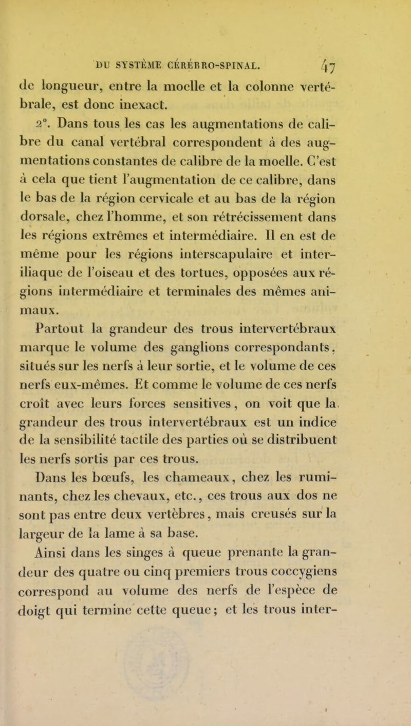 île longueur, entre la moelle et la colonne verté- brale, est donc inexact. 2°. Dans tous les cas les augmentations de cali- bre du canal vertébral correspondent à des aug- mentations constantes de calibre de la moelle. C’est à cela que tient l’augmentation de ce calibre, dans le bas de la région cervicale et au bas de la région dorsale, chez l’homme, et son rétrécissement dans % les régions extrêmes et intermédiaire. 11 en est de même pour les régions interscapulaire et inter- iliaque de l’oiseau et des tortues, opposées aux ré- gions intermédiaire et terminales des mêmes ani- maux. Partout la grandeur des trous intervertébraux marque le volume des ganglions correspondants, situés sur les nerfs à leur sortie, et le volume de ces nerfs eux-mêmes. Et comme le volume de ces nerfs croît avec leurs forces sensitives, on voit que la grandeur des trous intervertébraux est un indice de la sensibilité tactile des parties où se distribuent les nerfs sortis par ces trous. Dans les bœufs, les chameaux, chez les rumi- nants, chez les chevaux, etc., ces trous aux dos ne sont pas entre deux vertèbres, mais creusés sur la largeur de la lame à sa base. Ainsi dans les singes à queue prenante la gran- deur des quatre ou cinq premiers trous coccygiens correspond au volume des nerfs de l’espèce de doigt qui termine cette queue; et les trous inter-