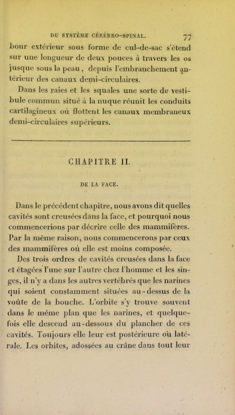 bouc extérieur sous forme de cul-de-sac s’étend sur une longueur de deux pouces à travers les os jusque sous la peau , depuis l’embranchement an- térieur des canaux demi-circulaires. Dans les raies et les squales une sorte de vesti- bule commun situé à la nuque réunit les conduits cartilagineux où flottent les canaux membraneux demi-circulaires supérieurs. CHAPITRE II. DE LA FACE. Dans le précédent chapitre, nous avons dit quelles cavités sont creusées dans la face, et pourquoi nous commencerions par décrire celle des mammifères. Par la même raison, nous commencerons par ceux des mammifères où elle est moins composée. Des trois ordres de cavités creusées dans la face et étagées l’une sur l’autre chez l’homme et les sin- ges, il n’y a dans les autres vertébrés que les narines qui soient constamment situées au-dessus delà voûte de la bouche. L’orbite s’v trouve souvent dans le même plan que les narines, et quelque- fois elle descend au-dessous du plancher de ces cavités. Toujours elle leur est postérieure où laté- rale. Les orbites, adossées au crâne dans tout leur