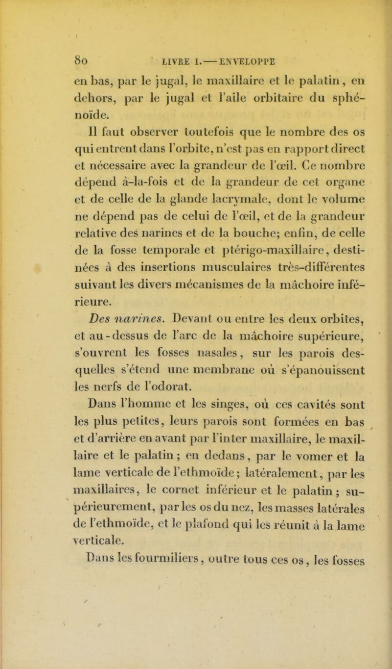 en bas, par le jugal, le maxillaire et le palatin, en dehors, par le jugal et l’aile orbitaire du sphé- noïde. 11 faut observer toutefois que le nombre des os qui entrent dans l’orbite, n’est pas en rapport direct et nécessaire avec la grandeur de l’œil. Ce nombre dépend à-la-fois et de la grandeur de cet organe et de celle de la glande lacrymale, dont le volume ne dépend pas de celui de l’œil, et de la grandeur relative des narines et de la bouche; enfin, de celle de la fosse temporale et ptérigo-maxillaire, desti- nées à des insertions musculaires très-différentes suivant les divers mécanismes de la mâchoire infé- rieure. Des narines. Devant ou entre les deux orbites, et au-dessus de l’arc de la mâchoire supérieure, s’ouvrent les fosses nasales, sur les parois des- quelles s’étend une membrane où s’épanouissent les nerfs de l’odorat. Dans l’homme et les singes, où ces cavités sont les plus petites, leurs parois sont formées en bas et d’arrière en avant par l’inter maxillaire, le maxil- laire et le palatin ; en dedans, par le vomer et la lame verticale de l’ethmoïde; latéralement, par les maxillaires, le cornet inférieur et le palatin; su- périeurement, parles os du nez, les masses latérales de l’elhmoïde, et le plafond qui les réunit à la lame verticale. Dans les fourmiliers, outre tous ces os, les fosses