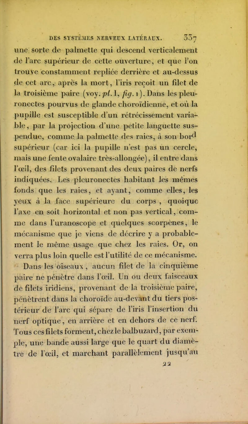 J une sorte de palmette qui descend verticalement de l’arc supérieur de cette ouverture, et que l’on trouve constamment repliée derrière et au-dessus de cet arc, après la mort, l’iris reçoit un filet de la troisième paire (voy. pi. 1, fuj. i ). Dans les pleu- roncctes pourvus de glande choroïdienne, et où la pupille est susceptible d’un rétrécissement varia- ble, par la projection d’une petite languette sus- pendue, comme la palmette des raies, à son boi** supérieur (car ici la pupille n’est pas un cercle, mais une fente ovalaire très-allongée), il entre dans l’œil, des filets provenant des deux paires de nerfs indiquées. Les plcuronectes habitant les mêmes fonds que les raies, et ayant, comme elles, les yeux cà la face supérieure du corps , quoique l’axe en soit horizontal et non pas vertical, com- me dans l’uranoscope et quelques scorpènes, le mécanisme que je viens de décrire y a probable- ment le même usage que chez les raies. Or, on verra plus loin quelle est l’utilité de ce mécanisme. Dans les oiseaux , aucun filet de ia cinquième paire ne pénètre dans l’œil. Un ou deux faisceaux de filets iridiens, provenant de la troisième paire, pénètrent dans la choroïde au-devant du tiers pos- térieur de l’arc qui sépare de l’iris l’insertion du nerf optique, en arrière et en dehors de ce nerf. Tous ces filets forment, chez le balbuzard, par exem- ple, une bande aussi large que le quart du diamè- tre de l’œil, et marchant parallèlement jusqu’au / ‘2‘À