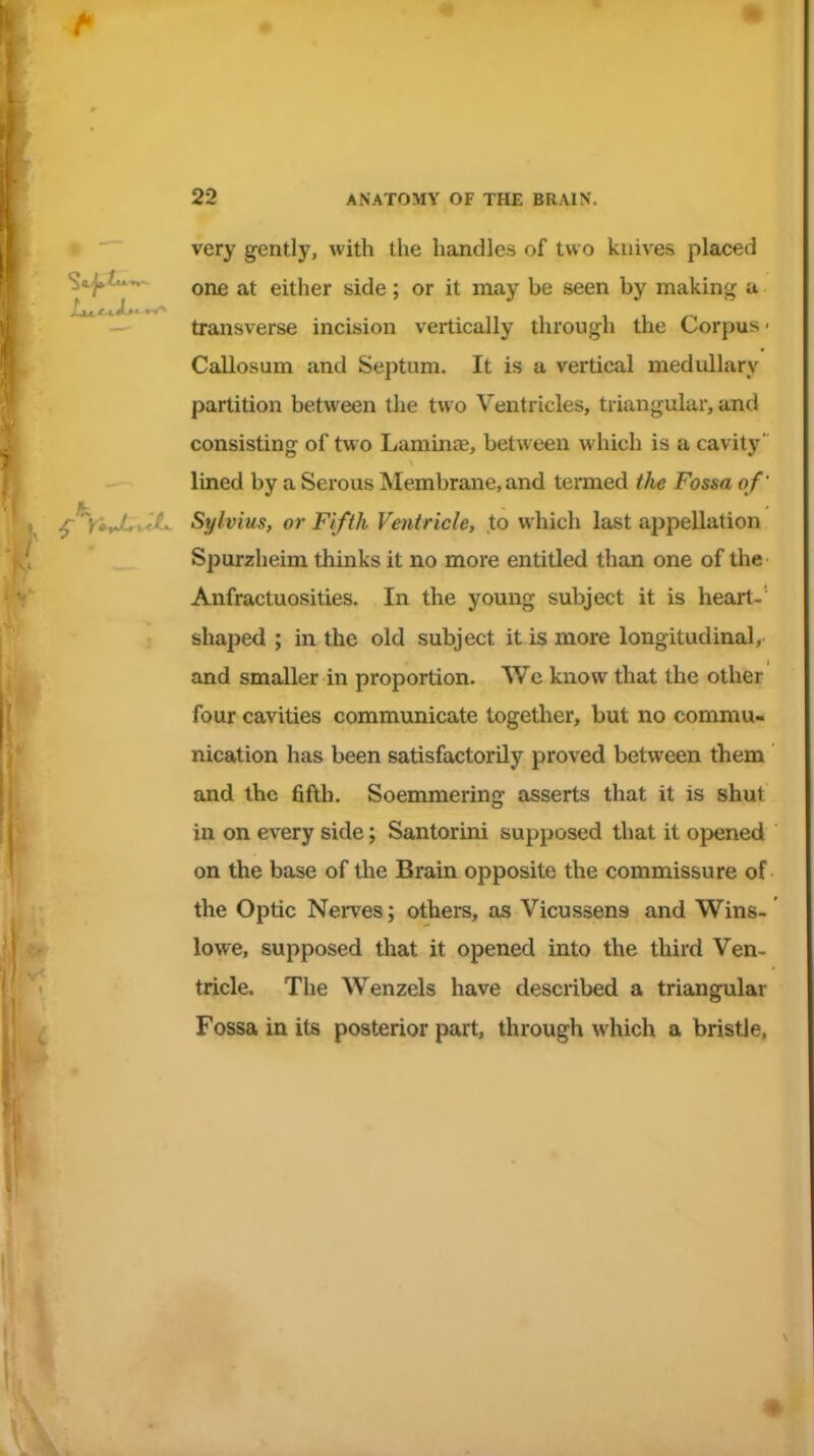 very gently, with the handles of two knives placed ^•^^-^ one at either side; or it may be seen by making a transverse incision vertically through the Corpus ■ Callosum and Septum. It is a vertical medullary partition between the two Ventricles, triangular, and consisting of two Laminje, between which is a cavity' lined by a Serous Membrane, and termed tlie Fossa of' ^*Vi^i^ Sylvius, or Fifth Ventricle, to which last appellation Spurzheim thinks it no more entitled than one of the Anfractuosities. In the young subject it is heart-' shaped ; in the old subject it is more longitudinal, and smaller in proportion. Wc know that the other four cavities communicate togetlier, but no commu- nication has been satisfactorily proved between them and the fifth. Soemmering asserts that it is shut in on every side; Santorini supposed that it opened on the base of the Brain opposite the commissure of the Optic Nerves; others, as Vicussens and Wins- lowe, supposed that it opened into the third Ven- tricle. The Wenzels have described a triangular Fossa in its posterior part, through which a bristle.