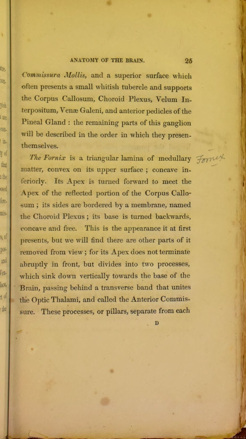 Commissura Mollis, and a superior surface which often pi-esents a small whitish tubercle and supports the Corpus Callosum, Choroid Plexus, Velum In- terpositum, Venas Galeni, and anterior pedicles of the Pineal Gland : the remaining parts of this ganglion will be described in the order in which they presen- themselves. The Fornix is a triangular lamina of medullary j^/ ^^ ^ matter, convex on its upper surface ; concave in- teriorly. Its Apex is turned forward to meet the Apex of the reflected portion of the Corpus Callo- i5um ; its sides are bordered by a membrane, named the Choroid Plexus; its base is turned backwards, concave and free. This is the appearance it at first presents, but we will find there are other parts of it removed from view; for its Apex does not terminate abruptly in front, but divides into two processes, which sink down vertically towards the base of the Brain, passing behind a transverse band that unites the Optic Thalami, and called the Anterior Commis- sure. These processes, or pillars, separate from each D 1. ■'