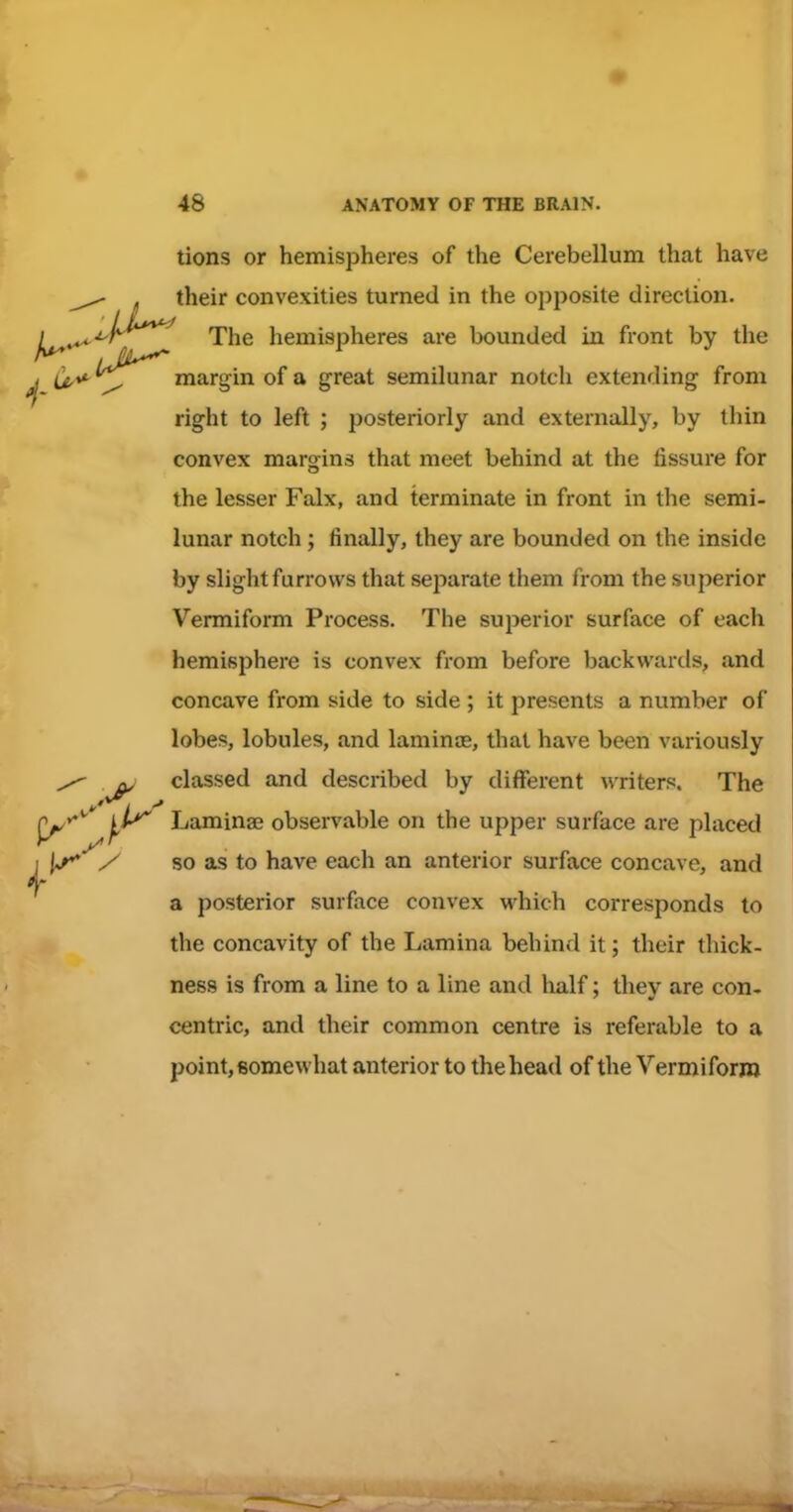 • 48 ANATOMY OF THE BRAIN. tions or hemispheres of the Cerebellum that have ^ their convexities turned in the opposite direction. ^.^•^A^*^ The hemispheres are bounded in front by the ^ U-** ^'^^^^^ margin of a great semilunar notch extending from right to left ; posteriorly and externally, by thin convex margins that meet behind at the fissure for the lesser Falx, and terminate in front in the semi- lunar notch; finally, they are bounded on the inside by slight furrows that separate them from the superior Vermiform Process. The superior surface of each hemisphere is convex from before backwards, and concave from side to side ; it presents a number of lobes, lobules, and laminae, that have been variously ^ classed and described by different writers. The jy**'' Laminae observable on the upper surface are placed ^ so as to have each an anterior surface concave, and a posterior surface convex which corresponds to the concavity of the Lamina behind it; their thick- ness is from a line to a line and half; thev are con- centric, and their common centre is referable to a point,somewhat anterior to the head of the Vermiform