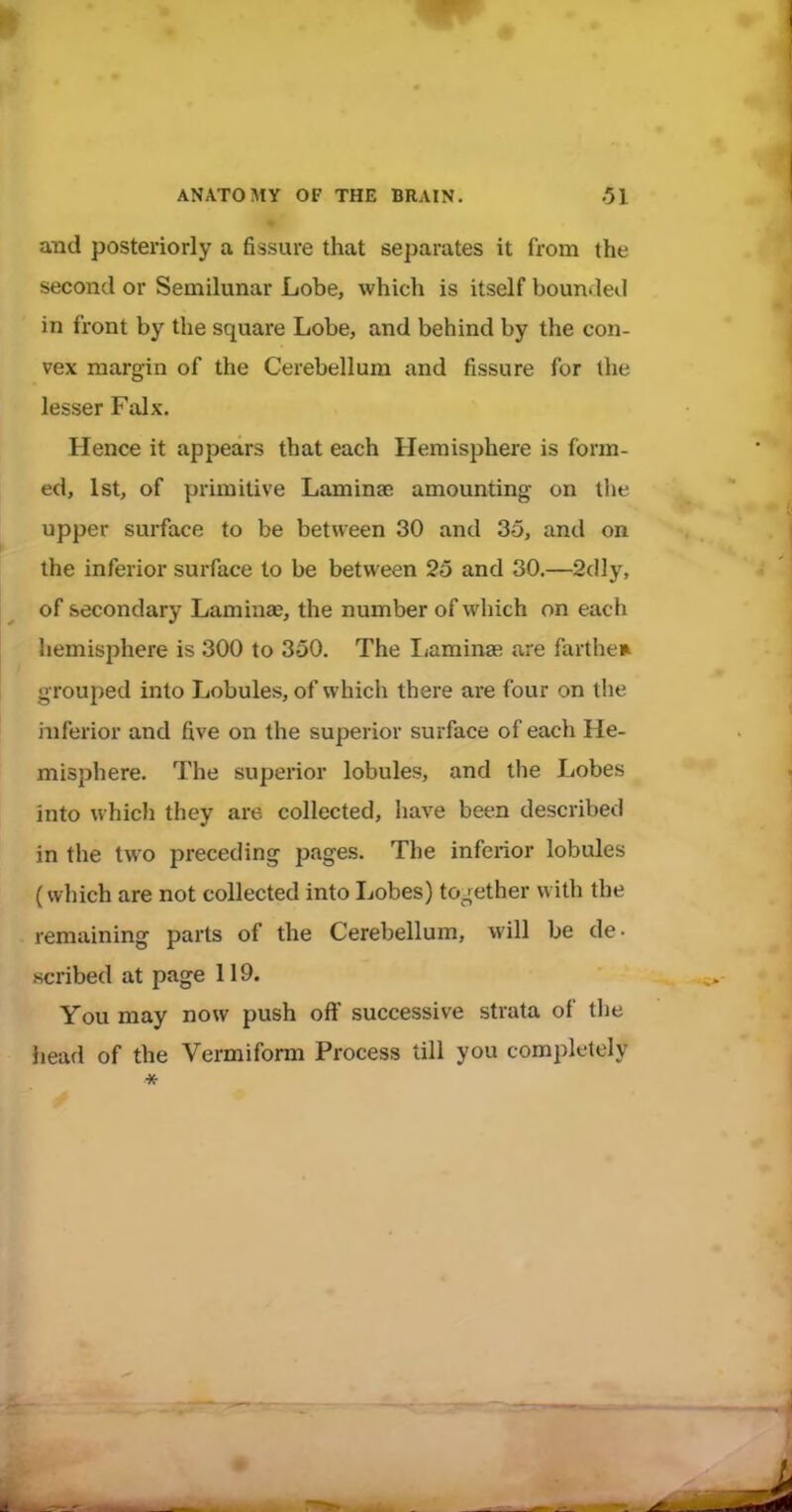 and posteriorly a fissure that separates it from the second or Semilunar Lobe, which is itself bounded in front by the square Lobe, and behind by the con- vex margin of the Cerebellum and fissure for the lesser Falx. Hence it appears that each Hemisphere is form- ed, 1st, of primitive Laminae amounting on the upper surface to be between 30 and 35, and on the inferior surface to be between 25 and 30.—2dly, of secondary Laminae, the number of which on each hemisphere is 300 to 350. The Laminae are farther grouped into Lobules, of which there are four on the inferior and five on the superior surface of each He- misphere. The superior lobules, and the Lobes into which they are collected, have been described in the two preceding pages. The inferior lobules (which are not collected into Lobes) together with the remaining parts of the Cerebellum, will be de- scribed at page 119. You may now push off successive strata of tlie head of the Vermiform Process till you completely