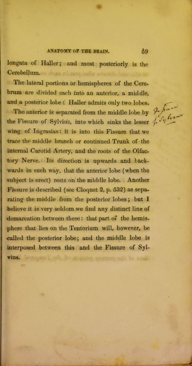 longata of Haller; and most posteriorly is the Cerebellum. The lateral portions or hemispheres of the Cere- brum are divided each into an anterior, a middle, and a posterior lobe : Haller admits only two lobes. The anterior is separated from the middle lobe by the Fissure of Sylvius, into which sinks the lesser wing of Ingrasias: it is into this Fissure that we trace the middle branch or continued Trunk of the internal Carotid Artery, and the roots of the Olfac- tory Nerve. Its direction is upwards and back- wards in such way, that the anterior lobe (when the subject is erect) rests on the middle lobe. Another Fissure is described (see Cloquet 2, p. 532) as sepou rating the middle from the posterior lobes; but I believe it is very seldom we find any distinct line of demarcation between these: that part of the hemis- phere that lies on the Tentorium will, however, be -called the posterior lobe; and the middle lobe is interposed between this and the Fissure of Syl- vius.