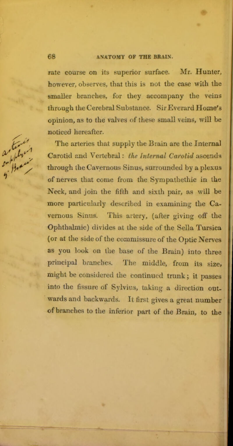 rate course on its superior surface. Mr. Hunter, however, observes, that this is not the case with the smaller branches, for they accompany the veins through the Cerebral Substance. Sir Everard Home's opinion, as to the valves of these small veins, will be noticed hereafter. The arteries that supply the Brain are the Internal Carotid and Vertebral: the Internal Carotid ascends through the Cavernous Sinus, surrounded by a plexus of nerves that come from the Sympathethic in the Neck, and join the fifth and sixth pair, as will be more particularly described in examining the Ca- vemous Sinus. This artery, (after giving off the Ophthalmic) divides at the side of the Sella Tursica (or at the side of the commissure of the Optic Nerves as you look on the base of the Brain) into three principal branches. The middle, from its size, might be considered the continued trunk; it passes into the fissure of Sylvius, taking a direction out- wards and backwards. It first gives a great number of branches to the inferior part of the Brain, to the