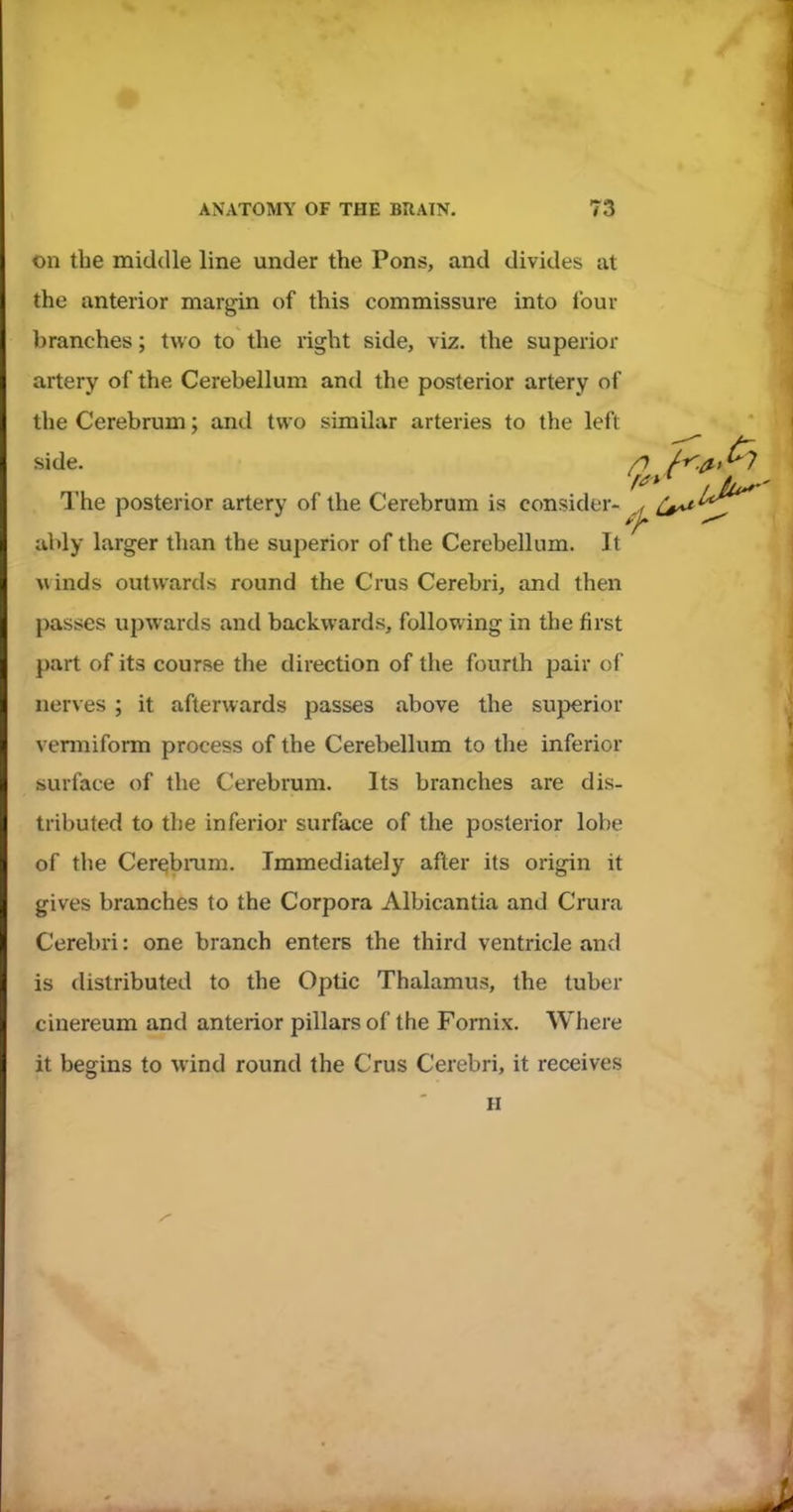 on the middle line under the Pons, and divides at branches; two to the right side, viz. the superior artery of the Cerebellum and the posterior artery of the Cerebrum; and two similar arteries to the left 1 he posterior artery of the Cerebrum is consider- ,< Cs^ ably larger than the superior of the Cerebellum. It w inds outwards round the Crus Cerebri, and then passes upwards and backwards, following in the first part of its course the direction of the fourth pair of nerves ; it afterwards passes above the superior vermiform process of the Cerebellum to the inferior surface of the Cerebrum. Its branches are dis- tributed to the inferior surface of the posterior lobe of the Cerebmm. Immediately after its origin it gives branches to the Corpora Albicantia and Crura Cerebri: one branch enters the third ventricle and is distributed to the Optic Thalamus, the tuber cinereum and anterior pillars of the Fornix. Where it begins to wind round the Crus Cerebri, it receives the anterior margin of this commissure into lour side. H