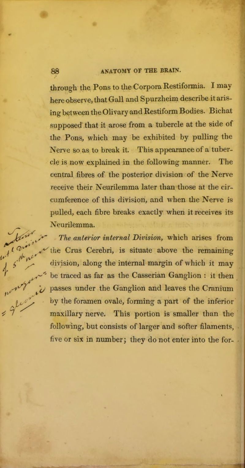 through the Pons to the Corpora Restifonnia. I may here observ e, that Gall and Spurzheim describe it aris- ing between the Olivary and Restiform Bodies. Bichat supposed that it arose from a tubercle at the side of the Pons, which may be exhibited by pulling the Nerve so as to break it. This appearance of a tuber- cle is now explained in the following manner. The central fibres of the posterior division of the Nerve receive their Neurilemma later than those at the cir- cumference of this division, and when the Nerve is pulled, each fibre breaks exactly when it receives its Neurilemma. ^^^J^^ (interior internal Division, which arises from j^L^' {he Crus Cerebri, is situate above the remaining J division, along the internal margin of which it may ' ^y-' be traced as far as the Casserian Ganglion : it then ^1/ passes under the Ganglion and leaves the Cranium I4. ^ foramen ovale, forming a part of the inferior ^ 7 maxillary nerve. This portion is smaller than the following, but consists of larger and softer filaments, five or sit in number; they do not enter into the for-