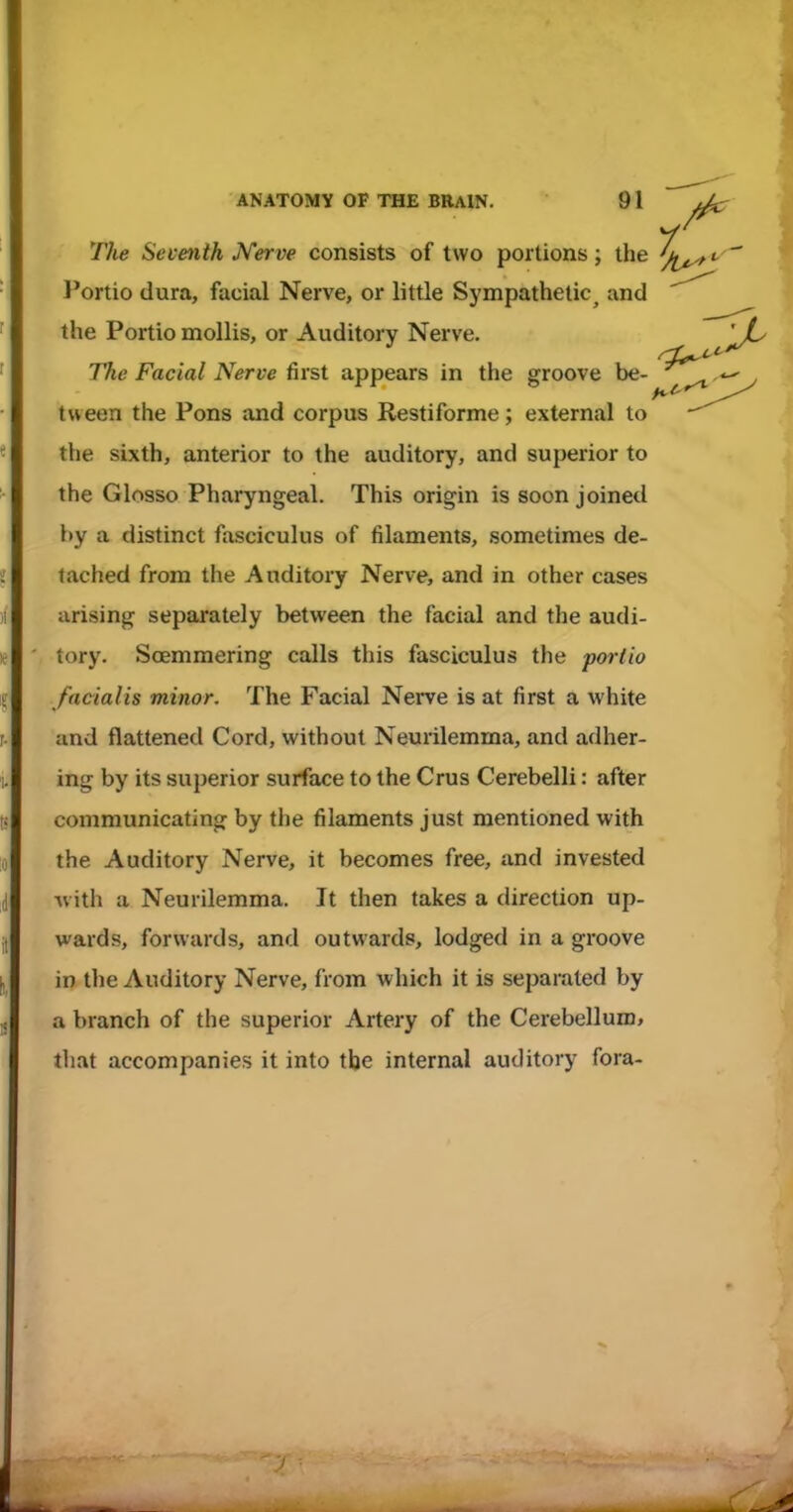 The Seventh Kerve consists of two portions; the l*ortio dura, facial Nerve, or little Sympathetic^ and the Portio mollis, or Auditory Nerve. The Facial Nerve first appears in the groove be- tvveen the Pons and corpus Restiforme; external to the sixth, anterior to the auditory, and superior to the Glosso Pharyngeal. This origin is soon joined i)y a distinct fasciculus of filaments, sometimes de- tached from the Auditory Nerve, and in other cases arising separately between the facial and the audi- tory. Soemmering calls this fasciculus the portio facialis minor. The Facial Nerve is at first a white and flattened Cord, without Neurilemma, and adher- ing by its superior surface to the Crus Cerebelli: after communicating by the filaments just mentioned with the Auditory Nerve, it becomes free, and invested ■with a Neurilemma. It then takes a direction up- wards, forwards, and outwards, lodged in a groove in tlie Auditory Nerve, from which it is separated by a branch of the superior Artery of the Cerebellum, that accompanies it into the internal auditory fora-