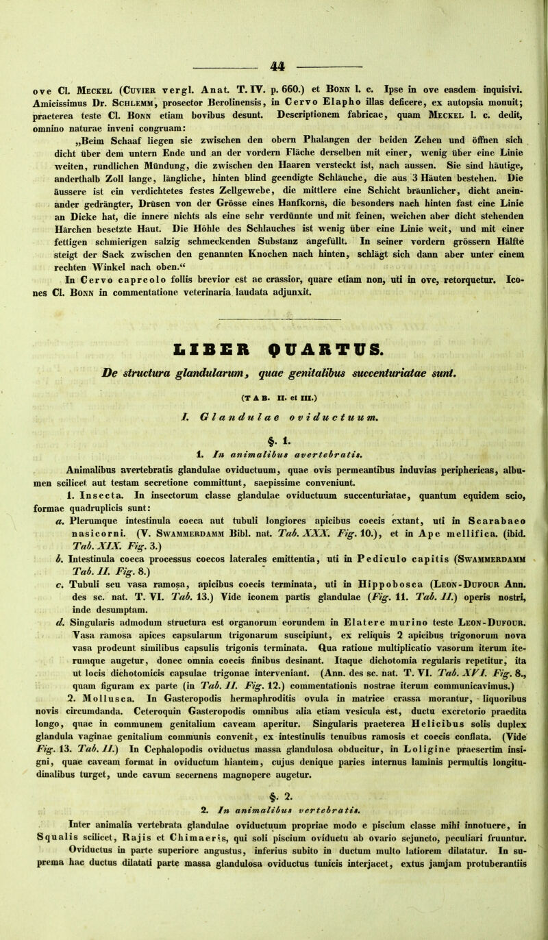 ove CI. Meckel (Cuvier vergi. Anat. T. IV. p. 660.) et Bonn 1. c. Ipse in ove easdem inquisivi. Amicissimus Dr. Schlemm’, prosector Berolinensis, in Cervo Elapho illas deficere, ex autopsia monuit; praeterea teste Cl. Bonn etiam bovibus desunt. Descriptionem fabricae, quam Meckel 1. c. dedit, omnino naturae inveni congruam: „Beim Schaaf liegen sie zwischen den obern Phalangen der beiden Zeheu und offiien sich dicht iiber dem untern Ende und an der vordern Flache derselben mit einer, wenig uber eine Linie weiten, rundlichen Miindung, die zwischen den Haaren versteckt ist, nach aussen. Sie sind hautige, anderthalb Zoll lange, langliche, hinten blind geendigte Schlauche, die aus 3 Hauten bestehen. Die aussere ist ein verdichtetes festes Zellgewebe, die mittlere eine Schicht braunlicher, dicht anein- ander gedrangter, Driisen von der Grosse eines Hanfkorns, die besonders nach hinten fast eine Linie an Dicke hat, die innere nichts ais eine sehr verdiinnte und mit feinen, weichen aber dicht stehenden Harchen besetzte Haut. Die Hohle des Schlauches ist wenig uber eine Linie weit, und mit einer fettigen schmierigen salzig schmeckenden Substanz angefullt. In seiner vordern grossern Halfte steigt der Sack zwischen den genannten Enochen nach hinten, schlagt sich dann aber unter einem rechten Winkel nach oben.“ In Cervo capreolo follis brevior est ac crassior, quare etiam non, uti in ove, retorquetor. Ico- nes Cl. Bonn in commentatione veterinaria laudata adjunxit. LIBER 9VARTUS. De structura glandularum y quae genitalibus mccenturiatae sunt. (T A B. II. et III.) ' I. Glandulae oviductuum, §. 1. 1. In animalibus avertebratis. Animalibus avertebratis glandulae oviductuum, quae ovis permeantibus induvias periphericas, albu- men scilicet aut testam secretione committunt, saepissime conveniunt. 1. Insecta. In insectorum classe glandulae oviductuum succenturiatae, quantum equidem scio, formae quadruplicis sunt: «. Plerumque intestinula coeca aut tubuli longiores apicibus coecis extant, uti in Scarabaeo nasicorni. (V. Swammerdamm Bibi. nat. Tab. XXX, et in Ape mellifica, (ibid. Tab. XIX. Fig. 3.) b. Intestinula coeca processus coecos laterales emittentia, uti in Pediculo capitis (Swammerdamm Tab. II. Fig. 8.) c. Tubuli seu vasa ramosa, apicibus coecis terminata, uti in Hippobosca (Leon-Dufour Ann. des sc. nat. T. VI. Tab. 13.) Vide iconem partis glandulae {Fig. 11. Tab. II.') operis nostri, inde desumptam. d. Singularis admodum structura est organorum eorundem in Elater e murino teste Leon-Dufour. Vasa ramosa apices capsularum trigonarum suscipiunt, ex reliquis 2 apicibus trigonorum nova vasa prodeunt similibus capsulis trigonis terminata. Qua ratione multiplicatio vasorum iterum ite- rumque augetur, donec omnia coecis finibus desinant. Itaque dichotomia regularis repetitur^ ita ut locis dichotomicis capsulae trigonae interveniant. (Ann. des sc. nat. T. VI. Tab. XVI, Fig. 8., quam figuram ex parte (in Tab. II. Fig. 12.) commentationis nostrae iterum communicavimus.) 2. Mollusca. In Gasteropodis hermaphroditis ovula in matrice crassa morantur, - liquoribus novis circumdanda. Ceteroquin Gasteropodis omnibus alia etiam vesicula est, ductu excretorio praedita longo, quae in communem genitalium caveam aperitur. Singularis praeterea Helicibus solis duplex glandula vaginae genitalium communis convenit, ex intestinulis tenuibus ramosis et coecis confiata. (Vide Fig. i^. Tab. II.) In Cephalopodis oviductus massa glandulosa obducitur, in Loligine praesertim insi- gni, quae caveam format in oviductum hiantem, cujus denique paries internus laminis permultis longitu- dinalibus turget, unde cavum secernens magnopere augetur. §. 2. 2. In animalibus vertebratis. Inter animalia vertebrata glandulae oviductuum propriae modo e piscium classe mihi innotuere, in Squalis scilicet, Rajis et Chimaeris, qui soli piscium oviductu ab ovario sejuncto, peculiari fruuntur. Oviductus in parte superiore angustus, inferius subito in ductum multo latiorem dilatatur. In su- prema hac ductus dilatati parte massa glandulosa oviductus tunicis interjacet, extus jamjam protuberantiis