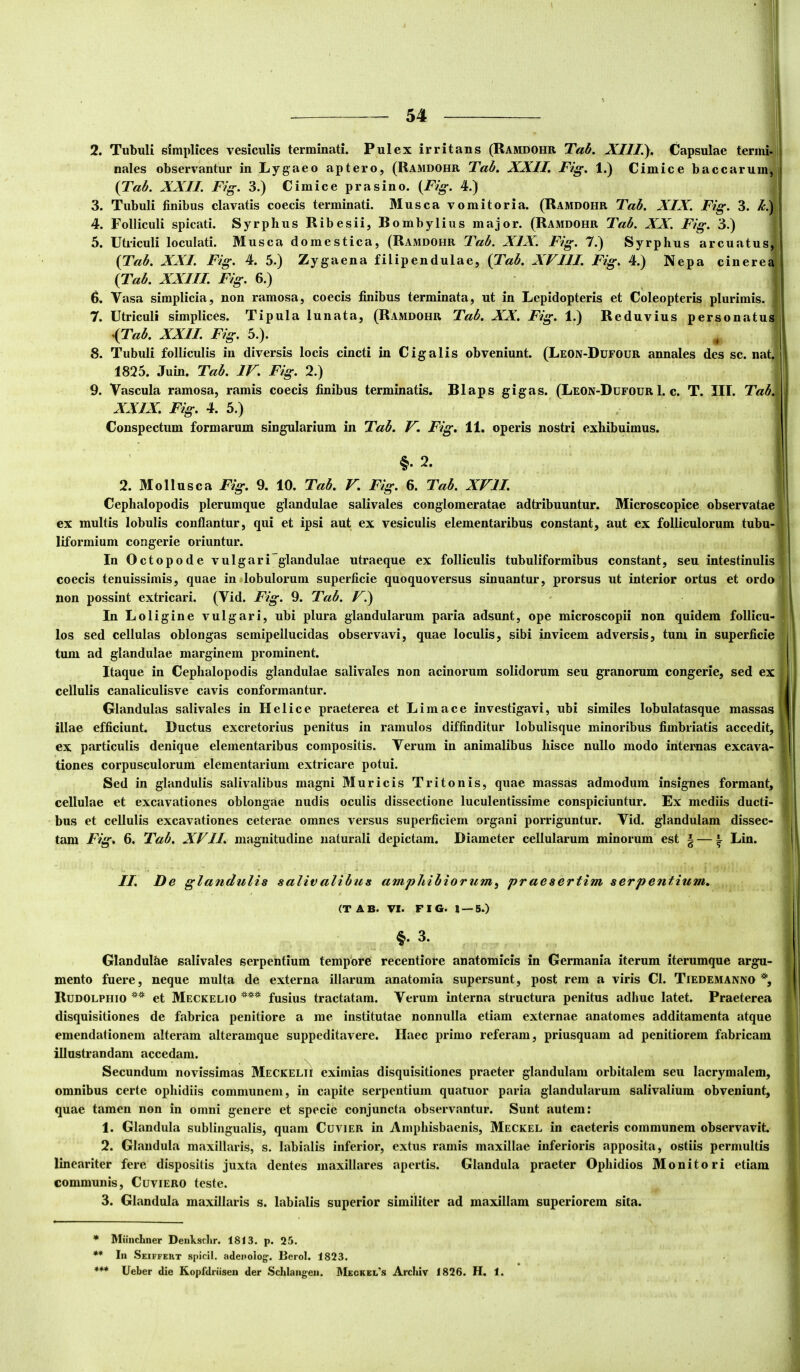 2. Tubuli simplices vesiculis terminati. Pulex irritans (Ramdohr 'Tab. Capsulae termi- nales observantur in Lygaeo aptero, (Ramdohr Tab. XXII. Fig. 1.) Cimice baccarum| {Tab. XXII. Fig. 3.) Cimice prasino. {Fig. 4.) 3. Tubuli finibus clavatis coecis terminati. Musca vomitoria. (Ramdohr Tab. XIX. Fig. 3. I.) 4. Folliculi spicati. Syrphus Ribesii, Bombylius major. (Ramdohr Tab. XX. Fig. 3.) 5. Utriculi loculati. Musca domestica, (Ramdohr Tab. XIX. Fig. 7.) Syrphus arcuatusf {Tab. XXI. Fig. 4. 5.) Zygaena filipendulae, {Tab. XVIII. Fig. 4.) Nepa cinerea {Tab. XXIII. Fig. 6.) 6. Vasa simplicia, non ramosa, coecis finibus terminata, ut in Lepidopteris et Coleopteris plurimis. 7. Utriculi simplices. Tipula lunata, (Ramdohr Tab. XX. Fig. 1.) Reduvius personatus 4Tab. XXII. Fig. 5.). ' ^ 8. Tubuli folliculis in diversis locis cincti in Cigalis obveniunt. (Leon-Dufour annales des sc. natj 1825. Juin. Tab. IV. Fig. 2.) 9. Vascula ramosa, ramis coecis finibus terminatis. Blaps gigas. (Leon-Dufour 1. c. T. III. Tab\ XXIX. Fig. 4. 5.) Conspectum formarum singularium in Tab. V. Fig. 11. operis nostri exhibuimus. §. 2. 2. Mollusca Fig. 9. 10. Tab. V. Fig. 6. Tab. XVII. Cephalopodis plerumque glandulae salivales conglomeratae adtribuuntur. Microscopice observatae] ex multis lobulis conflantur, qui et ipsi aut ex vesiculis elementaribus constant, aut ex folliculorum tubu-j liformium congerie oriuntur. In Octopode vulgari^^glandulae utraeque ex folliculis tubuliformibus constant, seu intestinulisi coecis tenuissimis, quae in lobulorum superficie quoquoversus sinuantur, prorsus ut interior ortus et ordo] non possint extricari. (Vid. Fig. 9. Tab. Vi) In Loligine vulgari, ubi plura glandularum paria adsunt, ope microscopii non quidem follicu-j los sed cellulas oblongas semipellucidas observavi, quae loculis, sibi invicem adversis, tum in superficie tum ad glandulae marginem prominent. Itaque in Cephalopodis glandulae salivales non acinorum solidorum seu granorum congerie, sed ex cellulis canaliculisve cavis conformantur. Glandulas salivales in Helice praeterea et Limace investigavi, ubi similes lobulatasque massas illae efficiunt. Ductus excretorius penitus in ramulos diffinditur lobulisque minoribus fimbriatis accedit, ex particulis denique elementaribus compositis. Verum in animalibus hisce nullo modo internas excava- tiones corpusculorum elementarium extricare potui. Sed in glandulis salivalibus magni Muricis Tritonis, quae massas admodum insignes formant, cellulae et excavationes oblongae nudis oculis dissectione luculentissime conspiciuntur. Ex mediis ducti- bus et cellulis excavationes ceterae omnes versus superficiem organi porriguntur. Vid. glandulam dissec- tam Fig. 6. Tab. XVII. magnitudine naturali depictam. Diameter cellularum minorum est § — i Lin. II. De glandulis salivalibus amphibiorum^ praesertim serpentium. (TAB. VI. FIG. 1 — 5.) §. 3. Glandulhe salivales serpentium tempore recentiore anatomicis in Germania iterum iterumque argu- mento fuere, neque multa de externa illarum anatomia supersunt, post rem a viris CI. Tiedemanno % Rudolphio et Meckelio fusius tractatam. Verum interna structura penitus adhuc latet. Praeterea disquisitiones de fabrica penitiore a me institutae nonnulla etiam externae anatomes additamenta atque emendationem alteram alteramque suppeditavere. Haec primo referam, priusquam ad penitiorem fabricam illustrandam accedam. Secundum novissimas Meckelii eximias disquisitiones praeter glandulam orbitalem seu lacrymalem, omnibus certe ophidiis communem, in capite serpentium quatuor paria glandularum salivalium obveniunt, quae tamen non in omni genere et specie conjuncta observantur. Sunt autem; 1. Glandula sublingualis, quam Cuvier in Amphisbaenis, Meckel in caeteris communem observavit. 2. Glandula maxillaris, s. labialis inferior, extus ramis maxillae inferioris apposita, ostiis permultis lineariter fere dispositis juxta dentes maxillares apertis. Glandula praeter Ophidios Monitori etiam communis, Cuviero teste. 3. Glandula maxillaris s. labialis superior similiter ad maxillam superiorem sita. * Miincliner Deuksclir. 1813. p. 25. ** Iu Seiffert spicii, adeuolog;. Berol. 1823. *** Ueber die Kopfdriiseu der Schlaiigen. AIeckel^s Arcliiv 1826. H. 1.