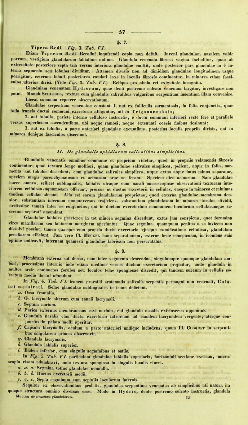 §. 7. Vipera Redi. Fig. 3. Talf. VI. Etiam Viperam Redi Berolini inquirendi copia non defuit. Inveni glandulam nasalem valde parvam, vestigium glandularum labialium nullum. Glandula venenata fibrosa vagina includitur, quae ab extremitate posteriore septa tria versus interiora glandulae emittit, unde posterior pars glandulae in 4 in- terna segmenta seu lobulos dividitur. Attamen divisio non ad dimidiam glandulae longitudinem usque porrigitur, ceterum lobuli posteriores caudati laxe in loculis fibrosis continentur, in minores etiam fasci- culos ulterius divisi. (Vide Fig. 3. Tab. VI.') Reliqua pro nimia rei exiguitate incognita. Glandulam venenatam Hydrorum, quae denti postremo sulcato venenum largitur, investigare non potui. Monuit Schlegel, textura cum glandulis salivalibus vulgaribus serpentium insontium illam convenire. Liceat summam repetere observationum. Glandulae serpentium venenatae constant 1. aut ex folliculis sarmentosis, in folia conjunctis, quae folia truncis ductui communi excretorio affiguntur, uti in Trigonocephalo; 2. aut tubulis, pariete interno celluloso instructis, e ductu communi inferiori recte fere et parallele versus superficiem ascendentibus, ubi neque ramosi, neque extenuati coecis finibus desinunt; 3. aut ex lobulis, a parte anteriori glandulae exeuntibus, posterius loculis propriis divisis, qui in minores denique fasciculos discedunt. §. 8. II. De glandulis ophidiorum salivalibus simplicibus. Glandulis venenatis omnibus commune et proprium videtur, quod in propriis velamentis fibrosis continentur; quod textura longe molliori, quam glandulae salivales simplices, pollent, atque in foda, sar- menta aut tubulos discedunt, cum glandulae salivales simplices, atque extus atque intus minus separatae, speciem magis parenchymatosam et acinosam prae se ferant. Speciem dico acinorum. Nam glandulae haece omnes, scilicet sublingualis, labialis utraque cum nasali microscopicae observationi texturam inte- riorem ceUuloso - squamosam offerunt, prorsus ut ductus excretorii in cellulas, eaeque in minores et minimas tandem cellulas abeant. Alia est earum glandularum proprietas, quod externa glandulae membrana den- sior, substantiam internam quoquoversus trajiciens, substantiam glandulosam in minores forulos dividit, arctissime tamen inter se conjunctos, qui in ductum excretorium communem loculorum cellularumque se- cretum separati amandant. Glandulae labiales praeterea in tot minora segmina discedunt, extus jam conspicua, quot foramina circa maxillarum seu labiorum marginem aperiuntur. Quae segmina, quamquam penitus a se invicem non dissolvi possint, tamen quaeque cum proprio ductu excretorio ejusque ramificatione cellulosa, glandulam peculiarem efficiunt. Jam vero Cl. Meckel hanc separationem, externe bene conspicuam, in iconibus suis optime indicavit, internam quamesti glandulae fabricam non perscrutatus. §. 9. Membrana externa sat densa, cum inter segmenta descendat, singulamque quamque glandulam am- biat, processibus internis inde etiam medium versus ductum excretorium projicitur, unde glandula m multos arcte conjunctos forulos seu loculos telae spongiosae discedit, qui tandem succum in cellulis se- cretum medio ductui affundunt. In Fig. 4. Tab. VI. iconem praestiti systematis salivalis serpentis permagni non venenati. Colu- bri capistrati. Solae glandulae sublinguales in icone deficiunt. a. Ossa frontalia. b. Os lacrymale alterum cum canali lacrymali. c. Septum narium. d. Paries externus membranosus cavi narium, cui glandula nasalis extrinsecus apponitur. e. Glandula nasalis cum ductu excretorio infrorsum ad canalem lacrymalem vergente; uterque con- junctus in palato molli aperitur. f. Capsula lacrymalis, oculum a parte anteriori undique includens, quam 111. Cloouet in serpenti- bus singularem primus observavit. ^ g. Glandula lacrymalis. h. Glandula labialis superior. i. Eadem inferior, cum singulis segminibus et ostiis. In Fig. 5. Tab. VI. particulam glandulae labialis superioris, horizontali sectione excisam, micro- scopio visam adumbravi, unde textura spongiosa in singulis loculis elucet. a. a. a. Segmina totius glandulae nonnulla. b. b. b. Ductus excretorii niedii. c. c. c. Septa segminum cum septulis ^ loculorum internis. Sequitur ex observationibus prolatis, glandulas serpentium venenatas ab simplicibus uti natura ita quoque structura omnino diversas esse. Modo in Hydris, dente postremo sulcato instructis, glandula Muller de structura glandularum. 15