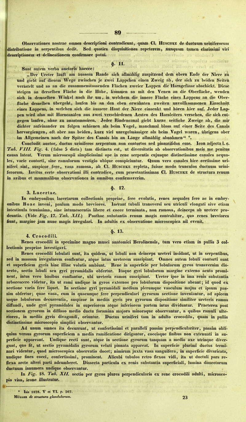 Observationes nostrae omnes descriptioni contradicunt, quam Cl. Huschke de ductuum uriniferorum idistributione in serpentibus dedit. Sed quoties disquisitiones repeterem, nunquam tamen clarissimi viri descriptionem et 1 delmeationem confirmare potui. §. 11. Sunt autem verba auctoris haecce: „Der Ureter lauft am aussern Rande sich allmahli^ zuspitzend dem obern Ende der Niere zu und gieb'*t atif dieseiri Wege zwischen je zwei Liippchen einen Zweig ab, der sich zu beiden Seiten verastelt und so an die zusammenstossenden Flaclien zweier Lappen die Harngefasse abschickt. Diese steigen an flerselben Flaclie in die Hohe, kommen so mit den Venen an die Oberfliiche, wenden sich in deinselben Winkel nach ihr um, in welchem die innere Fliiche eines Lappens an die Ober- flache desselben ubergeht, laufen bis an den eben erwahnten zweiten unvollkommenen Einschnitt eines Lappens, in welchen sich die aussere Haut der Niere einsenkt und horen Jiier auf. Jeder Lap- pen wird also niit Harncunalen aus zwei yerschiedenen Aesten des Harnleiters versehen, die sich ent- gegen laufen, ohne zu anastomosiren. Jeder Rindencanal giebt kurze seitliche Zweige ab, die mir dichter aufeinander zu folgen schienen ais beim Vogel, manchmal bloss auf einer Seite des Canals hervorgiengen, oft aber aus beiden, kurz viel unregelmassiger ais beim Vogel waren, iibrigens aber im Allgemeinen nach der Spitze des Canals hin an Lange allmahlig abnahmen “ Concludit auctor, ductus uriniferos serpentum non contortos sed pinnatifidos esse. Icon adjecta 1. c. Tab. VIII. Fig. 4. (false 5 dicta) tam distincta est, ut diversitatis ab observationibus meis me penitus causa lateat. Verum microscopii simplicissimi ope in rene serpentis cujusque distinctissime canales aequa- les, varie contorti, sine ramulorum vestigio ubique conspiciuntur. Quum vero canales hice certissime uri- niferi sint, suspicor; fere, vasa ramosa, ab Cl. Huschke repleta, fuisse modo trunculos ductuum urini- ferorum. Invitus certe observationi illi contradico, cum praestantissimas Cl. Huschke de structura renum in avibus et mammalibus observationes in omnibus confirmaverim. §. 12. 3. Lacertae. In embryonibus lacertarum collectionis propriae, fere evolutis, renes aequales fere ac in embry- onibus Boae inveni, paulum modo breviores. Inerant tubuli transversi seu utriculi elongati sive etiam intestinula tenuissima, sine intumescentia libere et coece terminata, non ramosa, deinceps ab uretere pro- deuntia. (Vide Fig. 17. Tab. A//.) Posthac substantia renum magis contrahitur, quo renes breviores fiunt, margine jam nunc magis irregulari. In adultis ex observatione microscopica nil evenit. §. 13. 4. Crocodili. Renes crocodili in specimine magno musei anatomici Berolinensis, tum vero etiam in pullis 3 col- lectionis propriae investigavi. Renes crocodili lobulati sunt, ita quidem, ut lobuli non deinceps ureteri insidant, ut in serpentibus, sed in massam irregularem conflentur, atque intus ureterem suscipiant. Omnes autem lobuli contorti sunt et superficiem gyris hinc illinc volutis ambiunt. Rene in superficie per lobulorum gyros transversim dis- secto, sectio lobuli seu gyri pyramidalis obfertur. Itaque gyri lobulorum margine externo acuto promi- nent, intus vero basibus conflantur, ubi ureteris ramos suscipiunt. Ureter ipse in ima renis substantia arborescere-videtur, ita ut rami undique in gyros externos pro lobulorum dispositione abeant; id quod ex sectione varia fere liquet. In sectione gyri pyramidali medium plerumque vasculum majus et ipsum pas- sim obfertur; quae vasa, cum in quacunque fere perpendiculari gyrorum sectione inveniantur, ad apicem usque lobulorum decurrentia, suspicor in mediis gyris pro gyrorum dispositione similiter ureteris ramos diflundi, unde gyri pyramidales in superiorem atque inferiorem partem intus dividuntur. Praeterea post sectionem gyrorum in diffisso medio ductu foramina majora minoraque observantur, a quibus ramuli ulte- riores, in mediis gyris divagandi, oriuntur. Ductus uriniferi tam in adulto crocodilo, quam in pullis distinctissime microscopio simplici observantur. Ad unum omnes ita decurrunt, ut confertissimi et paralleli passim perpendiculariter, passim obli- quius versus gyrorum superficiem a media ramificatione dirigantur, coecisque finibus non extenuati in su- perficie appareant. Undique recti sunt, atque in sectione gyrorum tanquam a medio axe utrinque diver- gunt, quo fit, ut sectio pyramidalis gyrorum veluti pinnata appareat. In superficie plurimi ductus termi- nari videntur, quod microscopica observatio docet; nimirum juxta vasa sanguifera, in superficie divaricata, undique fines coeci, confertissimi, prominent. Alicubi tubulos retro flexos vidi, ita ut ductuli pars re- flexa arcte alteri parti adcumberet. Dissecta particula ex renis substantia superficiali, lumina dissectorum ductuum innumera undique observantur. In Fig. 18. Tab. XII. sectio per gyros plures perpendicularis ex rene crocodili adulti, microsco- pio visa, icone illustratur. * Isis 1828. V et VI. p. 567. Mulleh de structura glandularum. 23