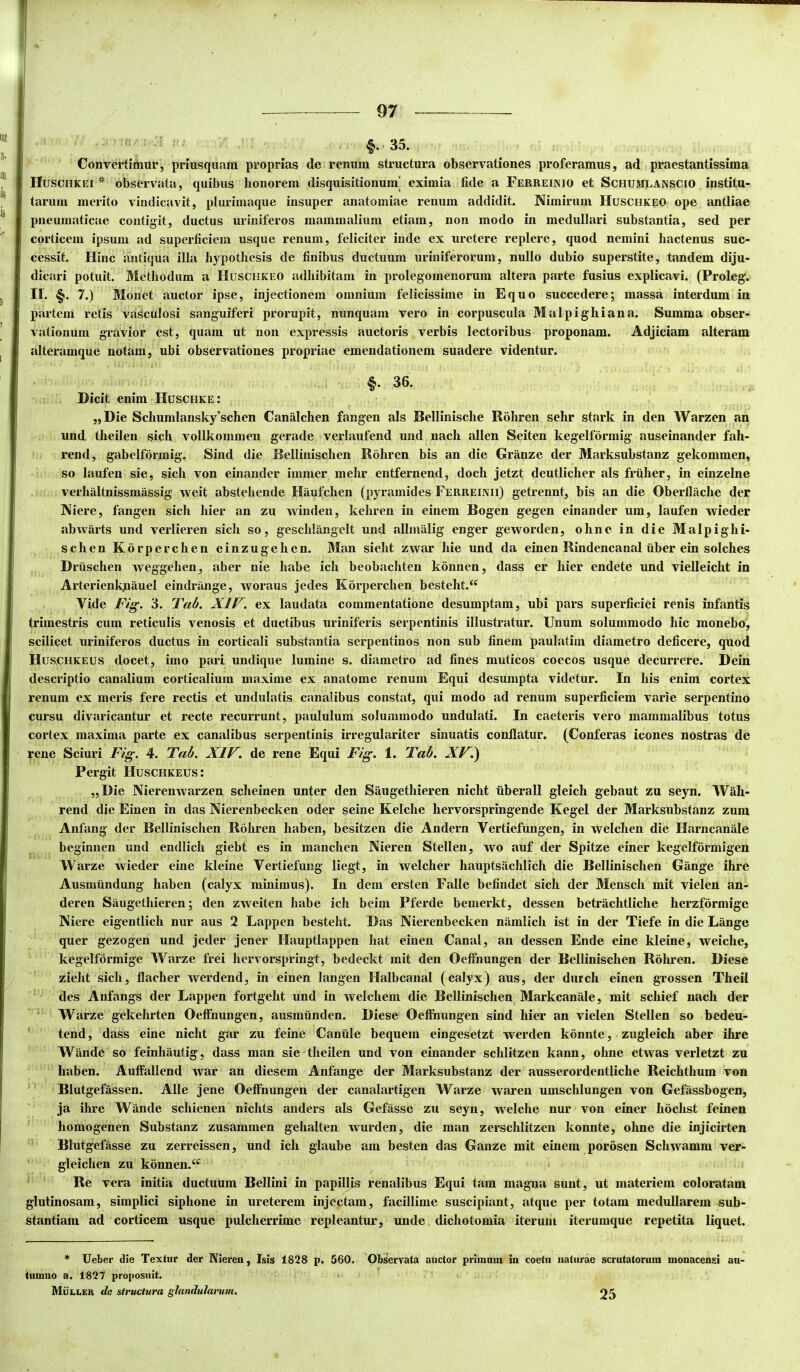 f. 35. Convertimur, priusquam proprias de renum structura observationes proferamus, ad praestantissima Huschkei observata, quibus honorem disquisitionum’ eximia fide a Ferreinio et Schumlanscio institu- tarum merito vindicavit, plurimaque insuper anatomiae renum addidit. Nimirum Huschkeo ope antliae pneumaticae contigit, ductus Uriniferos mammalium etiam, non modo in medullari substantia, sed per corticem ipsum ad superficiem usque renum, feliciter inde ex uretere replere, quod nemini hactenus suc- cessit. Hinc antiqua illa hypothesis de finibus ductuum uriniferorum, nullo dubio superstite, tandem diju- dicari potuit. Methodum a Huschkeo adhibitam in prolegomenorum altera parte fusius explicavi. (Proleg. II. §. 7.) Monet auctor ipse, injectionem omnium felicissime in Equo succedere; massa interdum in partem retis vasculosi sanguiferi prorupit, nunquam vero in corpuscula Malpighiana. Summa obser- vationum gravior est, quam ut non expressis auctoris verbis lectoribus proponam. Adjiciam alteram alteramque notam, ubi observationes propriae emendationem suadere videntur. j §. 36. Dicit enim Huschke: „Die Schumlansky’schen Canalchen fangen ais Bellinische Rohren sehr stark in den Warzen an und theilen sich vollkommen gerade verlaufend und nach allen Seiten kegelformig auseinander fah- rend, gabelformig. Sind die Bellinischen Rohren bis an die Granze der Marksubstanz gekommen, so laufen sie, sich von einander imrner mehr entfernend, doch jetzt deutlicher ais fruher, in einzelne verhaltnissraassig weit abstehende Hiiufchen (pyramides Ferreinii) getrennt, bis an die Oberllache der Niere, fangen sich hier an zu windeii, kehren in einem Bogen gegen einander um, laufen wieder abwarts und verlieren sich so, geschlangelt und allmalig enger geworden, ohne in die Malpighi- schen Kbrperchen einzugehen. Man sieht zwar hie und da einen Rindencanal uber ein solches Driischen weggehen, aber nie habe ich beobachten konnen, dass er hier endete und vielleicht in Arterienk.niiuel eindrilnge, woraus jedes Korperchen besteht.“ Vide Fig. 3. Tab. XIV. ex laudata commentatione desumptam, ubi pars superficiei renis infantis trimestris cum reticulis venosis et ductibus uriniferis serpentinis illustratur. Uiium solummodo hic monebo, scilicet uriniferos ductus in corticali substantia serpentinos non sub finem paulatiin diametro deficere, quod Huschkeus docet, imo pari undique lumine s. diametro ad fines muticos coecos usque decurrere. Dein descriptio canalium corticalium maxime ex anatome renum Equi desumpta videtur. In his enim cortex renum ex meris fere rectis et undulatis canalibus constat, qui modo ad renum superficiem varie serpentino cursu divaricantur et recte recurrunt, paululum solummodo undulati. In caeteris vero mammalibus totus cortex maxima parte ex canalibus serpentinis irregulariter sinuatis conflatur. (Conferas icones nostras de rene Sciuri Fig. 4. Fab. XIV. de rene Equi Fig. 1. Tab. XVi) Pergit Huschkeus: „Die Nierenwarzen scheinen unter den Saugethieren nicht liberali gleich gebaut zu seyn. Wah- rend die Einen in das Nierenbecken oder seine Kelche hervorspringende Kegel der Marksubstanz zum Anfang der Bellinischen Rohren haben, besitzen die Andern Vertiefungen, in welchen die Harncanale beginnen und endlich giebt es in manchen Nieren Stellen, wo auf der Spitze einer kegelformigen Warze wieder eine kleine Vertiefung liegt, in welcher haiiptsachlich die Bellinischen Gange ihre Ausmiindung haben (calyx minimus). In dem ersten Falle befindet sich der Mensch mit vielen an- deren Saugethieren; den zweiten habe ich beim Pferde bemerkt, dessen betriichtliche herzformige Niere eigentlich nur aus 2 Lappen besteht. Das Nierenbecken niimlich ist in der Tiefe in die Lange quer gezogen und jeder jener Hauptlappen hat einen Canal, an dessen Ende eine kleine, weiche, kegelformige Warze frei hervorspringt, bedeckt mit den Oeffhungen der Bellinischen Rohren. Diese zieht sich, flacher werdend, in einen langen Halbcanal (calyx) aus, der durch einen grossen Theil des Anfangs der Lappen fortgeht und in welchem die Bellinischen Markcanale, mit schief nach der Warze gekehrten Oeffhungen, ausmiinden. Diese Oeffnungen sind hier an vielen Stellen so bedeu- tend, dass eine nicht gar zu feine Canule bequem eingesetzt werden konnte, zugleich aber ihre Wande so feinhiiutig, dass man sie theilen und von einander schlitzen kann, ohne etwas verletzt zu haben. Auffallend war an diesem Anfange der Marksubstanz der ausserordentliche Reichthum von Blutgefassen. Alie jene Oeffnungen der canalartigen Warze waren umschlungen von Gefassbogen, ja ihre Wande schienen nichts anders ais Gefasse zu seyn, weiche nur von einer hochst feinen homogenen Substanz zusammen gehalten wurden, die man zerschlitzen konnte, ohne die injicirten Blutgefasse zu zerreissen, und ich giaube am besten das Ganze mit einem porosen Schwamm ver- gleichen zu konnen.^^ Re vera initia ductuum Bellini in papillis renalibus Equi tam magna sunt, ut materiem coloratam glutinosam, simplici siphone in ureterem injectam, facillime suscipiant, atque per totam medullarem sub- stantiam ad corticem usque pulcherrime repleantur, unde dichotomia iterum iterumque repetita liquet. * Ueber die Textiir der Nieren, Isis 1828 p. 560. (umuo a. 1827 proposuit. Mui.i.er do structura glandularum. Obi^ervata auctor primum in coetu naturae scrutatorum monacensi an- f 25