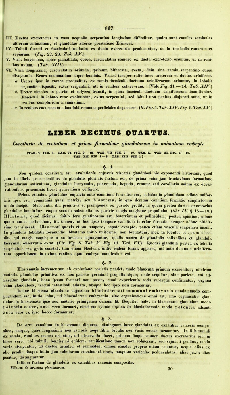 III. Ductus excretorius in vasa aequalia serpentina longissima diffinditur, quales sunt canales seminales altiorum animalium, et glandulae alterae prostaticae Erinacei. IV. Tubuli furcati et fasciculati radiatim ex ductu excretorio producuntur, ut in testiculis ranarum et sepiarum. {Fig. 22. 23. Tab. XF.) V. Vasa longissima, apice pinnatifida, coeca, fasciculatim ramoso ex ductu excretorio oriuntur, ut in reni- bus avium. {Tab. XIII.) VI. Vasa longissima, fasciculatim oriunda, primum bifurcata, recta, dein sine ramis serpentino cursu divaganda. Renes mammalium atque hominis. Variat insuper ratio inter ureterem et ductus uriniferos. a. Ureter ipse in ramos producitur, ex ramis fasciculi ductuum uriniferorum oriuntur, in lobulis sejunctis dispositi, extus serpentini, uti in renibus cetaceorum. (Vide 11 — 14. Tab. XIV^ . b. Ureter simplex in pelvim et calyces transit, in quos fasciculi ductuum uriniferorum immittuntur. Fasciculi in lobato rene evolvuntur, extus serpentini, sed lobuli non penitus disjuncti sunt, ut in renibus complurium mammalium. c. In renibus caeterorum etiam lobi renum superficiales disparuere. (V.FV^.4. Tab.XlV.Fig. 1. Tab. XV.) LIBER DECIDIUS QUARTUS. Corollaria de evolutione et prima formatione glandularum in animalium embryis. (TAB. V. FIG. 8. TAB. VI. FIG. 9 — 12. TAB. VII. FIG. 7 — 10. TAB. X. TAB. XI. FIG. 1 — 10. TAB. XII. FIG. 1 — 8. TAB. XIII. FIG. 1.) §. 1. Non quidem consilium est, evolutionis cujusvis visceris glandulosi hic exponendi historiam, quod jam in libris praecedentibus de glandulis plurimis factum est; de prima enim jam tractavimus formatione glandularum salivalium, glandulae lacrymalis, pancreatis, hepatis, renum; sed corollaria solum ex obser- vationibus praemissis liceat generaliora colligere. Prima stamina glandulae cujusvis ante canalium formationem, substantia glandulosa adhuc unifor- mis ipsa est, communis quasi matrix, seu bl as terna, in quo demum canalium formatio simplicissimo modo incipit. Substantia illa primitiva s. primigenea ex pariete prodit, in quem postea ductus excretorius glandulae immittitur, eaquc secreta substantia ex pariete magis magisque propullulat. {libr.IX. §.15—18.) Rlast e 111 a, quod dicimus, initio fere gelatinosum est, tenerrimum et pellucidum, postea spissius, minus quam antea pellucidum, ita tamen, ut hoc ipso tempore canalium interior formatio semper adhuc nitidis- sime transluceat. Diastemati quovis etiam tempore, hepate excepto, pauca etiam vascula sanguinea insunt. In glandulis lobulatis formandis, blastema initio uniforme, non lobulatum, mox in lobulos et ipsum disce- dit, qiii magis magisque a se invicem sejunguntur, qualis nostra de glandulis salivalibus et glandula lacryiiiali observatio extat. (Cfr. Fig. 8. Tab. V. Fig. 11. Tab. VI.) Quodsi glandula postea ex lobulis serpentinis seu gyris constat, tum etiam blastema initio eadem forma apparet, uti ante ductuum urinifero- ruiu apparitionem in avium renibus apud embrya manifestum est. §. 2. Blastematis incrementum ab evolutione parietis pendet, unde blastema primum excernitur; nimirum materia glandulae primitiva ex hoc pariete germinat propullulatque; unde sequitur, sine pariete, cui ad- nascitur glandula, hanc ipsam formari non posse, quod experientia satis superque confirmatur; organa enim glandulosa, tractui intestinali adnata, absque hoc ipso non formantur. Itaque blastema glandulae cujusdam blastodermati communi embryonis quodammodo com- parandum est; initio enim, uti blastoderma embryonis, sine organisatione omni est, imo organisatio glan- dulae in blastemate ipso seu materie primigenea demum fit. Sequitur inde, in blastemate glandulam modo potentia adesse, actu vero formari, sicut embryonis organa in blastodermate modo potentia adsunt, actu vero ex ipso hocce formantur. §.3. De ortu canalium in blastemate dicturus, distinguam inter glandulas ex canalibus ramosis compo- sitas, easque, quae longissimis non ramosis aequalibus tubulis seu vasis coecis formantur. In illis ramuli ex ramis, rami ex trunco oriuntur, uti observatio docet, primum itaque stamen ductus excretorius est; in hisce vero, ubi tubuli, longissimi quidem, ramificatione tamen non cohaerent, sed sejuncti penitus, modo varie divagantur, uti ductus uriniferi et seminales, omnes canales proprie etiam oriuntur, neque alius ex alio prodit; itaque initio jam tubulorum stamina et fines, tanquam vesiculae pedunculatae, aliae juxia alias positae, distinguuntur. Initium faciam de glandulis ex canalibus ramosis compositis. 30