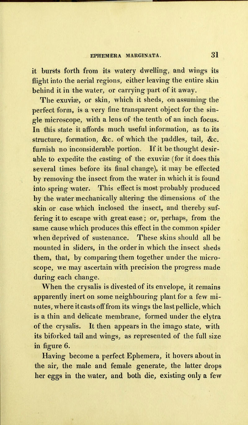 it bursts forth from its watery dwelling, and wings its flight into the aerial regions, either leaving the entire skin behind it in the water, or carrying part of it away. The exuviae, or skin, which it sheds, on assuming the perfect form, is a very fine transparent object for the sin- gle microscope, with a lens of the tenth of an inch focus. In this state it affords much useful information, as to its structure, formation, &c. of which the paddles, tail, &c. furnish no inconsiderable portion. If it be thought desir- able to expedite the casting of the exuviae (for it does this several times before its final change), it may be effected by removing the insect from the water in which it is found into spring water. This effect is most probably produced by the water mechanically altering the dimensions of the skin or case which inclosed the insect, and thereby suf- fering it to escape with great ease; or, perhaps, from the same cause which produces this effect in the common spider when deprived of sustenance. These skins should all be mounted in sliders, in the order in which the insect sheds them, that, by comparing them together under the micro- scope, we may ascertain with precision the progress made during each change. When the crysalis is divested of its envelope, it remains apparently inert on some neighbouring plant for a few mi- nutes, where it casts off from its wings the last pellicle, which is a thin and delicate membrane, formed under the elytra of the crysalis. It then appears in the imago state, with its biforked tail and wings, as represented of the full size in figure 6. Having become a perfect Ephemera, it hovers about in the air, the male and female generate, the latter drops her eggs in the water, and both die, existing only a few