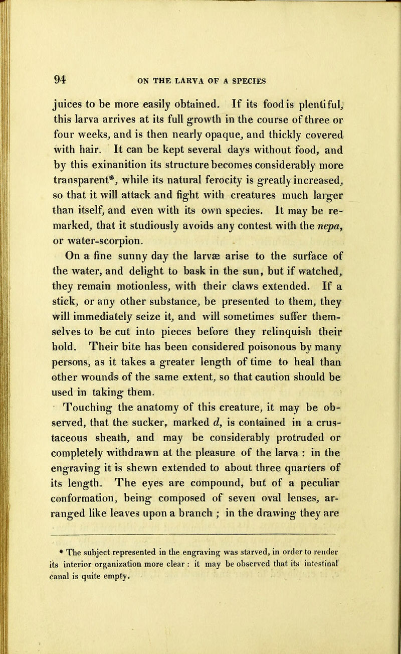 juices to be more easily obtained. If its food is plentiful,, this larva arrives at its full growth in the course of three or four weeks, and is then nearly opaque, and thickly covered with hair. It can be kept several days without food, and by this exinanition its structure becomes considerably more transparent*, while its natural ferocity is greatly increased, so that it will attack and fight with creatures much larger than itself, and even with its own species. It may be re- marked, that it studiously avoids any contest with the nepa, or water-scorpion. On a fine sunny day the larvae arise to the surface of the water, and delight to bask in the sun, but if watched, they remain motionless, with their claws extended. If a stick, or any other substance, be presented to them, they will immediately seize it, and will sometimes suffer them- selves to be cut into pieces before they relinquish their hold. Their bite has been considered poisonous by many persons, as it takes a greater length of time to heal than other wounds of the same extent, so that caution should be used in taking them. Touching the anatomy of this creature, it may be ob- served, that the sucker, marked d, is contained in a crus- taceous sheath, and may be considerably protruded or completely withdrawn at the pleasure of the larva : in the engraving it is shewn extended to about three quarters of its length. The eyes are compound, but of a peculiar conformation, being composed of seven oval lenses, ar- ranged like leaves upon a branch ; in the drawing they are * The subject represented in the engraving was starved, in order to render its interior organization more clear : it may be observed that its intestinal canal is quite empty.