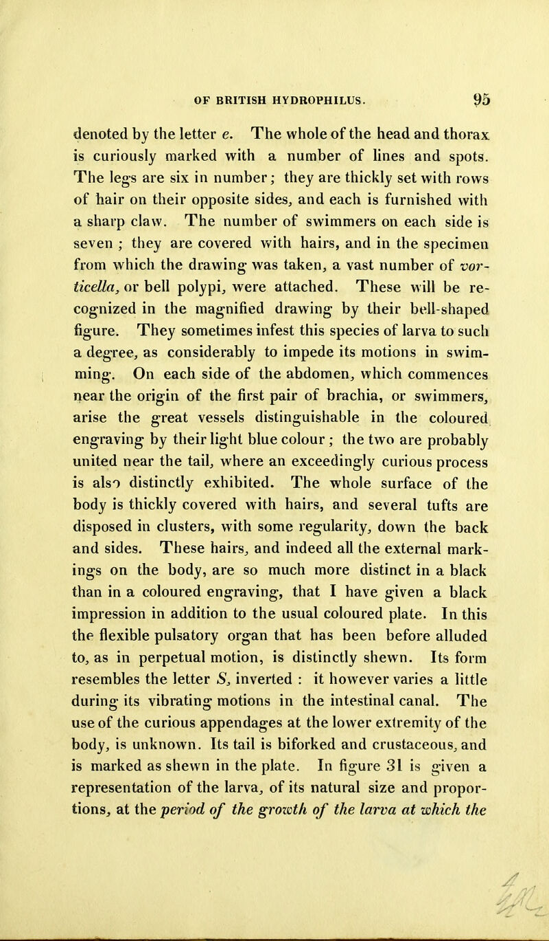 denoted by the letter e. The whole of the head and thorax is curiously marked with a number of lines and spots. The legs are six in number; they are thickly set with rows of hair on their opposite sides, and each is furnished with a sharp claw. The number of swimmers on each side is seven ; they are covered with hairs, and in the specimen from which the drawing was taken, a vast number of vor- ticella, or bell polypi, were attached. These will be re- cognized in the magnified drawing by their bell-shaped figure. They sometimes infest this species of larva to such a degree, as considerably to impede its motions in swim- ming. On each side of the abdomen, which commences near the origin of the first pair of brachia, or swimmers, arise the great vessels distinguishable in the coloured engraving by their light blue colour ; the two are probably united near the tail, where an exceedingly curious process is also distinctly exhibited. The whole surface of the body is thickly covered with hairs, and several tufts are disposed in clusters, with some regularity, down the back and sides. These hairs, and indeed all the external mark- ings on the body, are so much more distinct in a black than in a coloured engraving, that I have given a black impression in addition to the usual coloured plate. In this the flexible pulsatory organ that has been before alluded to, as in perpetual motion, is distinctly shewn. Its form resembles the letter S, inverted : it however varies a little during its vibrating motions in the intestinal canal. The use of the curious appendages at the lower extremity of the body, is unknown. Its tail is biforked and crustaceous, and is marked as shewn in the plate. In figure 31 is given a representation of the larva, of its natural size and propor- tions, at the period of the growth of the larva at which the