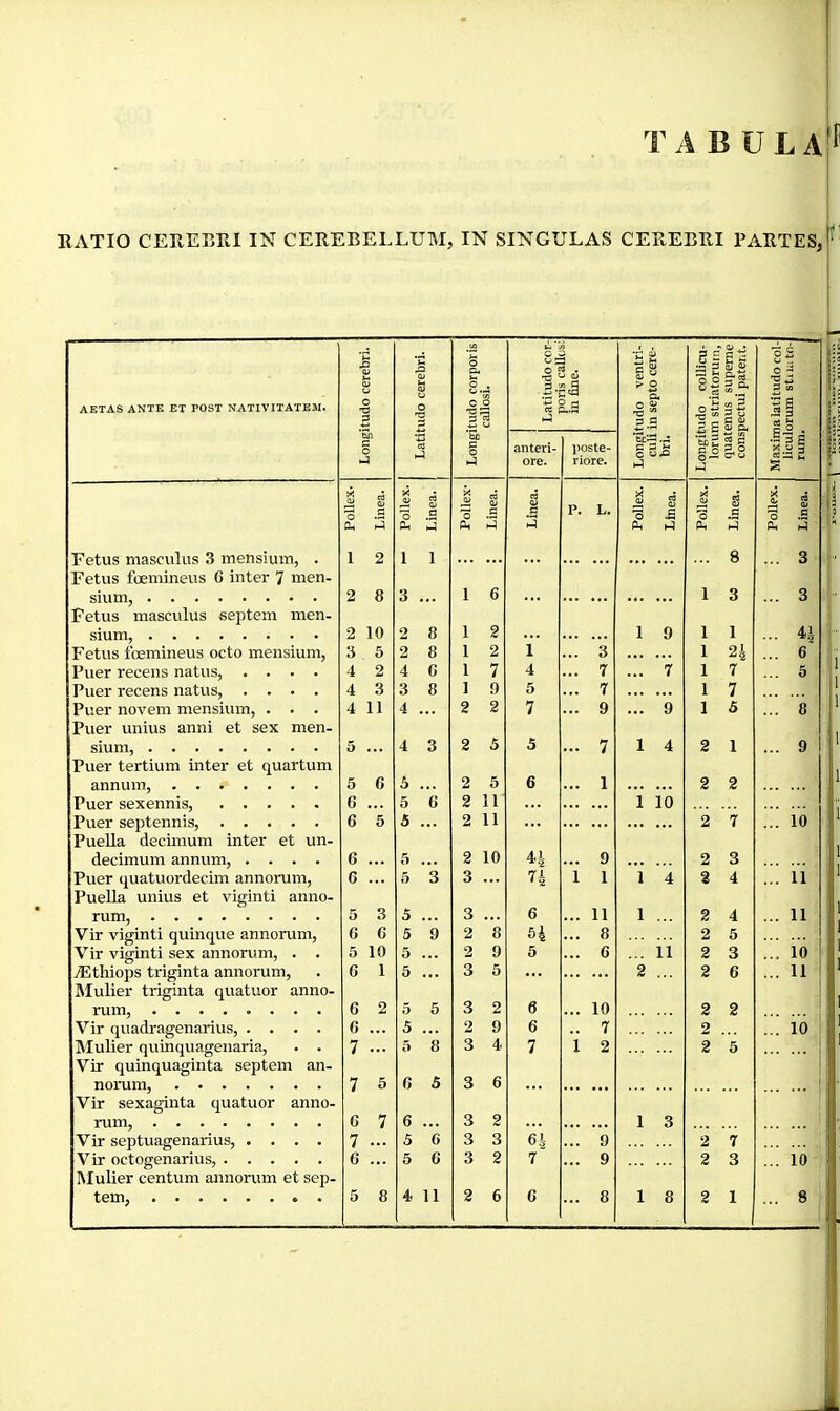 TA B ÜLaII' EATIO CEEEBEI IN CEREBELLUM, IN SINGULAS CEBEBBI PABTES, AETAS ANTE ET POST NATIVITATEM. Fetus masculus 3 mensium, . Fetus fœnüneus 6 inter 7 men- sium, Fetus masculus septem men- sium, Fetus fœmineus octo mensium. Puer recens natus, .... Puer recens natus, .... Puer novem mensium, . . . Puer unius anni et sex men- sium, Puer tertium inter et quartum annum, Puer sexennis, Puer septennis, PueUa decimum inter et un- decimum annum, .... Puer quatuordecim annorum, PueUa unius et viginti anno- rum, Vir viginti quinque annorum, Vir viginti sex annorum, . . Æthiops triginta annorum, Mulier triginta quatuor anno- rum, Vir quadragenarius, .... Mulier quinquagenaria, . . Vir quinquaginta septem an- noiiim, Vir sexaginta quatuor anno- rum, Vir septuagenarius, .... Vir octogenarius, Mulier centum annorum et sep- O O O Æ O ti Qi O 0 01 C ^ 3-Hâ '.5 O PI ) ventri- epto cere- il Ch >1 O O 0» • C i o3 4) S-rt w ^ 3 ■5S 01 ^ 0 ^ 'O .,2 3 M 3 3 ns 3 1 «s 'C « p.3 ns “ B £ 3 ü 3 eu ss. bf) C O S b£ a O nJ anteri- ore. poste- riore. ‘ScS .-5 S 3 M C hi m2 §5 J g-S 1 Maxin licul rum. i i ■3 .s X 0) ai S o câ O c 0) .3 P. L. â i O £ 0) è è i 3 .£ Dh ÛH hi Ph hi Oh ÇU 1 2 1 1 8 ... 3 2 8 3 ... 1 6 ... ... 1 3 ... 3 2 10 2 8 1 2 1 9 1 1 ... 41 3 5 2 8 1 2 i 3 1 24 ... 6 4 2 4 G 1 7 4 7 ... 7 1 7 ... 5 4 3 3 8 1 9 5 7 1 7 4 11 4 2 2 7 9 ... 9 1 5 ... 8 5 ... 4 3 2 5 5 7 1 4 2 1 ... 9 5 6 2 5 6 1 2 2 6 ... 5 G 2 11 1 10 6 5 S 2 11 2 7 ... 10 6 ... 6 2 10 4i 9 2 3 6 ... 5 3 3 74 1 1 1 4 2 4 ... il 5 3 5 3 6 11 1 ... 2 4 ... 11 G 6 5 9 2 8 54 8 2 5 5 10 5 2 9 5 C ... li 2 3 ... io 6 1 5 ... 3 5 2 ... 2 6 ... 11 6 2 5 5 3 2 6 10 2 2 6 ... 5 2 9 6 7 2 ... 10 7 ... 5 8 3 4 7 i 2 2 5 7 5 G S 3 6 ... G 7 6 3 2 1 3 7 ... 5 G 3 3 64 9 2 7 G ... 5 G 3 2 7 9 2 3 ... 10