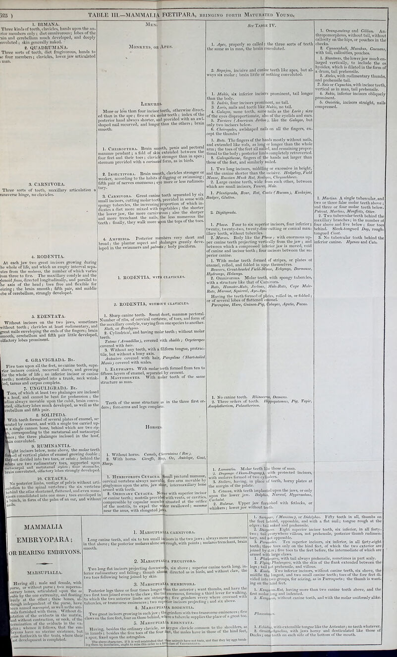 525 ) TAULE III.—MAMMALIA FŒTIPARA, bringing forth Maturated Young. 1. lUWANA. Tlnve kinds of teeth, clftvicles, hmuls upon the nn- rior memhers only ; diet onmivoiinis ; lobes of the •nin and çoi-elioUvim much ilevcloped, and deeply luvolutotl ; skin genovally nnketl. • g. QUADIUTSIANA. Three sorts of teeth, diet fingivovous, hands to le four members; clavicles, lower jaw avticulatetl 3. CAKNIVOTIA. Three sorts of teeth, maxillary articulation ansverse hinge, no clavicles. 4. UODENTIA. At each jaw two gi-eat incisors growing during he whole of life, and which an empty inteiwal sepa- ates from the motarcs, the number of which varies rom three to five. Tlie maxillary condyle and the denoid fossa, dii'ected longitudinally, and parallel to he axis of the head ; toes free and flexible for eizing; the brain smooth; fifth pair, and middle obe of cerebellum, strongly developed. 5. EBENTATA. Without incisors on the two jaws, sometimes without teeth ; clavicles at least rudimentary, and great nails enveloping the ends of the fingers ; brain smooth, cerebellum and fifth pair little developed, olfactory lobes prominent. Monkeys, or Apes. Lbmurbs. Moro or less than four incisor teeth, otherwise direct- ed than in the ape ; five or six molar teeth ; index of the posterior hand always shorter, and provided with an awl- siiajied nail recurved, and longer than the othera ; braui smooth. 1. Cheiroptera. Brain smooth, penis and pectoral mammie pendant ; a fold of skin extended between the four feet and their toes ; clavicle stronger than in apes ; sternum provided with a carhialed form, as in birds. 2. Insectivora. Brain smooth, clavicles stronger or weaker, according to the habits of digging or swimnung ; fifth pah' of nerves enonnous ; eye more or less rucumen- tavy. 3. Carnivora. Great canine teeth separated by six small incisors, cutting molar teeth, provided in some with spongy tubercles, the increasing proportion of uTiicIi in- dicates a diet more mixed with vegetables ; the shorter the lower jaw, the more carnivorous; also the sharper and more trenchant the naÜs, the less numerous the teeth : finally, they walk more upon the tops of the toes. 4. Aiiphibia. Posterior members very short and broad; the plantar aspect and phalanges greatly deve- loped in the swimmers and pabnda ; body piscuorm. 1. Apes, properly so called; the three sorts of teeth he same as in man, the brain convoluted. 2. Sapajou, incisive and canine teeth like apes, but al- mys sir molar ; brain little or nothing convoluted. 1. Makis, six inferior incisors prominent, tail longer than the body. 2. Indris, four incisors prominent, no taiL 5. Loris, nails and teeth like Mulcts, no tail 4. Guliii/os, same teeth, same nails as the Loris ; size of the eyes disproiiortionate, also of the eyelids and eai-s. 6. Tf/Vriers CAmerican Jerboa), like the Galapos, but only two incisors below. C. Cheirogales, awlsliaped nails on all the fingers, ex- cept the thumbs ? ]. Bats. The fingei-s of the hands mostly without nails, and extended like rods, as long or longer than the whole arm ; the toes of the feet all nnuecl, and remaining propor- tional to the body ; posterior limbs completely retroverted. 2. Galcopithecae, fingers of the hands not larger than tliose of the feet, and similarly nailed. 1. Two long incisors, middling or excessive in height, and the canhie shorter than the,incisive. Hedyehog, Field Mouse, lîussian Musk Rat, Scalopes, Chri/sochlores. 2. Large canine teeth, wide from each other, between which are small incisors, Tanrec, Mole. 1. Plantigrada, Bear, Rat, Coatis (Racoon), Kvtkajcnc, Badger, Glutton. 1. Orang-outang and Gibbon. An- thropomorphous, without tail, without callosity on the hips, or pouches in the cheeks. 2. Cynoccphali, MacaJeas, Guenons. with tail, callosities, pouches. 1. Stantores, the lower jaw much lai'ged vertically, to include the os hyoides, which is dilated in the form of ^ (Inun, tail prehensile. 2. Ateles, with rudimentary thumbs, and prehensile tail. 3. Sais or Capuchin^ with incisor teeth vertical as in man, tail prehensile. 4. Sakis, inferior incisera obliquely prominent. 5. Ouistitis, incisors straight, nails compressed. 1. UODENTIA, WITH clavicles. C. GRAVIGBADA. Bl. Pive toes upon all the feet, no canine teeth, supe- .ior incisors conical, recurved above, and growing for the whole of life ; no inferior incisor or canine Iteeth ; nostrils elongated into a trunk, neck wrink- iled, tarsus and carpus complete. 7. UNGULIGRADA. Bl. Toes, of which at least two phalanges are inclosed . a hoof, and cannot be bent for prehension ; the [adius always movable upon the cubit, brain convo- uted, olfactory lobes much developed, as well as the [erebellum and fifth pair. 8. SOLIPEDA. ■\Vith teeth formed of several plates of enamel, larated by cement, and with a single toe canded up- |n a single cannon bone, behind which ai-e two sly- 1/j corresponding to the metataraal and metacarpal es ; the three phalanges inclosed in the hoof, ,n convoluted. 9. RUMINANTIA. ^ifrht incisors below, none above, the molar teeth Ifortied of vertical plates of enamel growing double ; the'foot divided into two toes, or sabots ; behmd-the 'sabots are two rudimentary toes, supported upon metacarpal and metatarsal slylcls ; four stomaclia, brain convoluted, olfactory lobes strongly developed. 10. CETACE.A. No posterior limbs, vestige of pelvis without art! 1 culation to the spinal vertebne; the six vertebrae I behind the atlas shortened, flattened, and even some. II times consolidated into one mass ; toes enveloped 11 ti bunch, in form of the palm of an oar, and without 2. RODENTIA, without clavicles. 1. Sharp canine teeth. Snout short, niammœ pectoral. Number of ribs, of cervical vertebrae, of toes, and form of the maxillary condyle, varying from one species to another. Sloth, or Bradypus. . , . i 2. Cylindrical, and having mokr teeth ; without molar (Armadillos), covered vitb shields; Oryctert^es covered with hair. 3. Without any teeth, with a filifonn tongue, protrac- tile, but without a bony axis. Anteaters covered ivith hair, Pangolins (Short-tailed Manis) covered mth scales. 1. Elephants. With molar teeth formed from ten to fifteen layers of enamel, separated by cement. 2. Mastodontes. With molar teeth of the same structure as man. 2. Digiiigrada. 1. Phoc<B. Four to six superior incisors, four inferior; twenty, twenty-two, twenty-fom- cutting or conical max- illary teeth, without tubercles. ■ 2. ‘Morses. Body like the PJtocce ; with enormous up- per canine teeth projecting vertically from the Jaw ; and between which a compressed inferior jaw is moved, void of canine and incisor teeth ; four incisors between the su- perior canine. 1. With molar teeth formed of stripes, or plates ot enamel, rolled, and folded in upon themselves. Beavers, Great-headed Field-Mouse, Echymys, Dormouse, Tlydromys, Helamys. 2. Omnivorous. Molar teeth, with spongy tubercles, Tvith a structure like that of Carnivora. Rats, Hamster-Rats, Jerboas, Mole-Rats, Cape Mole- Rats, jl/ar»io/, Squirrel, Aye-Aye.^ Having the teeth formed of pkifcs, rolled in, or folded ; of several lobes of flattened enamel. Porcupine, Hare, Guinea-Pig, Cobayes, Agulis, Pacos. 1. Marlins. A single tubercular, and two or three false molar teeth above ; and three or four molar teeth below. Polecat, Marlins, Mouffetts, Otter. 2. Two tubercular teeth behind the maxillary branches ; in the number ot four above and five below ; four toes behind. Sleek-tongued Dog, rough tongued Civet. 3. No tubercular tooth behind the inferior canine. Hyenas and Cals. Teeth of the same structure as : ders ; fore-anns and legs complete- 1. Without horns. Camels, Cbeerotains ( Roc ). 2. With honis. Giraffe, Stag, Ox, Antelope, Goat, Sheep. 1. Herrtvorous Cetacea. 'Small pectoral mammse, cerv’ical vertebive always movable, fore arm movable by ginglymus upon the arm, jaw short, intermaxillary bone armed with teeth. 2. Ordinary Cetacea. Never with superior incisor ■ canine teeth ; nostidls provided with vents, or cavities, 1. No canine teeth. Rhinoceros, Damans. 2. Three orders of teeth. Hippopotamus, Pig, Tapir, Anoploilicrium, Palmihcrtum. 1. Lamantin. Molar teeth like those of man. 2. Dugongs (Ikan-Dttgong), ivith protected incisors, with molares formed of two cylinders. 3. Stellers, havmg, in place of teeth, homy plates at the margin of the palate. 1, Cetacea, with teeth implanted upon the jaws, or only upon the lower jaw. Dolphin, Nanval, Hyperoodons, anuie leeui ; mjatiua piu'wjui viriu,a, w. p ii.ressibk by mpsulnr musclej situated at the orifice « Upper jaw fttniislied with fetlocks, of the nostrils, to expel the water swallowed; . lower jaw without teeth, near the anus, with elongated jaws. MAMMALIA EMBRYOPARA; 11 OR BEARING EMBRYONS. M.kKSUPIALIA. Having all ; male and female, with II iiurse, or without purse ; two supernu. I inerary boues, articulated upon the oi ILuAU bv the one extremity, and floating Kfreely at the other; these bones, al- I though iiulepcudent of the nurse, have I been named fnarsi//>ia/, as well ns the ani. linals furnished with them. Without di. ion of the oviducts in the matrix,, without contraction, or neck, of the Btermiuatiou of the oviducts in the vn. Igina ; whence it follows, that the uterine existence, hut forthwith to the teats, where their 'ast development is completed. ■ pass 1. Marsupialïa carnivora. Long canine teeth, and six to ten small incisors in the two jaws ; always more numerous that above ; the posterior molares alone ai-erough, with points ; molares trenchant, onun 2. MarsupiaWa frugivora. Two long flat incisors projecting downwni^ six above ; superior canme teeth ierior rudimenturv and felling; thumb alm<fe directed as m birds, and without claw, the two toes foUowhig being joined by skin. 3. MarsupialUv herbivora. Posterior legs three or four times longer than the anterior ; want thumbs, and two flrat toes foinedeven to the claw; the tad enormous, fomniig a third lever foru£^n& to which the two anterior limbs are stihngep; five gnnders every where crmnied witli tuheix-les, or transverse eminences ; two sup^or incisors projecting ; and six above. 4-. MaRSUPIAWA RODENTIA. Two gruat incisois çrowingin each jaw ; th^indors with two tyansverse eminences ; five claws on the fore feet, four on those behind, wlfere a tubercle supplies the place ot a great toe. 5. Marsupi.vUa edent.vta. Having, besides the ordinaiw clavicle, an Izygos clavicle common to the shoulder^ in lizards ; besides the five toes of the four Ret, the males hav( a spur, fixed upon the astragalus. . The above characters. If U U well ‘‘ ' i those of the hind feet, n by incubatiou, ought to raise tt VBaTBDfl-tT.' 1. Sarigues, (Manitou), or Didclphos. Fifty teeth in all, thumbs on the feet behind, opposable, and with a flat nail; tongue rough at the edges ; tail naked and prehensile. 2. Dasyiircs. Eight superior incisor teeth, six inferior, in all forty- two ; tail Everywhere villous, not prehensile, posterior thumb i-udimen- tary, and not opposable. 3. Pei-a\ncles. Ten superior incisors, six inferior, in all forty-eight teeth; three toes only on the hind feet, of which the two exterior are joined by skin ; five toes to the feet before, the intermediate of which i armed with large claws. 1. PJialongsTS, w'ith tail always prehensUe, sometimes in part scaly. 2. Flying] Phalangers, with the skin of the flank extended between the legs ; tall not prehensile, and villous. 3. Koala. Two inferior incisors, witliout canine teeth, six above, the middle th^ longest, and two small canine teeth ; toes of the fore feet di- vided intoitwo groups, for seizing, as in Parroquets ; the thumb is want- ing on the hind feet. 1. Kangoroo-Rat, having more than two canine teeth above, and the first molarilong and indented. 2. Kangaroo, without canine teeth, and with the molar uniformly alike. 1. £fAirfnfT, with extensible tongue like the Anteater; no teeth whatever. 2. OrnU^rhynchus, with jaws homy and denticulated like those of Ducks ; one tooth on each side of the bottom of the mouth.