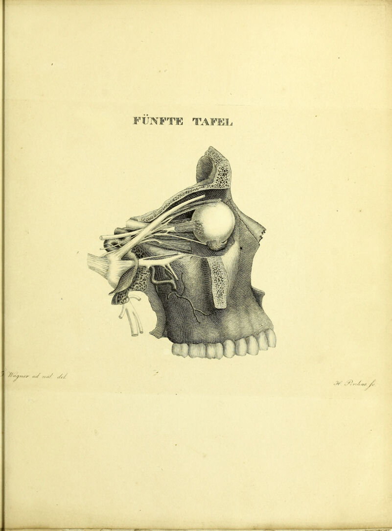 — — r-— *- ——