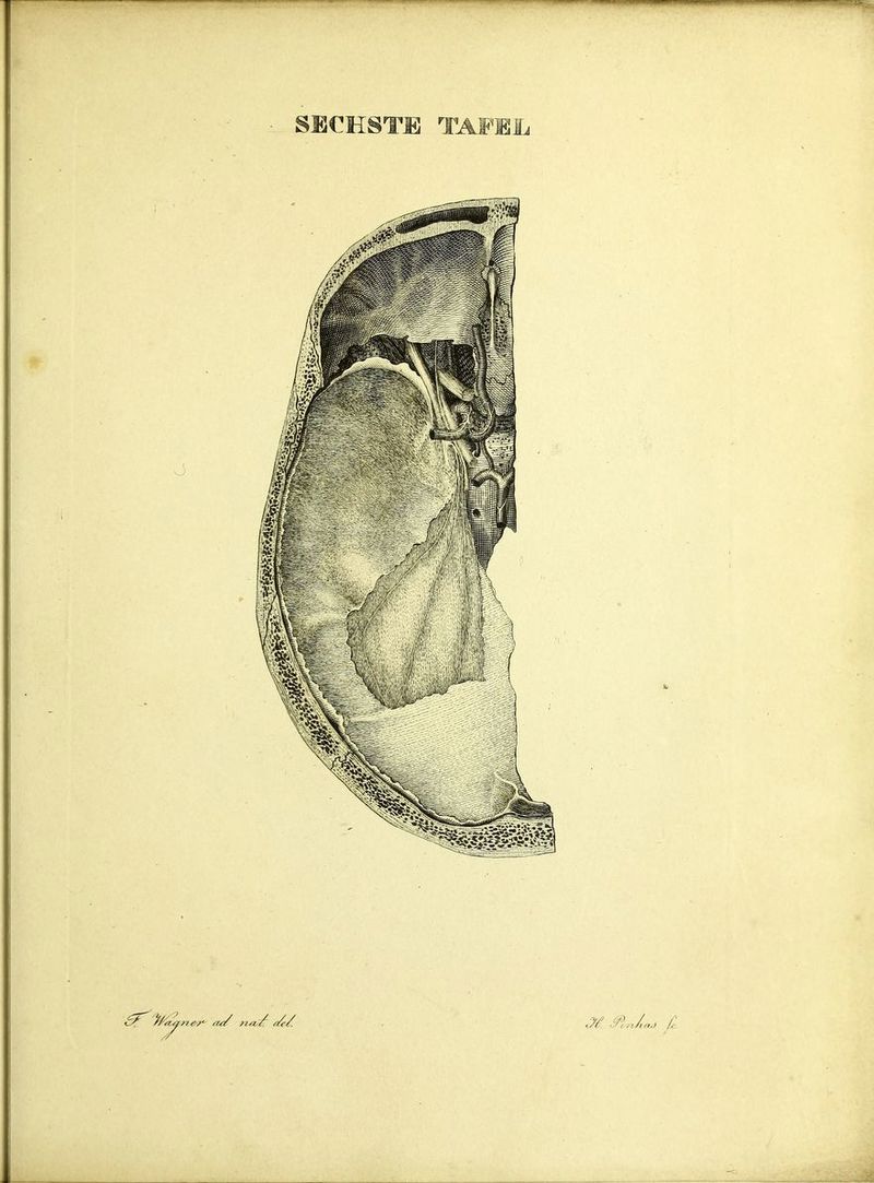 SECHSTE TAFEL cT fry ne?*- tu/ ria. <7/ .fin/oJ /'