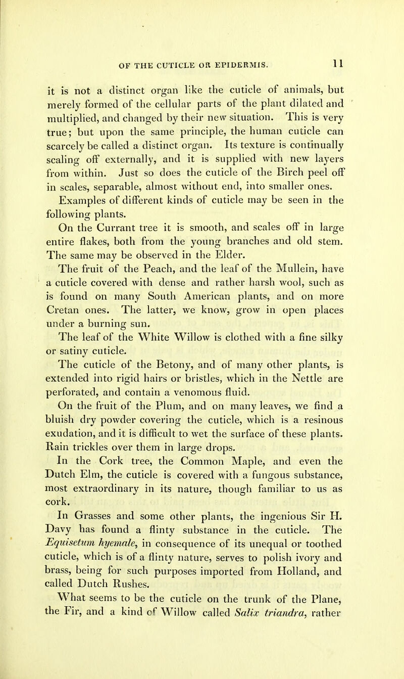 it is not a distinct organ like the cuticle of animals, but merely formed of the cellular parts of the plant dilated and multiplied, and changed by their new situation. This is very true; but upon the same principle, the human cuticle can scarcely be called a distinct organ. Its texture is continually scaling off externally, and it is supplied with new layers from within. Just so does the cuticle of the Birch peel off in scales, separable, almost without end, into smaller ones. Examples of different kinds of cuticle may be seen in the following plants. On the Currant tree it is smooth, and scales off in large entire flakes, both from the young branches and old stem. The same may be observed in the Elder. The fruit of the Peach, and the leaf of the Mullein, have a cuticle covered with dense and rather harsh wool, such as is found on many South American plants, and on more Cretan ones. The latter, we know, grow in open places under a burning sun. The leaf of the White Willow is clothed with a fine silky or satiny cuticle. The cuticle of the Betony, and of many other plants, is extended into rigid hairs or bristles, which in the Nettle are perforated, and contain a venomous fluid. On the fruit of the Plum, and on many leaves, we find a bluish dry powder covering the cuticle, which is a resinous exudation, and it is difficult to wet the surface of these plants. Rain trickles over them in large drops. In the Cork tree, the Common Maple, and even the Dutch Elm, the cuticle is covered with a fungous substance, most extraordinary in its nature, though familiar to us as cork. In Grasses and some other plants, the ingenious Sir H. Davy has found a flinty substance in the cuticle. The Equisetwn hyemnle, in consequence of its unequal or toothed cuticle, which is of a flinty nature, serves to polish ivory and brass, being for such purposes imported from Holland, and called Dutch Rushes. What seems to be the cuticle on the trunk of the Plane, the Fir, and a kind of Willow called Salix triandra, rather