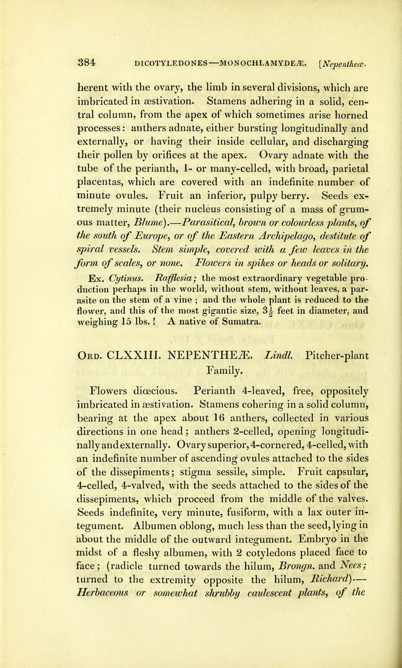 herent with the ovary, the limb in several divisions, which are imbricated in eestivation. Stamens adhering in a solid, cen- tral column, from the apex of which sometimes arise horned processes: anthers adnate, either bursting longitudinally and externally, or having their inside cellular, and discharging their pollen by orifices at the apex. Ovary adnate with the tube of the perianth, 1- or many-celled, with broad, parietal placentas, which are covered with an indefinite number of minute ovules. Fruit an inferior, pulpy berry. Seeds ex- tremely minute (their nucleus consisting of a mass of grum- ous matter, Blume).—Parasitical, brown or colourless plants, of the south of Europe, or of the Eastern Archipelago, destitute of spiral vessels. Stem simple, covered with a few leaves in the form of scales, or none. Flowers in spikes or heads or solitary. Ex. Cytinus. Itaffiesia; the most extraordinary vegetable pro- duction perhaps in the world, without stem, without leaves, a par- asite on the stem of a vine ; and the whole plant is reduced to the flower, and this of the most gigantic size, 3i feet in diameter, and weighing 15 lbs. ! A native of Sumatra. Ord. CLXXIII. NEPENTHEiE. Lindl. Pitcher-plant Family. Flowers dioecious. Perianth 4-leaved, free, oppositely imbricated in aestivation. Stamens cohering in a solid column, bearing at the apex about 16 anthers, collected in various directions in one head; anthers 2-celled, opening longitudi- nally and externally. Ovary superior, 4-cornered, 4-celled, with an indefinite number of ascending ovules attached to the sides of the dissepiments; stigma sessile, simple. Fruit capsular, 4-celled, 4-valved, with the seeds attached to the sides of the dissepiments, which proceed from the middle of the valves. Seeds indefinite, very minute, fusiform, with a lax outer in- tegument. Albumen oblong, much less than the seed, lying in about the middle of the outward integument. Embryo in the midst of a fleshy albumen, with 2 cotyledons placed face to face; (radicle turned towards the hilum, Brongn, and Nees; turned to the extremity opposite the hilum, Richard)— Herbaceous or smuwhat shrubby caidescent plants, of the