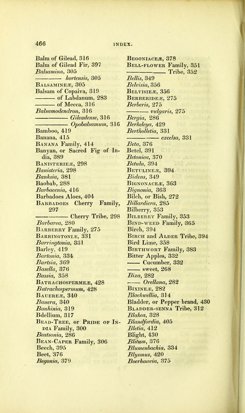 Balm of Gilead, 316 Balm of Gilead Fir, 397 Balsamina, 305 hortensis, 305 BALSAMINEiE, 305 Balsam of Copaiva, 319 of Labdanum, 283 of Mecca, 316 Balsamodendron, 316 Gileadense, 316 Opobalsamum, 316 Bamboo, 419 Banana, 415 Banana Family, 414 Banyan, or Sacred Fig of In- dia, 389 Banisterie^, 298 Banisteria, 298 Banksia, 381 Baobab, 288 Barbacenia, 416 Barbadoes Aloes, 404 Barbadoes Cherry Family, 297 Cherry Tribe, 298 Barbarea, 280 Barberry Family, 275 Barringtoni^, 331 Barringtonia, 331 Barley, 419 Bartonia, 334 BarUia, 369 Basella, 376 Bassia, 358 BATRACHOSPERMEiE, 428 Batrachospermum, 428 BAUEREiE, 340 Bauera, 340 Bauhinia, 319 Bdellimn, 317 Bead-Tree, or Pride of In- dia Family, 300 Beatsonia, 286 Bean-Caper Family, 306 Beech, 395 Beet, 376 Begonia, 379 BEGONIACEiE, 378 Bell-flower Family, 351 Tribe, 352 Bellis, 349 Belvisia, 356 BelvisiejE, 356 BERBERIDEiE, 275 Berberis, 275 vulgaris, 275 Bergia, 286 Berkeley a, 429 Bertholletia, 331 excelsa, 331 Beta, 376 Betel, 391 Betonica, 370 Betula, 394 BETULINEiE, 394 Bidens, 349 BlGNONACE^, 363 Bignonia, 363 Biich, or Bish, 272 Billardiera, 285 Bilberry, 353 Bilberry Family, 353 BiND-WEED Family, 365 Birch, 394 Birch and Alder Tribe, 394 Bird Lime, 358 BiRTHWORT Family, 383 Bitter Apples, 332 Cucumber, 332 sweet, 268 Bixa, 282 Orellana, 282 BixinejE, 282 Blackwellia, 314 Bladder, or Pepper brand, 430 Bladder-senna Tribe, 312 Blakea, 328 Blandfordia, 405 Bletia, 412 Blight, 430 Blitum, 376 Blumenbachia, 334 Blysmus, 420 Boerhaavia, 375