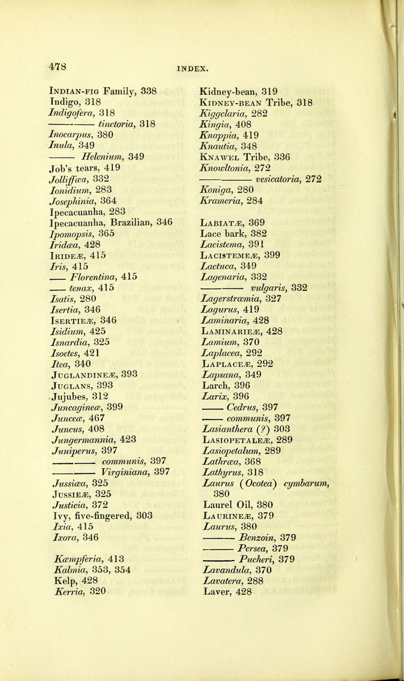 Indian-fig Family, 338 Indigo, 318 Indigofera, 318 tinctoria, 318 Inocarpus, 380 Inula, 349 Helenium, 349 Job's tears, 419 Jolliffcea, 332 lonidium, 283 Josephinia, 364 Ipecacuanha, 283 Ipecacuanha, Brazilian, 346 Ipomopsis, 365 IridcBa, 428 Iride^, 415 Iris, 415 Florentina, 415 teriax, 415 /sa^w, 280 Isertia, 346 IsERTiEa;, 346 Isidium, 425 Isnardia, 325 Isoetes, 421 /ifm, 340 JUGLANDINE^, 393 JUGLANS, 393 Jujubes, 312 JuncaginecB, 399 Junce(B, 467 Juncus, 408 Jungermannia, 423 Juniperus, 397 communis, 397 . Virginiana, 397 Jussi(za, 325 JussiejE, 325 Justicia, 372 Ivy, five-fingered, 303 /a;?a, 415 Ixora, 346 Kcempferia, 413 Kalmia, 353, 354 Kelp, 428 ^errm, 320 Kidney-bean, 319 Kidney-bean Tribe, 318 Kiggclaria, 282 Kingia, 408 Knappia, 419 Knautia, 348 Knawel Tribe, 336 Knowltonia, 272 vesicatoria, 272 Koniga, 280 Kram^ria, 284 Labiate, 369 Lace bark, 382 Lacistema, 391 Lacisteme^, 399 Lactuca, 349 Lagenaria, 332 vulgaris, 332 Lagerstrcemia, 327 Lagurus, 419 Laminaria, 428 Laminarie^, 428 Lamium, 370 Laplacea, 292 Laplace^, 292 Lapsana, 349 Larch, 396 Larix, 396 Cedrus, 397 communis, 397 Lasianthera (?) 303 LasiopetalejE, 289 Lasiopetalum, 289 Lathrcea, 368 Lathyrus, 318 Laurus (Ocotea^ cymbarum, 380 Laurel Oil, 380 Laurine^, 379 laurus, 380 Benzoin, 379 Persra, 379 Pucheri, 379 Lavandida, 370 Lavatera, 288 Laver, 428