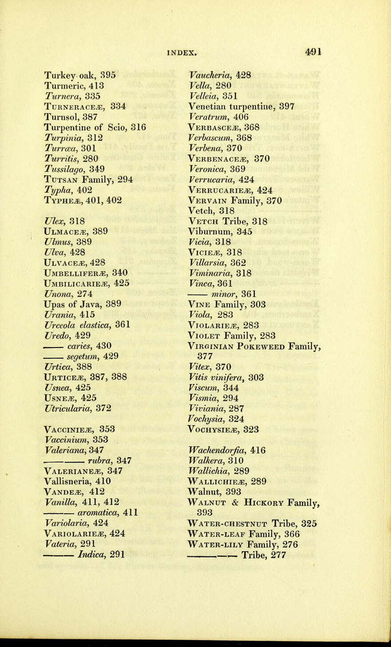 Turkey oak, 395 Turmeric, 413 Turnera, 335 TURNERACEiE, 334 Turnsol, 387 Turpentine of Scio, 316 Turpinia, 312 TurrcBa, 301 Turritis, 280 Tussilago, 349 Tutsan Family, 294 Typha, 402 Typhe^, 401, 402 Ulex, 318 Ulmace^;, 389 Ulmus, 389 Ulva, 428 Ulvace^, 428 UmbelliferjE, 340 UMBILICARIEiE, 425 Unona, 274 Upas of Java, 389 Urania, 415 Urceola elastica, 361 Uredo, 429 caiies, 430 segetum, 429 Urtica, 388 Urtice^, 387, 388 Usnea, 425 USNEiE, 425 Utricularia, 372 Vaccinie^, 353 Vaccinium, 353 , Valeriana, 347 rubra, 347 Valeriane^, 347 Vallisneria, 410 VandevE, 412 Vanilla, 411, 412 aromatica, 411 Variolaria, 424 VARIOLARIEiE, 424 Valeria, 291 Indica, 291 Vaucheria, 428 Fe/fa, 280 Fe//eta, 351 Venetian turpentine, 397 Veratrum, 406 VERBASCEiE, 368 Verbascum, 368 Verbena, 370 Verbenace^, 370 Veronica, 369 Verrucaria, 424 VERRUCARIEiE, 424 Vervain Family, 370 Vetch, 318 Vetch Tribe, 318 Viburnum, 345 Vicia, 318 ViciE^, 318 Villarsia, 362 Viminaria, 318 Fmca, 361 minor, 361 Vine Family, 303 Fofo, 283 VlOLARIE^, 283 Violet Family, 283 Virginian Pokeweed Family, 377 Vitex, 370 Vitis vinifera, 303 Viscum, 344 Vismia, 294 Viviania, 287 Vochysia, 324 VOCHYSIE^, 323 Wachendorfia, 416 Walker a, 310 Wallichia, 289 Walltchie^, 289 Walnut, 393 Walnut & Hickory Family, 393 Water-chestnut Tribe, 325 Water-leaf Family, 366 Water-lily Family, 276 Tribe, 277