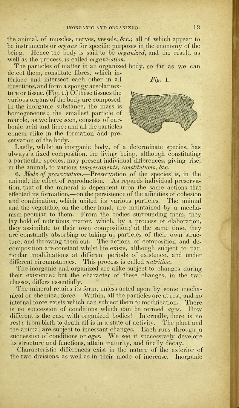 the animal, of muscles, nerves, vessels, &c.; all of which appear to be instruments or organs for specific purposes in the economy of the being. Hence the body is said to be organized, and the result, as well as the process, is called organization. The particles of matter in an organized body, so far as we can detect them, constitute fibres, which in- terlace and intersect each other in all Fig. 1. directions, and form a spongy areolar tex- ture or tissue. (Fig. 1.) Of these tissues the various organs of the body are composed. In the inorganic substance, the mass is homogeneous; the smallest particle of marble, as we have seen, consists of car- bonic acid and lime; and all the particles concur alike in the formation and pre- servation of the body. Lastly, whilst an inorganic body, of a determinate species, has always a fixed composition, the living being, although constituting a particular species, may present individual differences, giving rise, in the animal, to various temperaments, constitutions, &c. 6. Mode of preservation.—Preservation of the species is, in the animal, the effect of reproduction. As regards individual preserva- tion, that of the mineral is dependent upon the same actions that effected its formation,—on the persistence of the affinities of cohesion and combination, which united its various particles. The animal and the vegetable, on the other hand, are maintained by a mecha- nism peculiar to them. From the bodies surrounding them, they lay hold of nutritious matter, which, by a process of elaboration, they assimilate to their own composition;'at the same time, they are constantly absorbing or taking up particles of their own struc- ture, and throwing them out. The actions of composition and de- composition are constant whilst life exists, although subject to par- ticular modifications at different periods of existence, and under different circumstances. This process is called nutrition. The inorganic and organized are alike subject to changes during their existence; but the character of these changes, in the two classes, differs essentially. The mineral retains its form, unless acted upon by some mecha- nical or chemical force. Within, all the particles are at rest, and no internal force exists which can subject them to modification. There is no succession of conditions which can be termed ages. How different is the case with organized bodies ! Internally, there is no rest; from birth to death all is in a state of activity. The plant and the animal are subject to incessant changes. Each runs through a succession of conditions or ages. We see it successively develope its structure and functions, attain maturity, and finally decay. Characteristic differences exist in the nature of the exterior of the two divisions, as well as in their mode of increase. Inorganic