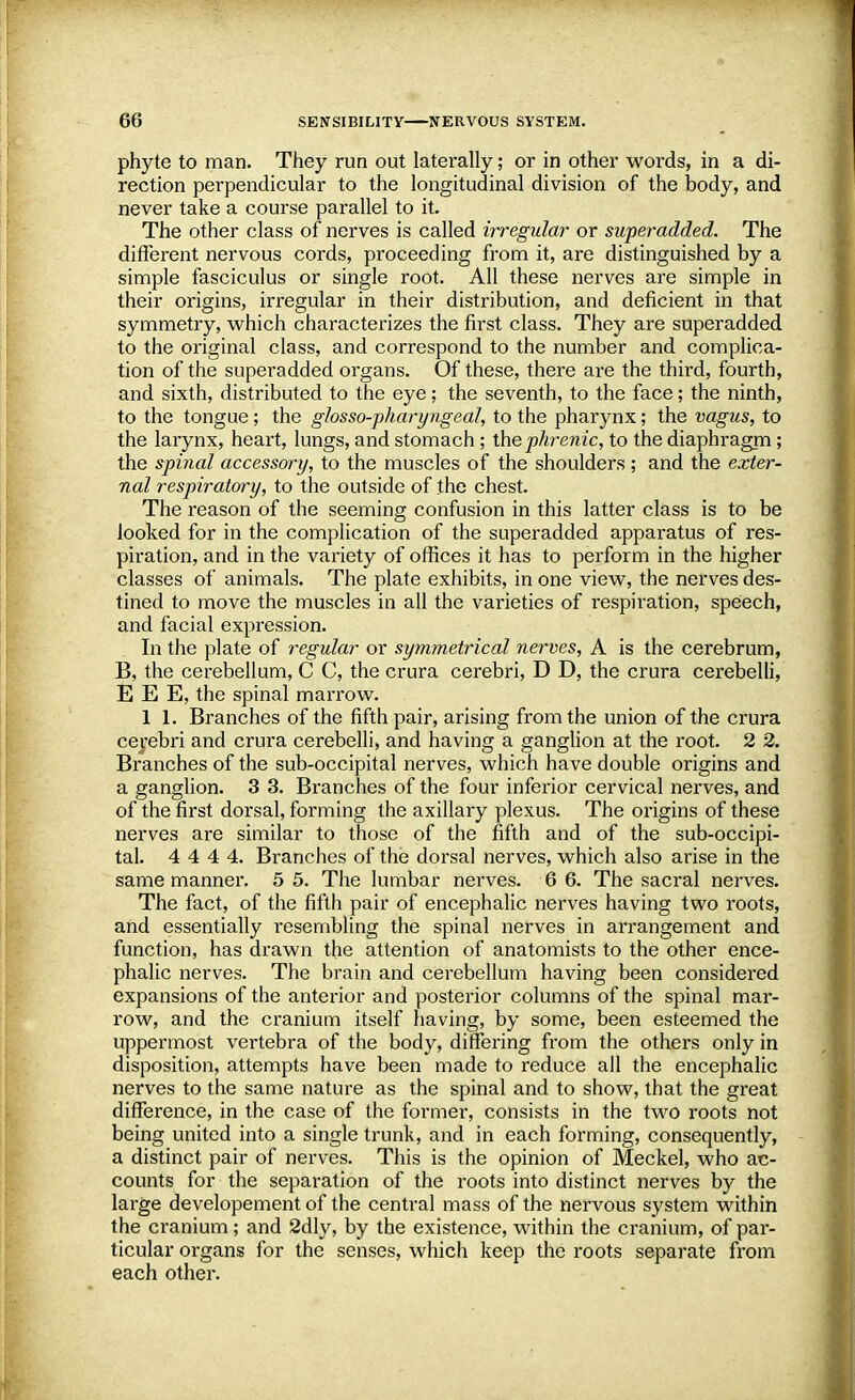 phyte to man. They run out laterally; or in other words, in a di- rection perpendicular to the longitudinal division of the body, and never take a course parallel to it. The other class of nerves is called irregular or superadded. The different nervous cords, proceeding from it, are distinguished by a simple fasciculus or single root. All these nerves are simple in their origins, irregular in their distribution, and deficient in that symmetry, which characterizes the first class. They are superadded to the original class, and correspond to the number and complica- tion of the superadded organs. Of these, there are the third, fourth, and sixth, distributed to the eye; the seventh, to the face; the ninth, to the tongue; the glossopharyngeal, to the pharynx; the vagus, to the larynx, heart, lungs, and stomach ; the phrenic, to the diaphragm; the spinal accessory, to the muscles of the shoulders; and the exter- nal respiratory, to the outside of the chest. The reason of the seeming confusion in this latter class is to be looked for in the complication of the superadded apparatus of res- piration, and in the variety of offices it has to perform in the higher classes of animals. The plate exhibits, in one view, the nerves des- tined to move the muscles in all the varieties of respiration, speech, and facial expression. In the plate of regular or symmetrical nerves, A is the cerebrum, B, the cerebellum, C C, the crura cerebri, D D, the crura cerebelli, E E E, the spinal marrow. 1 1. Branches of the fifth pair, arising from the union of the crura cerebri and crura cerebelli, and having a ganglion at the root. 2 2. Branches of the sub-occipital nerves, which have double origins and a ganglion. 3 3. Branches of the four inferior cervical nerves, and of the first dorsal, forming the axillary plexus. The origins of these nerves are similar to those of the fifth and of the sub-occipi- tal. 4 4 4 4. Branches of the dorsal nerves, which also arise in the same manner. 5 5. The lumbar nerves. 6 6. The sacral nerves. The fact, of the fifth pair of encephalic nerves having two roots, and essentially resembling the spinal nerves in arrangement and function, has drawn the attention of anatomists to the other ence- phalic nerves. The brain and cerebellum having been considered expansions of the anterior and posterior columns of the spinal mar- row, and the cranium itself having, by some, been esteemed the uppermost vertebra of the body, differing from the others only in disposition, attempts have been made to reduce all the encephalic nerves to the same nature as the spinal and to show, that the great difference, in the case of the former, consists in the two roots not being united into a single trunk, and in each forming, consequently, a distinct pair of nerves. This is the opinion of Meckel, who ac- counts for the separation of the roots into distinct nerves by the large developement of the central mass of the nervous system within the cranium; and 2dly, by the existence, within the cranium, of par- ticular organs for the senses, which keep the roots separate from each other.