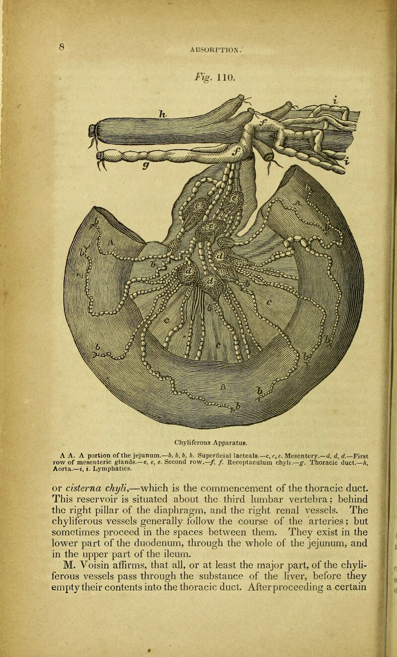 ■s ABSORPTIONS Fig. 110. Chyliferous Apparatus. A A. A portion of the jejunum.—4, 6, b, b. Superficial lacteals.—c, r,c. Mesentery.—d, d, d.—First row of mesenteric glands.—e, e, e. Second row.—/, /. Receptaculum chyli.—g. Thoracic duct.—h, Aorta.—i,«. Lymphatics. or cisterna chyli,—which is the commencement of the thoracic duct. This reservoir is situated about the third lumbar vertebra; behind the right pillar of the diaphragm, and the right renal vessels. The chyliferous vessels generally follow the course of the arteries; but sometimes proceed in the spaces between them. They exist in the lower part of the duodenum, through the whole of the jejunum, and in the upper part of the ileum. M. Voisin affirms, that all, or at least the major part, of the chyli- ferous vessels pass through the substance of the liver, before they empty their contents into the thoracic duct. After proceeding a certain