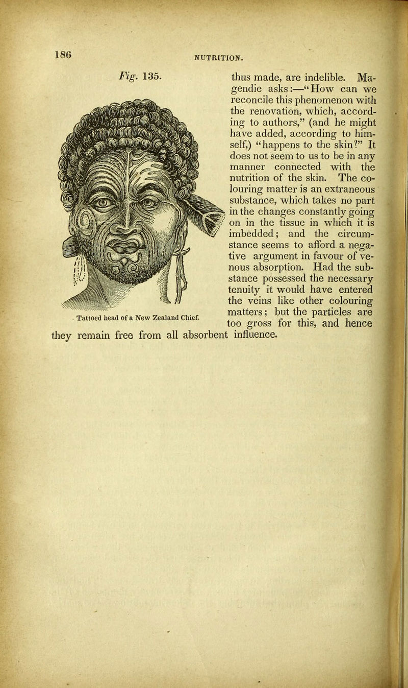 NUTRITION. Fig. 135. thus made, are indelible. Ma- gendie asks:— How can we reconcile this phenomenon with the renovation, which, accord- ing to authors, (and he might have added, according to him- self,) happens to the skin? It does not seem to us to be in any manner connected with the nutrition of the skin. The co- louring matter is an extraneous substance, which takes no part in the changes constantly going on in the tissue in which it is imbedded; and the circum- stance seems to afford a nega- tive argument in favour of ve- nous absorption. Had the sub- stance possessed the necessary tenuity it would have entered the veins like other colouring matters; but the particles are too gross for this, and hence they remain free from all absorbent influence. Tattoed head of a New Zealand Chief.