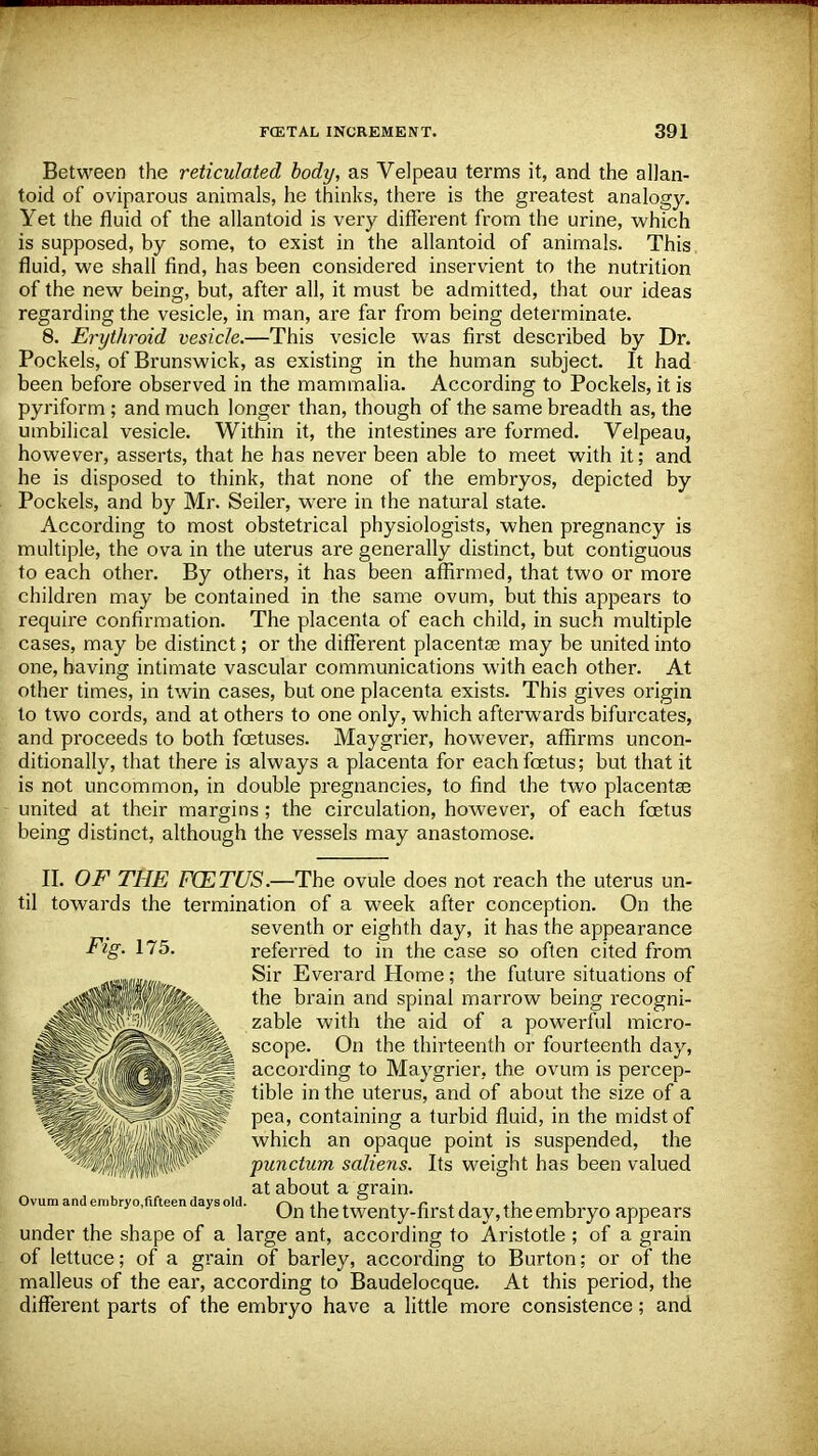 Between the reticulated body, as Velpeau terms it, and the allan- toid of oviparous animals, he thinks, there is the greatest analogy. Yet the fluid of the allantoid is very different from the urine, which is supposed, by some, to exist in the allantoid of animals. This fluid, we shall find, has been considered inservient to the nutrition of the new being, but, after all, it must be admitted, that our ideas regarding the vesicle, in man, are far from being determinate. 8. Erythroid vesicle.—This vesicle was first described by Dr. Pockels, of Brunswick, as existing in the human subject. It had been before observed in the mammalia. According to Pockels, it is pyriform ; and much longer than, though of the same breadth as, the umbilical vesicle. Within it, the intestines are formed. Velpeau, however, asserts, that he has never been able to meet with it; and he is disposed to think, that none of the embryos, depicted by Pockels, and by Mr. Seiler, were in the natural state. According to most obstetrical physiologists, when pregnancy is multiple, the ova in the uterus are generally distinct, but contiguous to each other. By others, it has been affirmed, that two or more children may be contained in the same ovum, but this appears to require confirmation. The placenta of each child, in such multiple cases, may be distinct; or the different placentas may be united into one, having intimate vascular communications with each other. At other times, in twin cases, but one placenta exists. This gives origin to two cords, and at others to one only, which afterwards bifurcates, and proceeds to both foetuses. Maygrier, however, affirms uncon- ditionally, that there is always a placenta for each foetus; but that it is not uncommon, in double pregnancies, to find the two placentas united at their margins; the circulation, however, of each foetus being distinct, although the vessels may anastomose. II. OF THE FXETUS.—The ovule does not reach the uterus un- til towards the termination of a week after conception. On the seventh or eighth day, it has the appearance referred to in the case so often cited from Sir Everard Home; the future situations of the brain and spinal marrow being recogni- zable with the aid of a powerful micro- scope. On the thirteenth or fourteenth day, according to Maygrier, the ovum is percep- tible in the uterus, and of about the size of a pea, containing a turbid fluid, in the midst of which an opaque point is suspended, the punctum saliens. Its weight has been valued at about a grain. Ovum and enibryo,fifteen days old. r\ .1 ± n . j ,i i On the twenty-first day, the embryo appears under the shape of a large ant, according to Aristotle ; of a grain of lettuce; of a grain of barley, according to Burton; or of the malleus of the ear, according to Baudelocque. At this period, the different parts of the embryo have a little more consistence; and