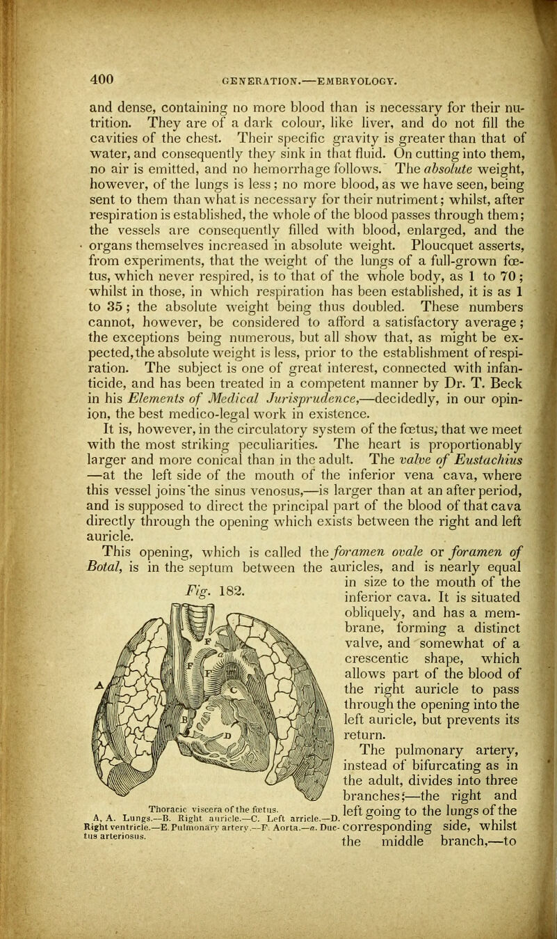 and dense, containing no more blood than is necessary for their nu- trition. They are of a dark colour, like liver, and do not fill the cavities of the chest. Their specific gravity is greater than that of water, and consequently they sink in that fluid. On cutting into them, no air is emitted, and no hemorrhage follows. The absolute weight, however, of the lungs is less ; no more blood, as we have seen, being sent to them than what is necessary for their nutriment; whilst, after respiration is established, the whole of the blood passes through them; the vessels are consequently filled with blood, enlarged, and the organs themselves increased in absolute weight. Ploucquet asserts, from experiments, that the weight of the lungs of a full-grown fe- tus, which never respired, is to that of the whole body, as 1 to 70; whilst in those, in which respiration has been established, it is as 1 to 35 ; the absolute weight being thus doubled. These numbers cannot, however, be considered to afford a satisfactory average; the exceptions being numerous, but all show that, as might be ex- pected, the absolute weight is less, prior to the establishment of respi- ration. The subject is one of great interest, connected with infan- ticide, and has been treated in a competent manner by Dr. T. Beck in his Elements of Medical Jurisprudence,—decidedly, in our opin- ion, the best medico-legal work in existence. It is, however, in the circulatory system of the fetus, that we meet with the most striking peculiarities. The heart is proportionably larger and more conical than in the adult. The valve of Eustachius —at the left side of the mouth of the inferior vena cava, where this vessel joins the sinus venosus,—is larger than at an after period, and is supposed to direct the principal part of the blood of that cava directly through the opening which exists between the right and left auricle. This opening, which is called the foramen ovale or foramen of Botal, is in the septum between the auricles, and is nearly equal in size to the mouth of the inferior cava. It is situated obliquely, and has a mem- brane, forming a distinct valve, and somewhat of a crescentic shape, which allows part of the blood of the right auricle to pass through the opening into the left auricle, but prevents its return. The pulmonary artery, instead of bifurcating as in the adult, divides into three branches;—the right and left going to the lungs of the «, a. jjungs.—is. nigiii acincie.—u. i^eu arricie.—u. ° ° 1. . , 0 Right ventricle.—E. Pulmonary artery .--Fi Aorta.—a. Due- Corresponding Slue, WllllSt t,J3arteri0SUS- the middle branch,—to Fig. 182. Thoracic viscera of the foetus.