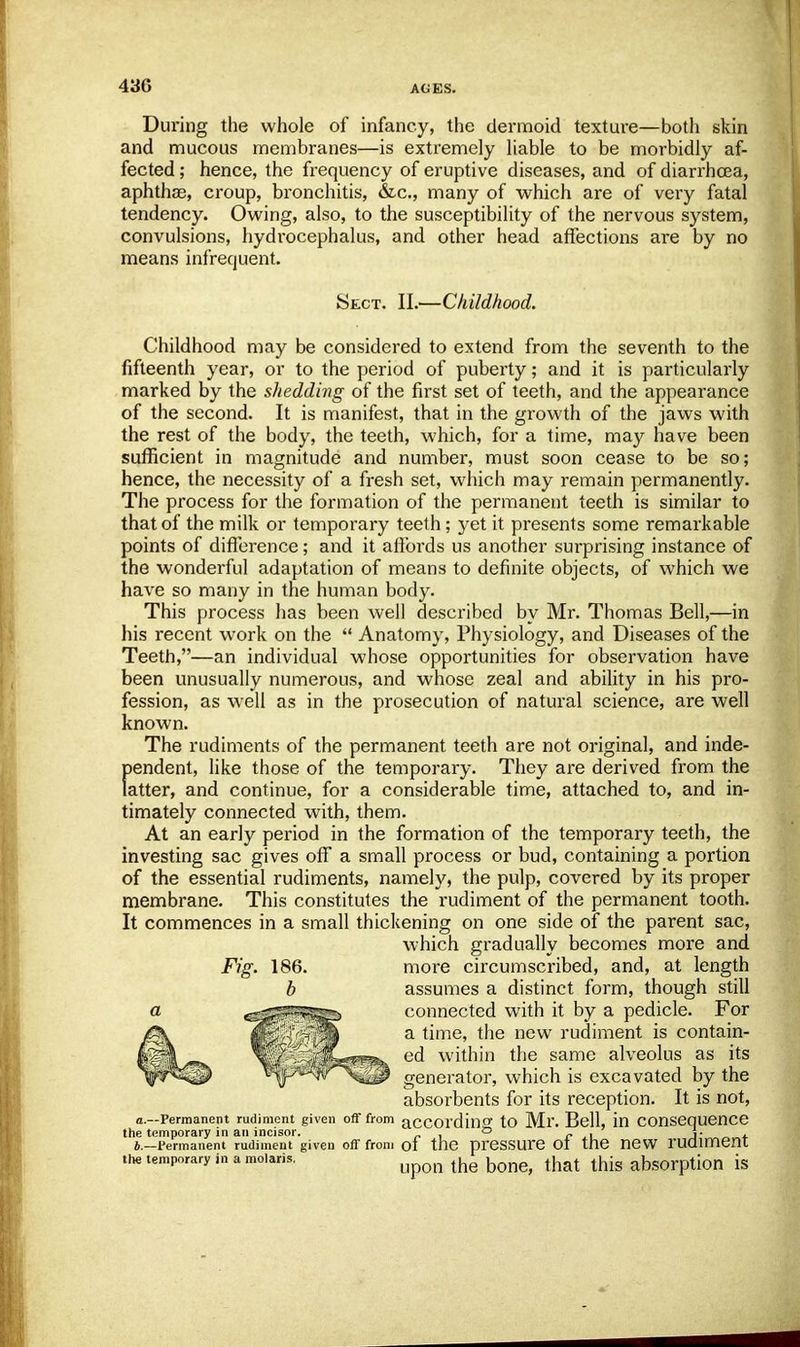 During the whole of infancy, the dermoid texture—both skin and mucous membranes—is extremely liable to be morbidly af- fected ; hence, the frequency of eruptive diseases, and of diarrhoea, aphthae, croup, bronchitis, &c, many of which are of very fatal tendency. Owing, also, to the susceptibility of the nervous system, convulsions, hydrocephalus, and other head affections are by no means infrequent. Sect. II.—Childhood. Childhood may be considered to extend from the seventh to the fifteenth year, or to the period of puberty; and it is particularly marked by the shedding of the first set of teeth, and the appearance of the second. It is manifest, that in the growth of the jaws with the rest of the body, the teeth, which, for a time, may have been sufficient in magnitude and number, must soon cease to be so; hence, the necessity of a fresh set, which may remain permanently. The process for the formation of the permanent teeth is similar to that of the milk or temporary teeth; yet it presents some remarkable points of difference; and it affords us another surprising instance of the wonderful adaptation of means to definite objects, of which we have so many in the human body. This process has been well described by Mr. Thomas Bell,—in his recent work on the  Anatomy, Physiology, and Diseases of the Teeth,—an individual whose opportunities for observation have been unusually numerous, and whose zeal and ability in his pro- fession, as well as in the prosecution of natural science, are well known. The rudiments of the permanent teeth are not original, and inde- pendent, like those of the temporary. They are derived from the latter, and continue, for a considerable time, attached to, and in- timately connected with, them. At an early period in the formation of the temporary teeth, the investing sac gives off a small process or bud, containing a portion of the essential rudiments, namely, the pulp, covered by its proper membrane. This constitutes the rudiment of the permanent tooth. It commences in a small thickening on one side of the parent sac, which gradually becomes more and more circumscribed, and, at length assumes a distinct form, though still connected with it by a pedicle. For a time, the new rudiment is contain- ed within the same alveolus as its generator, which is excavated by the absorbents for its reception. It is not, ffi.-Permanent rudiment given off from according tO Ml'. Bell, in Consequence the temporary in an incisor. , ° _ , j- , 4.—Permanent rudiment given off from of the pressure Of the new rudiment the temporary in a molaris. upon th(} ^ thig absorption is