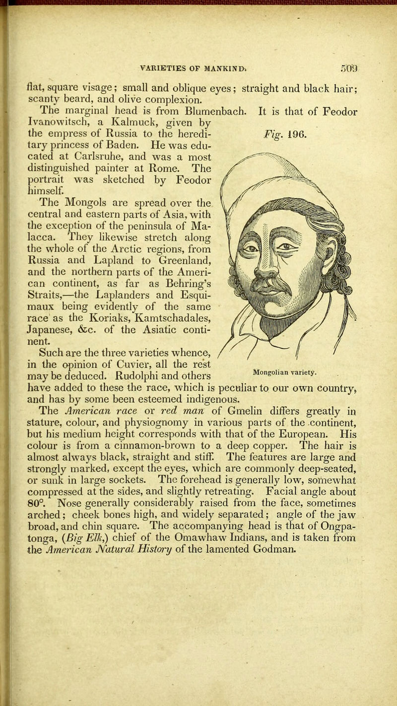 flat, square visage; small and oblique eyes; straight and black hair; scanty beard, and olive complexion. The marginal head is from Blumenbach. It is that of Peodor Ivanowitsch, a Kalmuck, given by the empress of Russia to the heredi- Fig. 196. tary princess of Baden. He was edu- cated at Carlsruhe, and was a most distinguished painter at Rome. The portrait was sketched by Feodor himself. The Mongols are spread over the central and eastern parts of Asia, with the exception of the peninsula of Ma- lacca. They likewise stretch along the whole of the Arctic i-egions, from Russia and Lapland to Greenland, and the northern parts of the Ameri- can continent, as far as Behring's Straits,—the Laplanders and Esqui- maux being evidently of the same race as the Koriaks, Kamtschadales, Japanese, &c. of the Asiatic conti- nent. Such are the three varieties whence, in the opinion of Cuvier, all the rest may be deduced. Rudolphi and Others Mongolian variety. have added to these the race, which is peculiar to our own country, and has by some been esteemed indigenous. The American race or red man of Gmelin differs greatly in stature, colour, and physiognomy in various parts of the continent, but his medium height corresponds with that of the European. His colour is from a cinnamon-brown to a deep copper. The hair is almost always black, straight and stiff. The features are large and strongly marked, except the eyes, which are commonly deep-seated, or sunk in large sockets. The forehead is generally low, somewhat compressed at the sides, and slightly retreating. Facial angle about 80°. Nose generally considerably raised from the face, sometimes arched; cheek bones high, and widely separated; angle of the jaw broad, and chin square. The accompanying head is that of Ongpa- tonga, (Big Elk,) chief of the Omawhaw Indians, and is taken from the American Natural History of the lamented Godman. ■