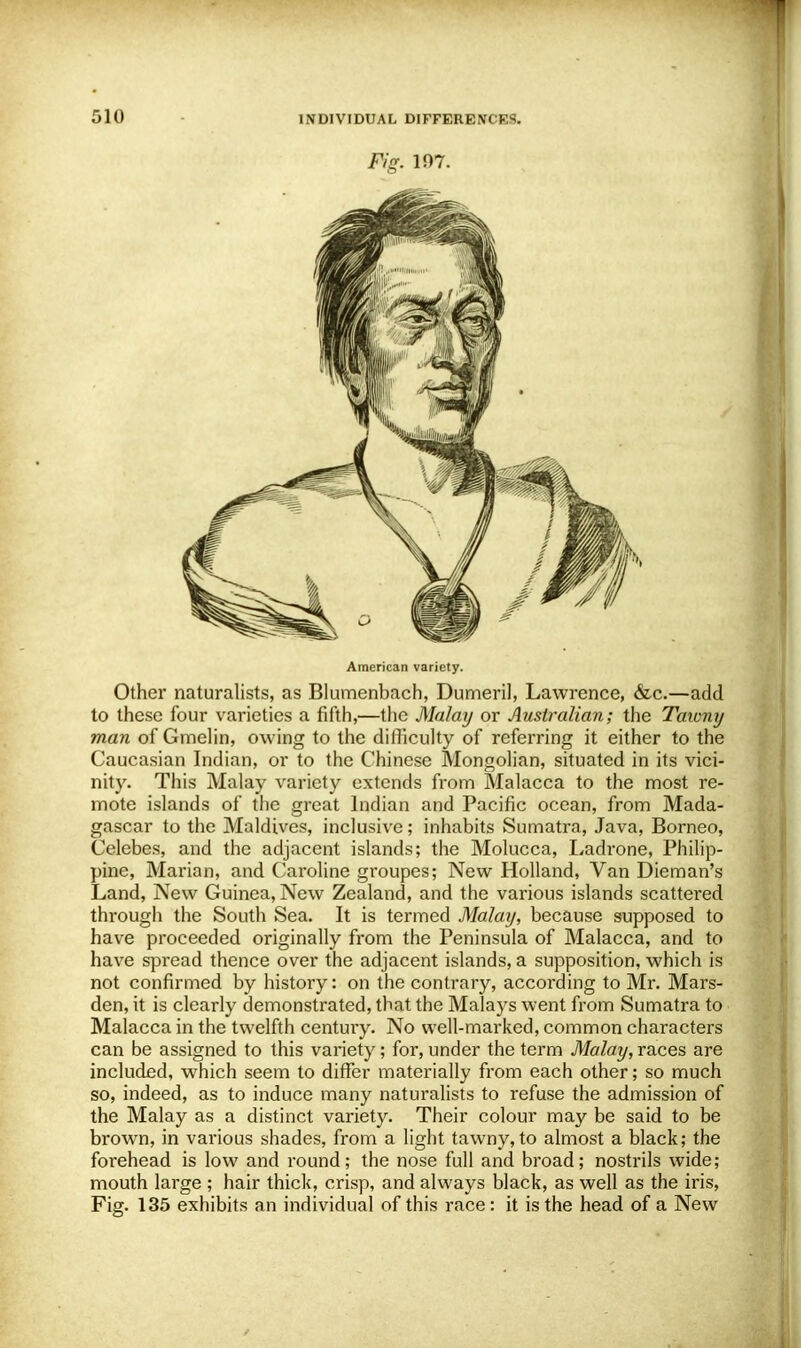 Fig. in?. American variety. Other naturalists, as Blumenbach, Dumeril, Lawrence, &c.—add to these four varieties a fifth,—the Malay or Australian; the Tawny man of Gmelin, owing to the difficulty of referring it either to the Caucasian Indian, or to the Chinese Mongolian, situated in its vici- nity. This Malay variety extends from Malacca to the most re- mote islands of the great Indian and Pacific ocean, from Mada- gascar to the Maldives, inclusive; inhabits Sumatra, Java, Borneo, Celebes, and the adjacent islands; the Molucca, Ladrone, Philip- pine, Marian, and Caroline groupes; New Holland, Van Dieman's Land, New Guinea, New Zealand, and the various islands scattered through the South Sea. It is termed Malay, because supposed to have proceeded originally from the Peninsula of Malacca, and to have spread thence over the adjacent islands, a supposition, which is not confirmed by history: on the contrary, according to Mr. Mars- den, it is clearly demonstrated, that the Malays went from Sumatra to Malacca in the twelfth century. No well-marked, common characters can be assigned to this variety; for, under the term Malay, races are included, which seem to differ materially from each other; so much so, indeed, as to induce many naturalists to refuse the admission of the Malay as a distinct variety. Their colour may be said to be brown, in various shades, from a light tawny, to almost a black; the forehead is low and round; the nose full and broad; nostrils wide; mouth large ; hair thick, crisp, and always black, as well as the iris, Fig. 135 exhibits an individual of this race : it is the head of a New